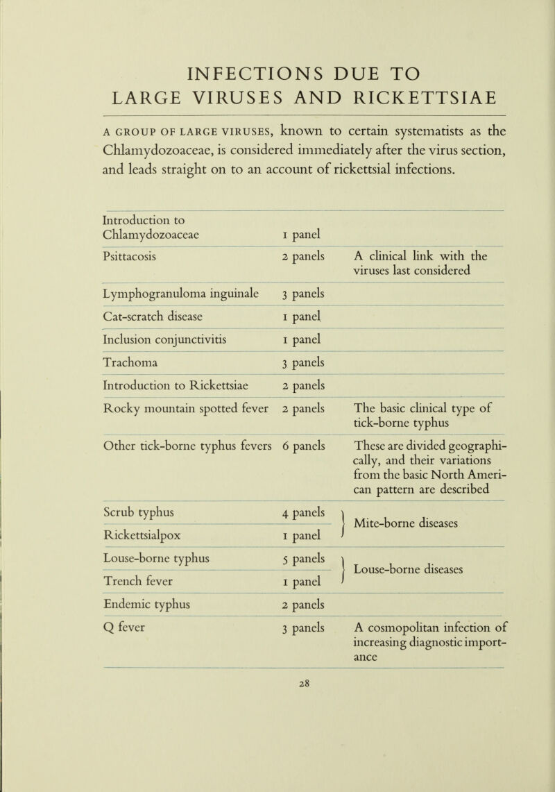 INFECTIONS DUE TO LARGE VIRUSES AND RICKETTSIAE A group of large viruses, known to certain systematists as the Chlamydozoaceae, is considered immediately after the virus section, and leads straight on to an account of rickettsial infections. Introduction to Chlamydozoaceae i panel Psittacosis 2 panels A clinical link with the viruses last considered Lymphogranuloma inguinale 3 panels Cat-scratch disease i panel Inclusion conjunctivitis i panel Trachoma 3 panels Introduction to Rickettsiae 2 panels Rocky mountain spotted fever 2 panels The basic clinical type of tick-borne typhus Other tick-borne typhus fevers 6 panels These are divided geographi- cally, and their variations from the basic North Ameri- can pattern are described Scrub typhus Rickettsialpox 4 panels i panel Mite-borne diseases Louse-borne typhus 5 panels Louse-borne diseases Trench fever i panel Endemic typhus 2 panels Q fever 3 panels A cosmopolitan infection of increasing diagnostic import- ance