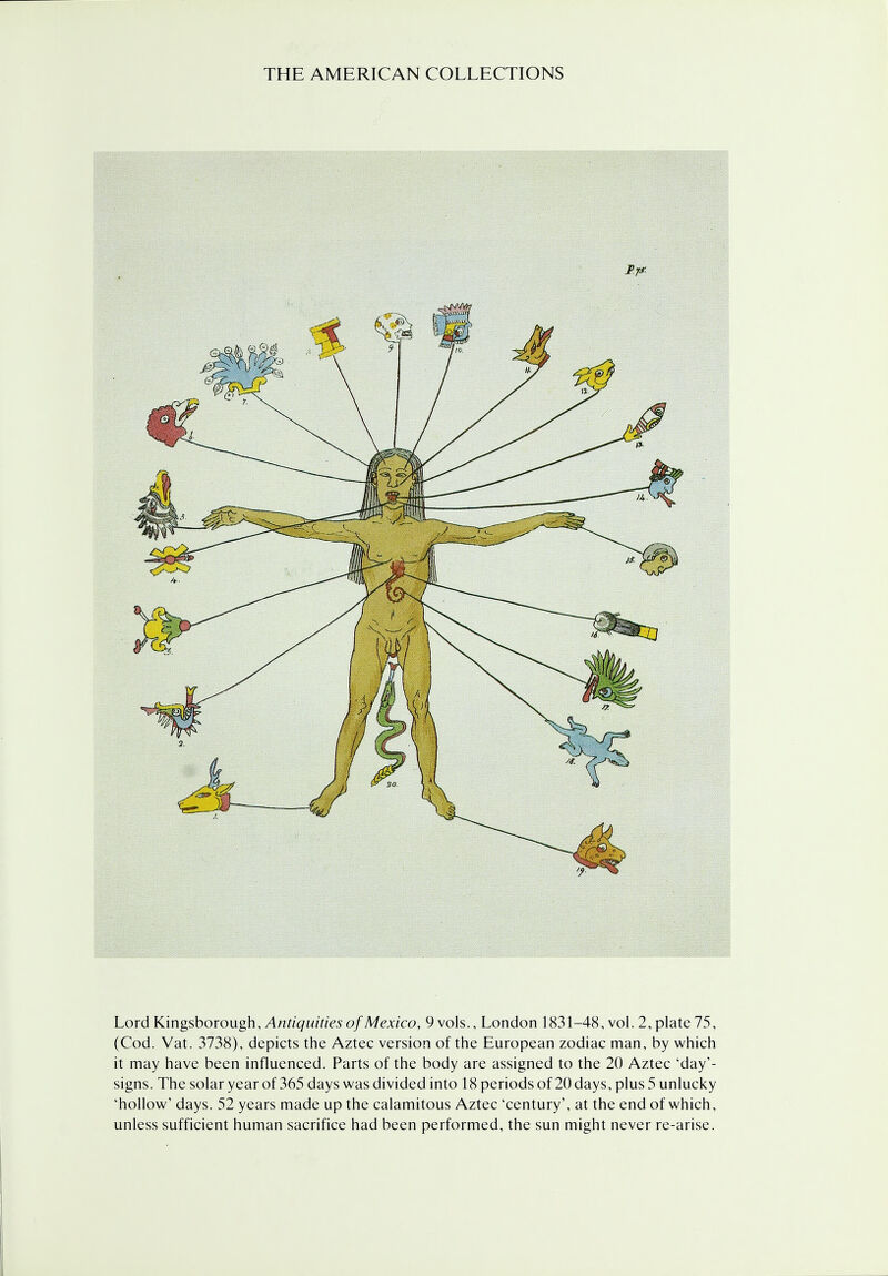 Lord Kingsborough, Antiquities of Mexico, 9 vols., London 1831-48, vol. 2, plate 75, (Cod. Vat. 3738), depicts the Aztec version of the European zodiac man, by which it may have been influenced. Parts of the body are assigned to the 20 Aztec 'day'- signs. The solar year of 365 days was divided into 18 periods of 20 days, plus 5 unlucky 'hollow' days. 52 years made up the calamitous Aztec 'century', at the end of which, unless sufficient human sacrifice had been performed, the sun might never re-arise.