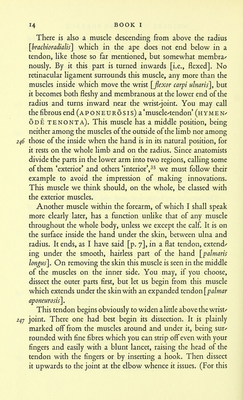 There is also a muscle descending from above the radius [hrachioradialis] which in the ape does not end below in a tendon, like those so far mentioned, but somewhat membra/ nously. By it this part is turned inwards [i.e., flexed]. No retinacular ligament surrounds this muscle, any more than the muscles inside which move the wrist [flexor carpi ulnaris]^ but it becomes both fleshy and membranous at the lower end of the radius and turns inward near the wrist/joint. You may call the fibrous end (A p o N E u R 5 s I s) a * muscle/tendon (h y m e ODE tenonta). This muscle has a middle position, being neither among the muscles of the outside of the limb nor among 246 those of the inside when the hand is in its natural position, for it rests on the whole Hmb and on the radius. Since anatomists divide the parts in the lower arm into two regions, caUing some of them ^exterior' and others *interior',^^ we must follow their example to avoid the impression of making innovations. This muscle we think should, on the whole, be classed with the exterior muscles. Another muscle within the forearm, of which I shall speak more clearly later, has a function unlike that of any muscle throughout the whole body, unless we except the calf It is on the surface inside the hand under the skin, between ulna and radius. It ends, as I have said [p. 7], in a flat tendon, extend/ ing under the smooth, hairless part of the hand [palmaris lon^us]. On removing the skin this muscle is seen in the middle of the muscles on the inner side. You may, if you choose, dissect the outer parts first, but let us begin from this muscle which extends under the skin with an expanded tmdon[palmar aponeurosis]. This tendon begins obviously to widen alitde above the wrist/ 24J joint. There one had best begin its dissection. It is plainly marked off from the muscles around and under it, being sur/ rounded with fine fibres which you can strip off even with your fingers and easily with a blunt lancet, raising the head of the tendon with the fingers or by inserting a hook. Then dissect it upwards to the joint at the elbow whence it issues. (For this