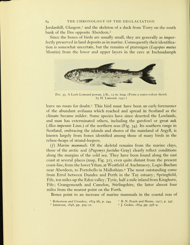 Jordanhill, Glasgow,1 and the skeleton of a duck from Torry on the south bank of the Dee opposite Aberdeen.2 Since the bones of birds are usually small, they are generally as imper- fectly preserved in land deposits as in marine. Consequently their identifica- tion is somewhat uncertain, but the remains of ptarmigan (Lagopus miitus Montin) from the lower and upper layers in the cave at Inchnadamph Fig. 33. A Loch Lomond powan, \ lb., 12 in. long. (From a water-colour sketch by H. Lamond, 1931.) leave no room for doubt.3 This bird must have been an early forerunner of the abundant avifauna which reached and spread in Scotland as the climate became milder. Some species have since deserted the Lowlands, and man has exterminated others, including the garefowl or great auk (Alca impennis Linn.) of the northern seas (Fig. 34). Its southern range in Scotland, embracing the islands and shores of the mainland of Argyll, is known largely from bones identified among those of many birds in the refuse-heaps of strand-loopers. (/) Marine mammals. Of the skeletal remains from the marine clays, those of the arctic seal (Pagomys foetidus Gray) clearly reflect conditions along the margins of the cold sea. They have been found along the east coast at several places (map, Fig. 31), even quite distant from the present coast-line, from the lower Ythan, at Westfield of Auchmacoy, Logie-Buchan near Aberdeen, to Portobello in Midlothian.4 The most outstanding come from Errol between Dundee and Perth in the Tay estuary; Springfield, Fife, ten miles up the Eden valley; Tyrie, half a mile inland from Kinghorn, Fife; Grangemouth and Camelon, Stirlingshire, the latter almost four miles from the nearest point on the Forth. Bones point to an increase of marine mammals in the coastal seas of 1 Robertson and Crosskey, 1874 (^)> P- 244- 3 B. N. Peach and Home, 1917, p. 347. 2 Jamieson, 1858, pp. 509-10. + J. Geikie, 1874, pp. 558-9.