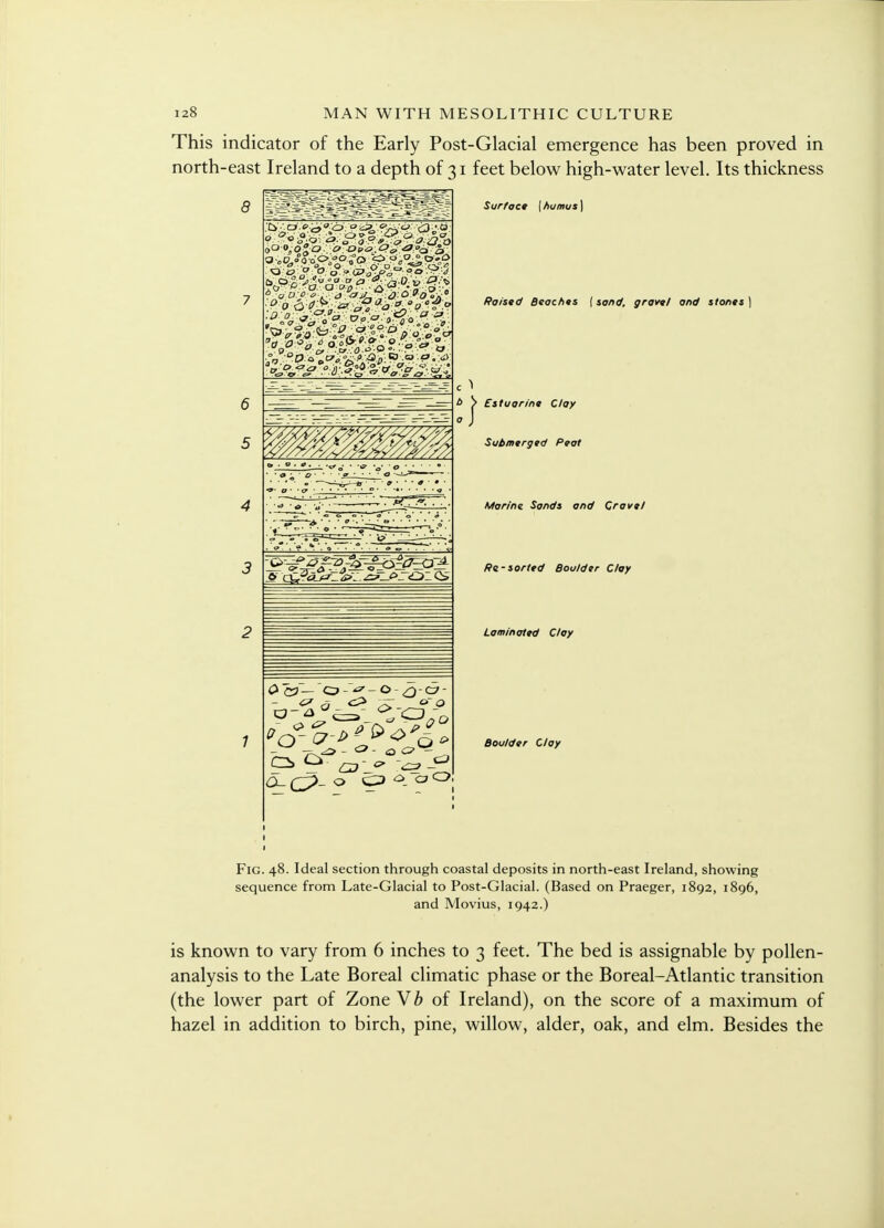 This indicator of the Early Post-Glacial emergence has been proved in north-east Ireland to a depth of 31 feet below high-water level. Its thickness t> <?ct Surface {humus) Raised Beaches {sand, grovel and stones) b > Estuarine Clay 0 J Submerged Peat Marine Sands and Crave I Re-sorted Boulder Clay Laminated Cloy Boulder Clay Fig. 48. Ideal section through coastal deposits in north-east Ireland, showing sequence from Late-Glacial to Post-Glacial. (Based on Praeger, 1892, 1896, and Movius, 1942.) is known to vary from 6 inches to 3 feet. The bed is assignable by pollen- analysis to the Late Boreal climatic phase or the Boreal-Atlantic transition (the lower part of Zone Vb of Ireland), on the score of a maximum of hazel in addition to birch, pine, willow, alder, oak, and elm. Besides the