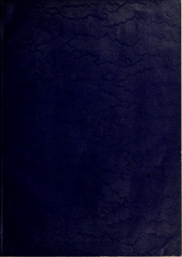 digitised image 3