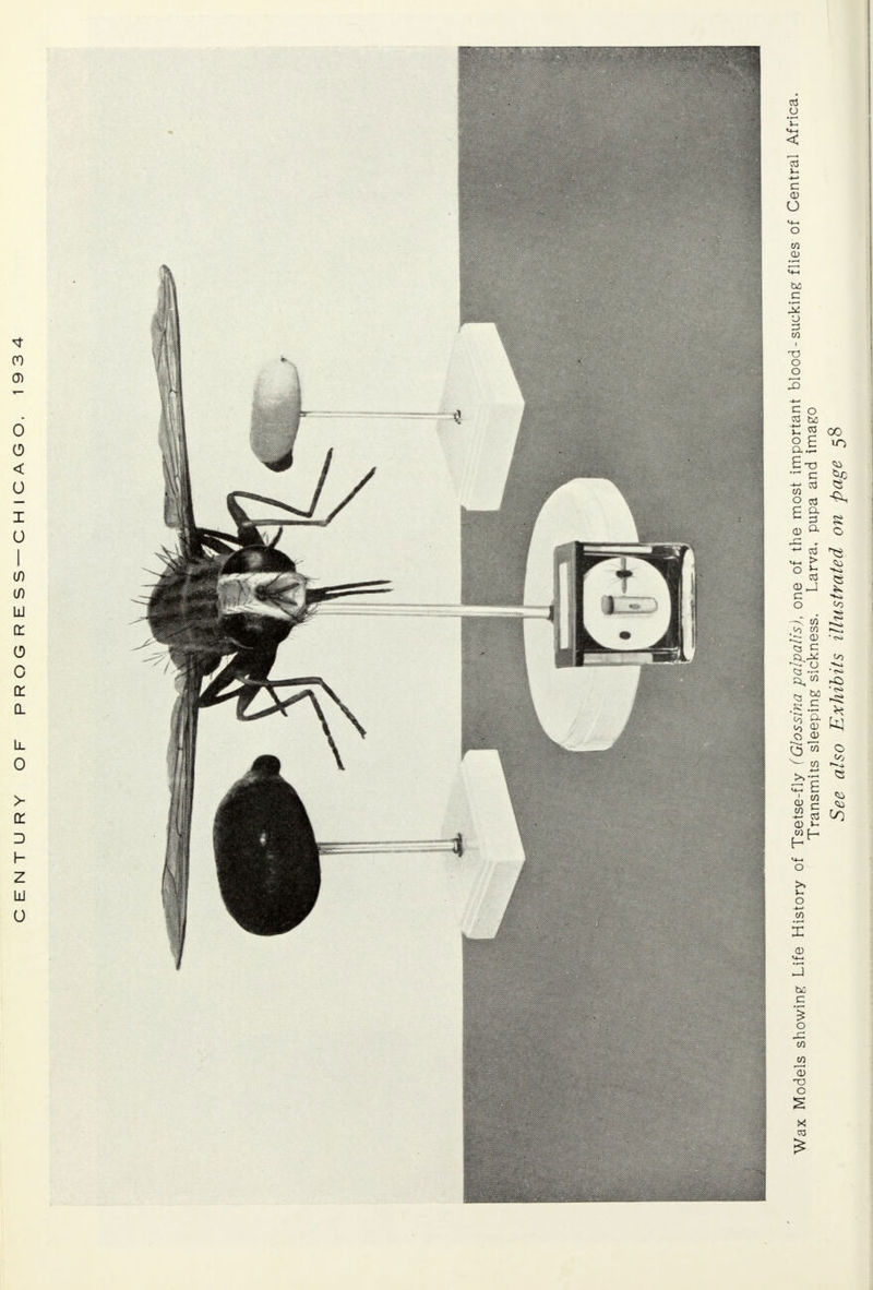 0 < 0 I 0 I (/) (/) UJ cr CD 0 q: d lJL 0 a: D h Z UJ 0 u >-. -l-> c CD O co CD c CO X) o o s ° o £ e-c c co O £ a c d CD O. .c , ° £ (DJ C O —< co V) CO C3 C ST U a, w ^ *> s: .5 £ a to cu 0 a; ^5 w ^— co 4—* 1 CO co *^ co t— H o >, >_ o CO • I— X CD J C o CO JO cd -o c ca 00 8P o CO co o co