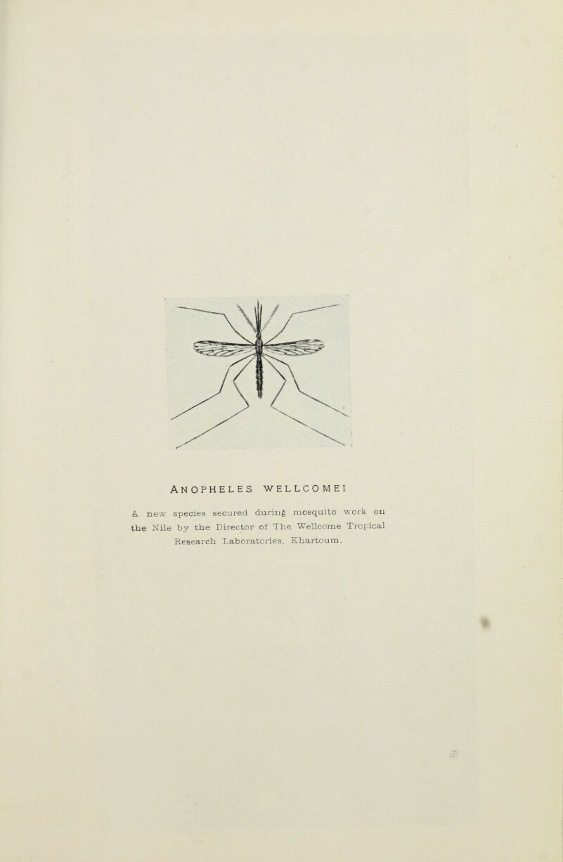 Anopheles wellcomei A. new species secured during mosquito work on the Nile by the Director of The Wellcome Tropical Research Laboratories, Khartoum.