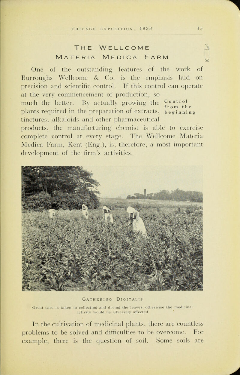 1933 The Wellcome Materia Medica Farm One of the outstanding features of the work of Burroughs Wellcome & Co. is the emphasis laid on precision and scientific control. If this control can operate at the very commencement of production, so much the better. By actually growing the Control . _ fromthe plants required m the preparation of extracts, beginning tinctures, alkaloids and other pharmaceutical products, the manufacturing chemist is able to exercise complete control at every stage. The Wellcome Materia Medica Farm, Kent (Eng.), is, therefore, a most important development of the firm's activities. Gathering Digitali collecting and drying the leave In the cultivation of medicinal plants, there are countless problems to be solved and difficulties to be overcome. For example, there is the question of soil. Some soils are