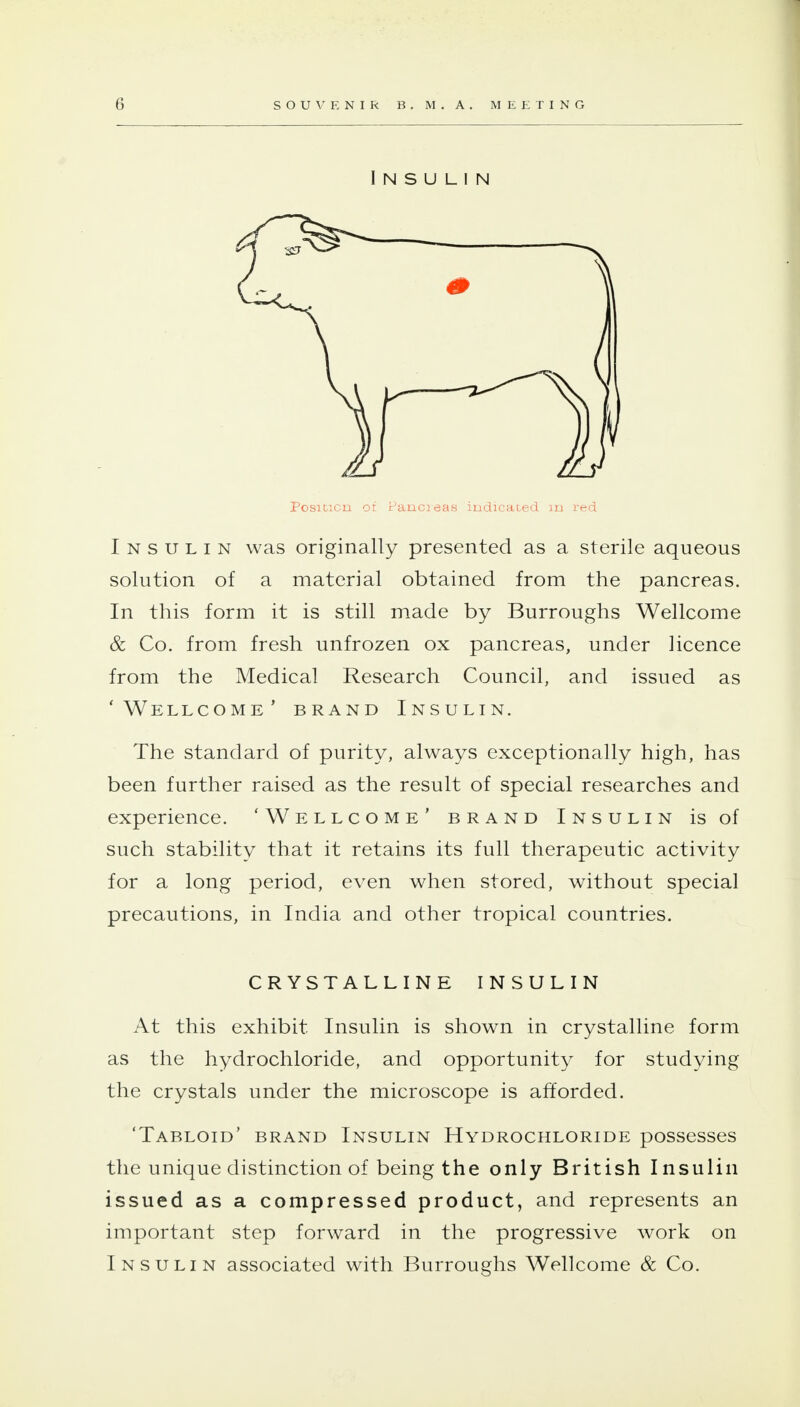 Insulin Posicicn or Pancieas indicated m red Insulin was originally presented as a sterile aqueous solution of a material obtained from the pancreas. In this form it is still made by Burroughs Wellcome & Co. from fresh unfrozen ox pancreas, under licence from the Medical Research Council, and issued as 'Wellcome' brand Insulin. The standard of purity, always exceptionally high, has been further raised as the result of special researches and experience. 'Wellcome' brand Insulin is of such stability that it retains its full therapeutic activity for a long period, even when stored, without special precautions, in India and other tropical countries. CRYSTALLINE INSULIN At this exhibit Insulin is shown in crystalline form as the hydrochloride, and opportunity for studying the crystals under the microscope is afforded. 'Tabloid' brand Insulin Hydrochloride possesses the unique distinction of being the only British Insulin issued as a compressed product, and represents an important step forward in the progressive work on Insulin associated with Burroughs Wellcome & Co.