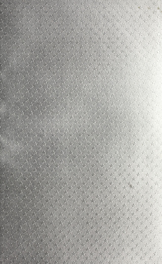 digitised image 3