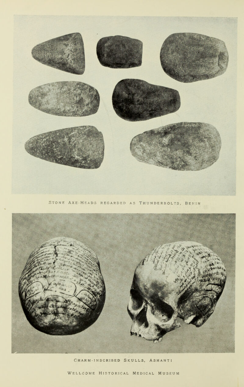 Stone Axe-Heads regarded as Thunderbolts, Benin Charm-inscribed Skulls, Ashanti
