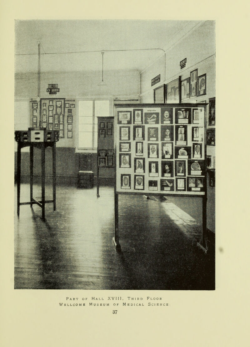 Part of Hall XVIII, Third Floor Wellcome Museum of Medical Science