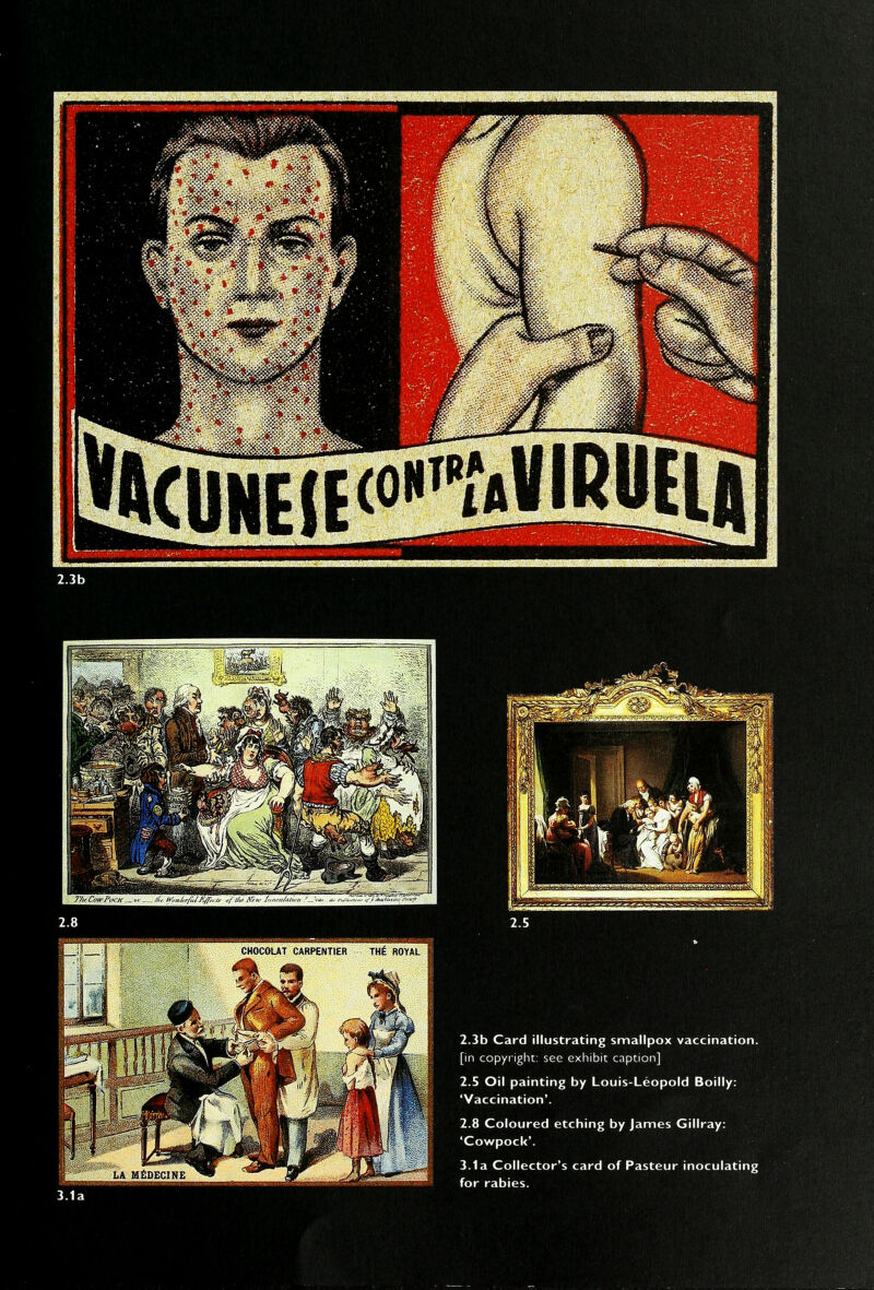 2.3b Card illustrating smallpox vaccination. [in copyright: see exhibit caption] 2.5 Oil painting by Louis-Leopold Boilly: 'Vaccination'. 2.8 Coloured etching by James Gillray: 'Cowpock'. 3.1a Collector's card of Pasteur inoculating for rabies.