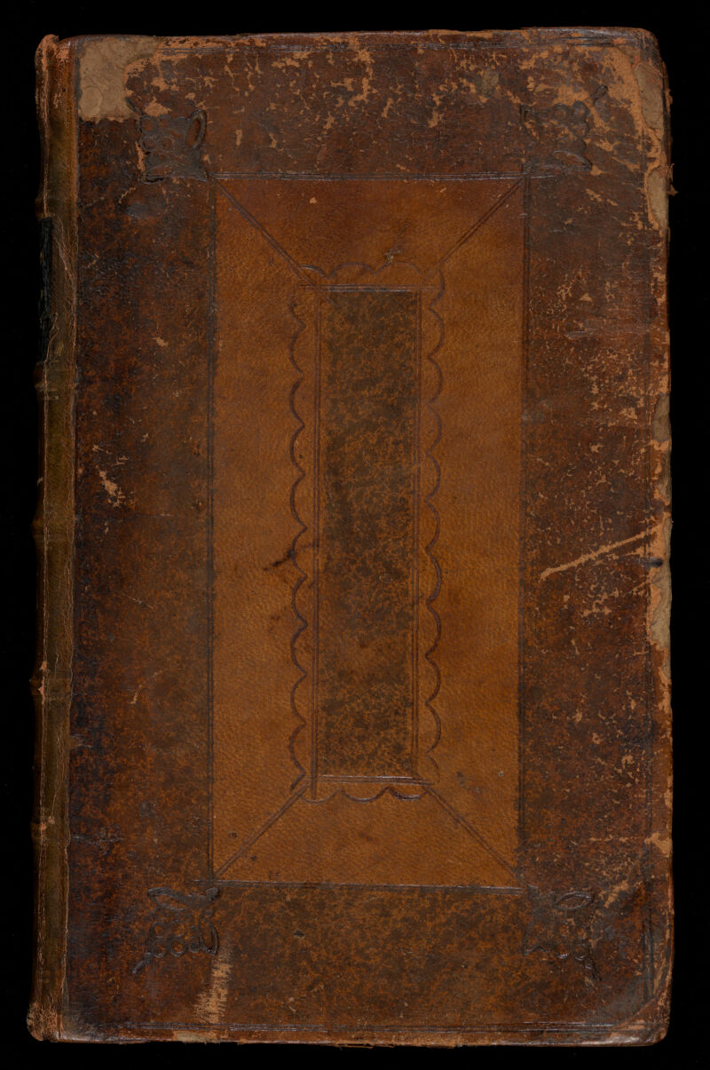 No text description is available for this image