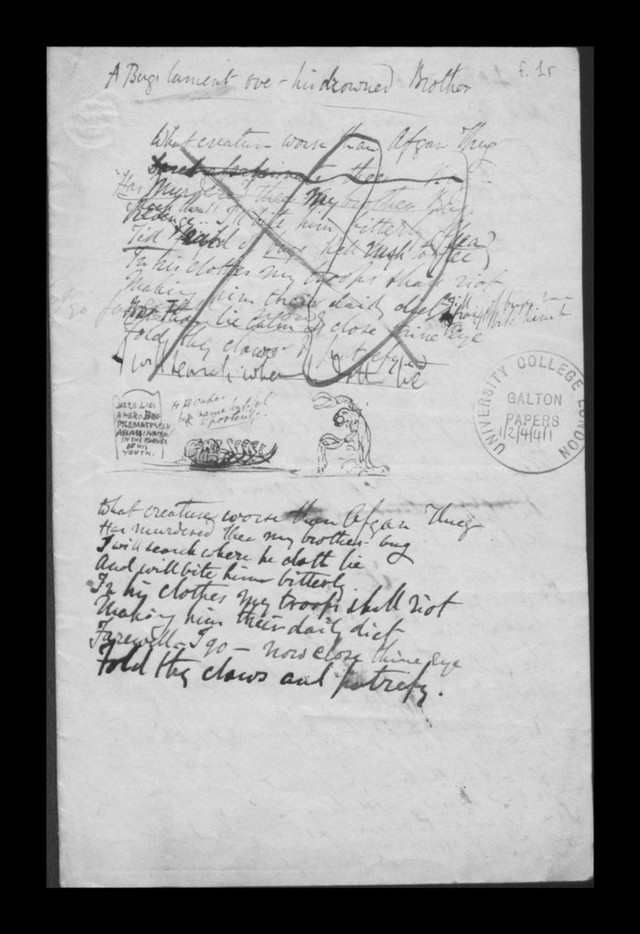 digitised image 1