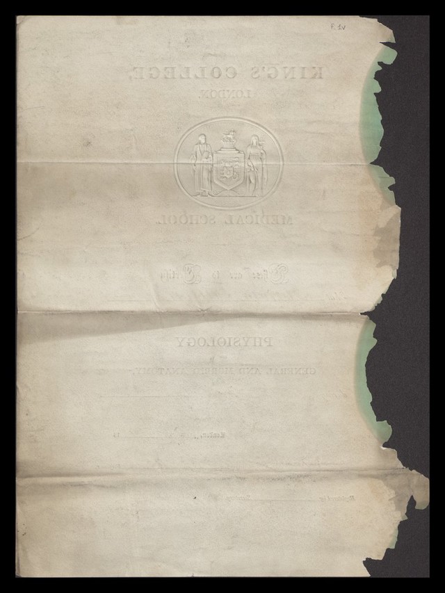 digitised image 2
