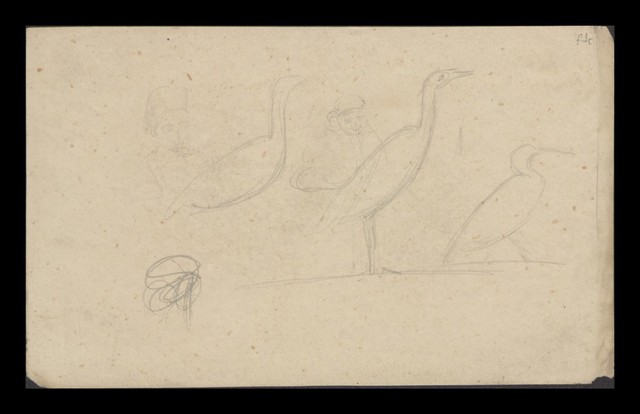 digitised image 1