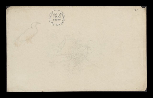 digitised image 2