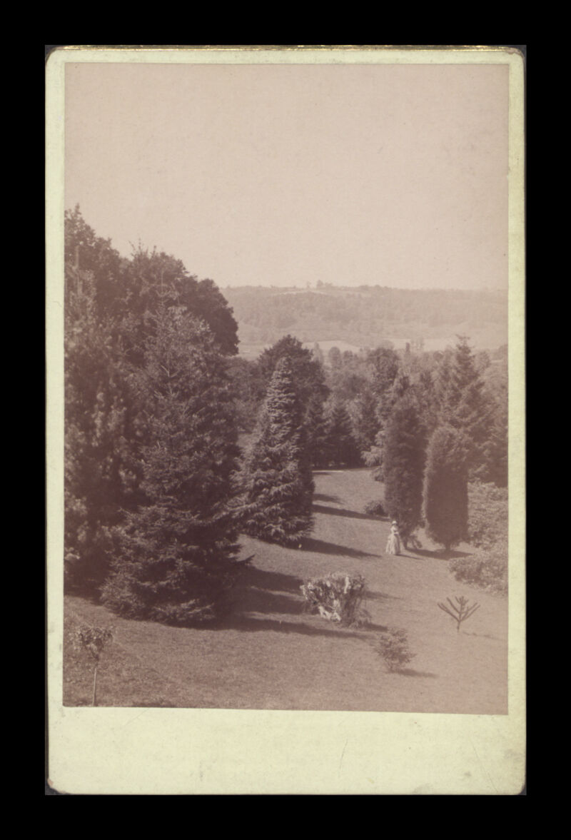 No text description is available for this image