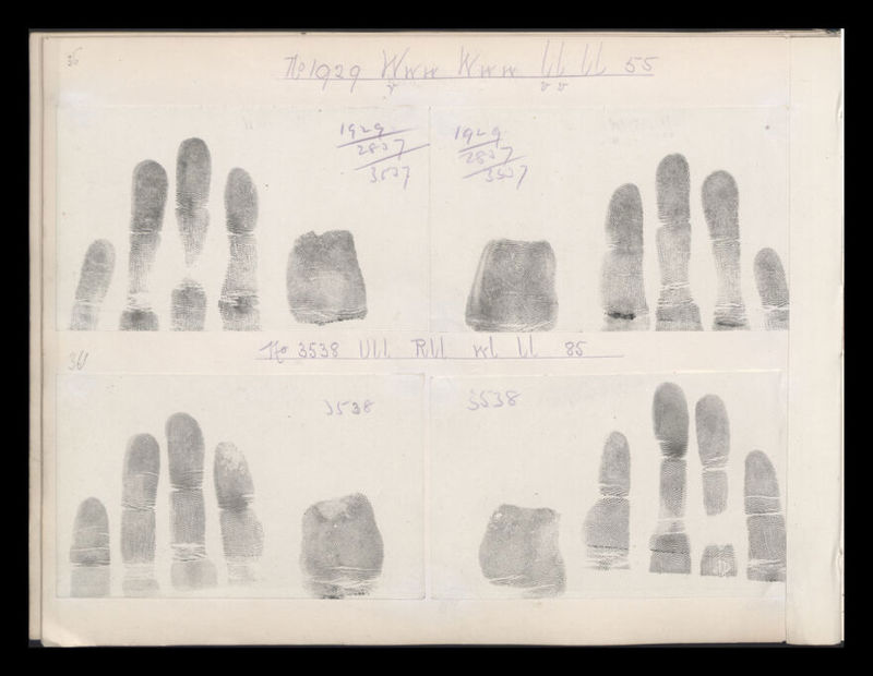 No text description is available for this image