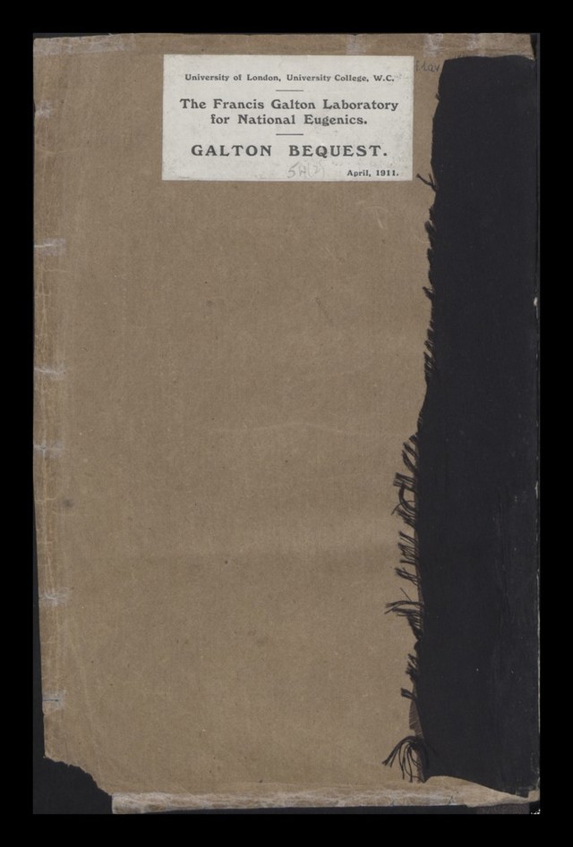 digitised image 2