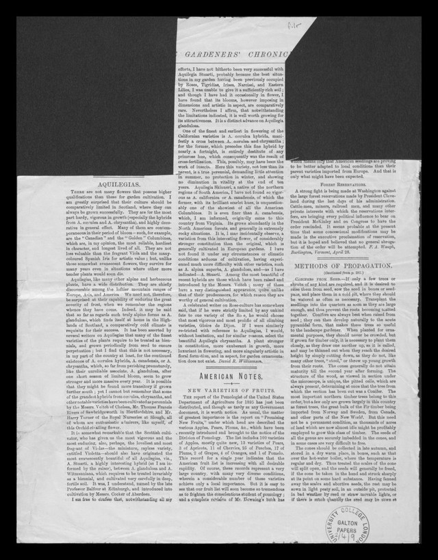 digitised image 1