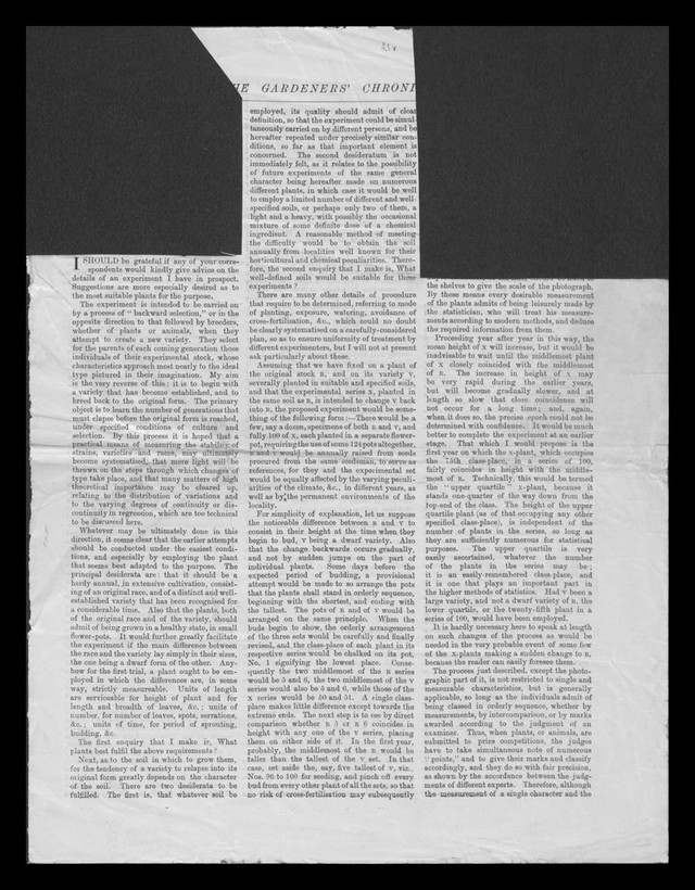 digitised image 2