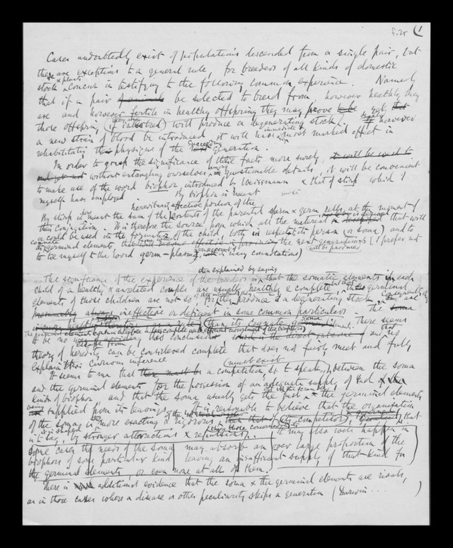 digitised image 3