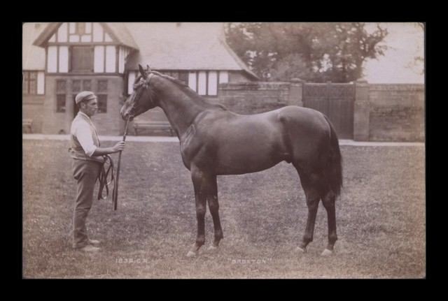 No text description is available for this image