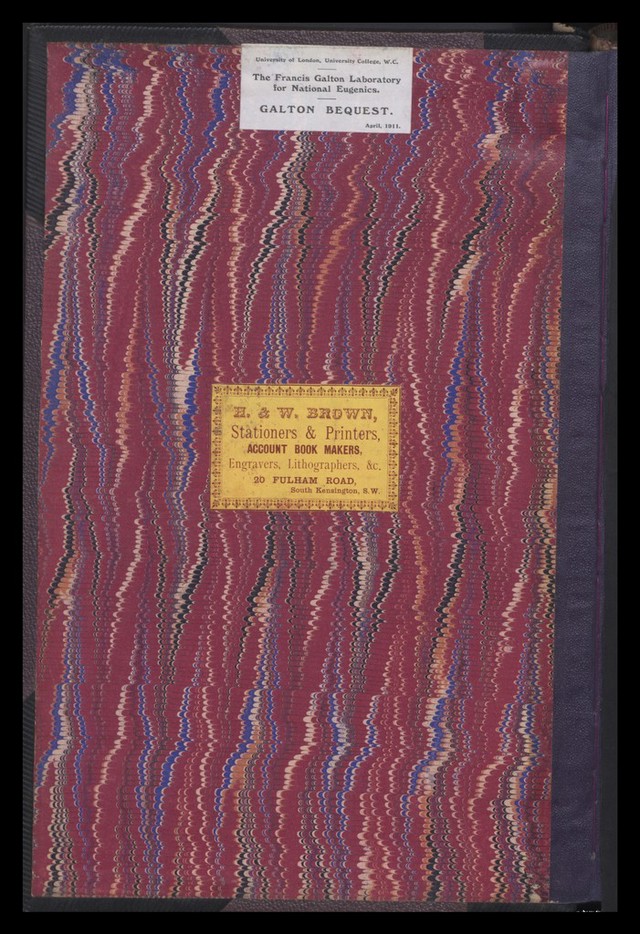 digitised image 2