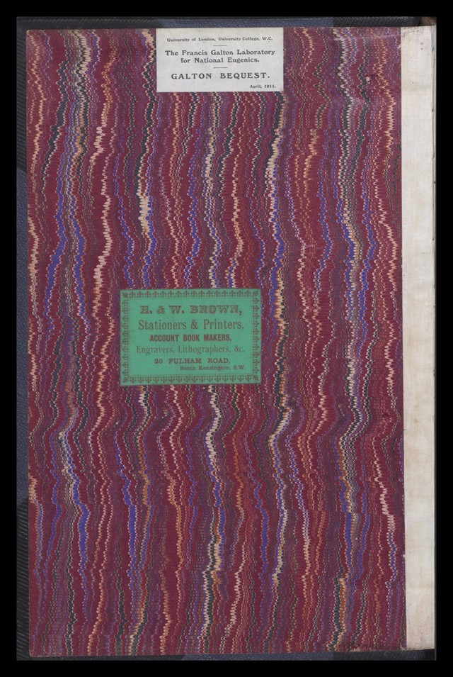 digitised image 2