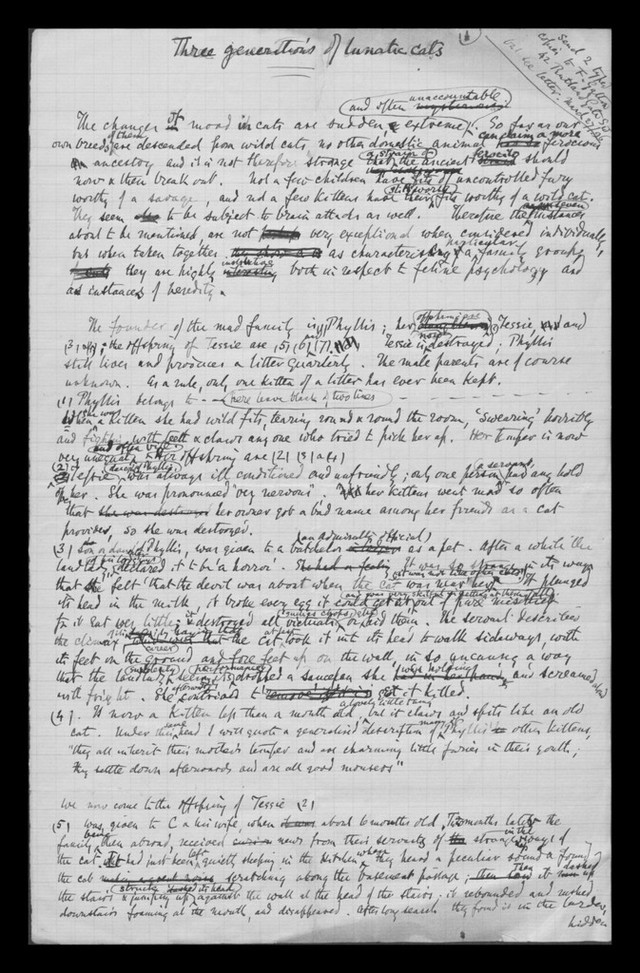 digitised image 2