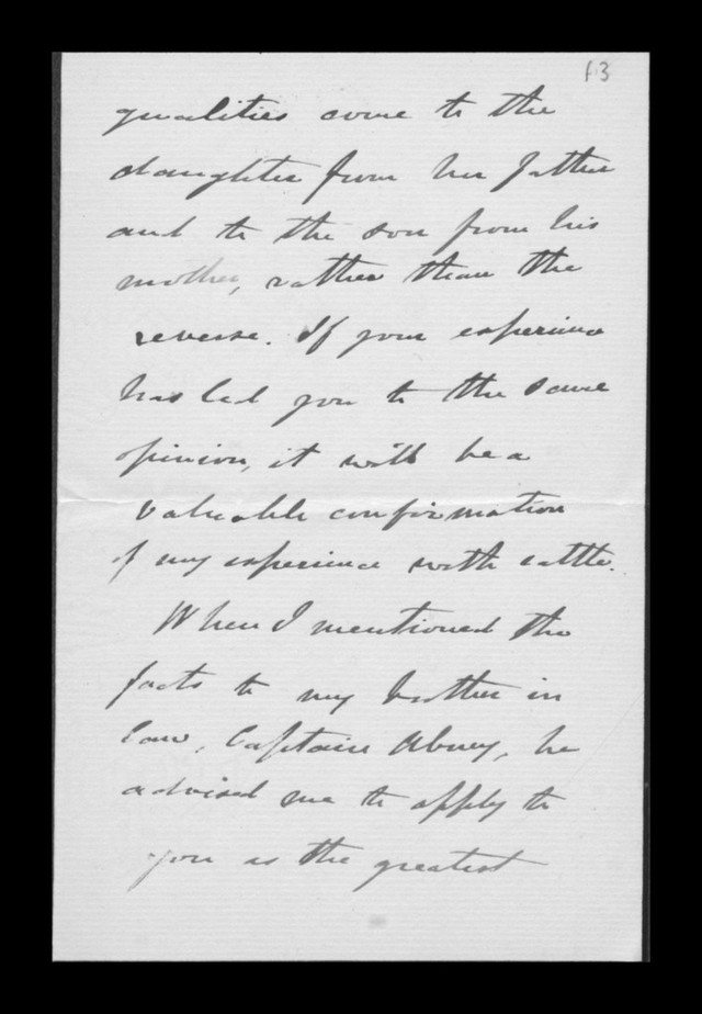 digitised image 3