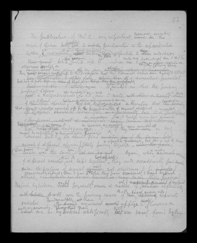 digitised image 3