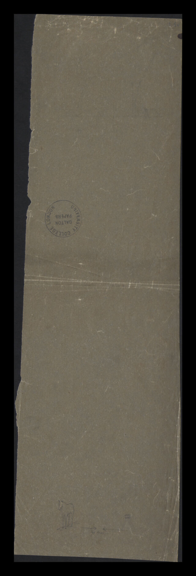 digitised image 2