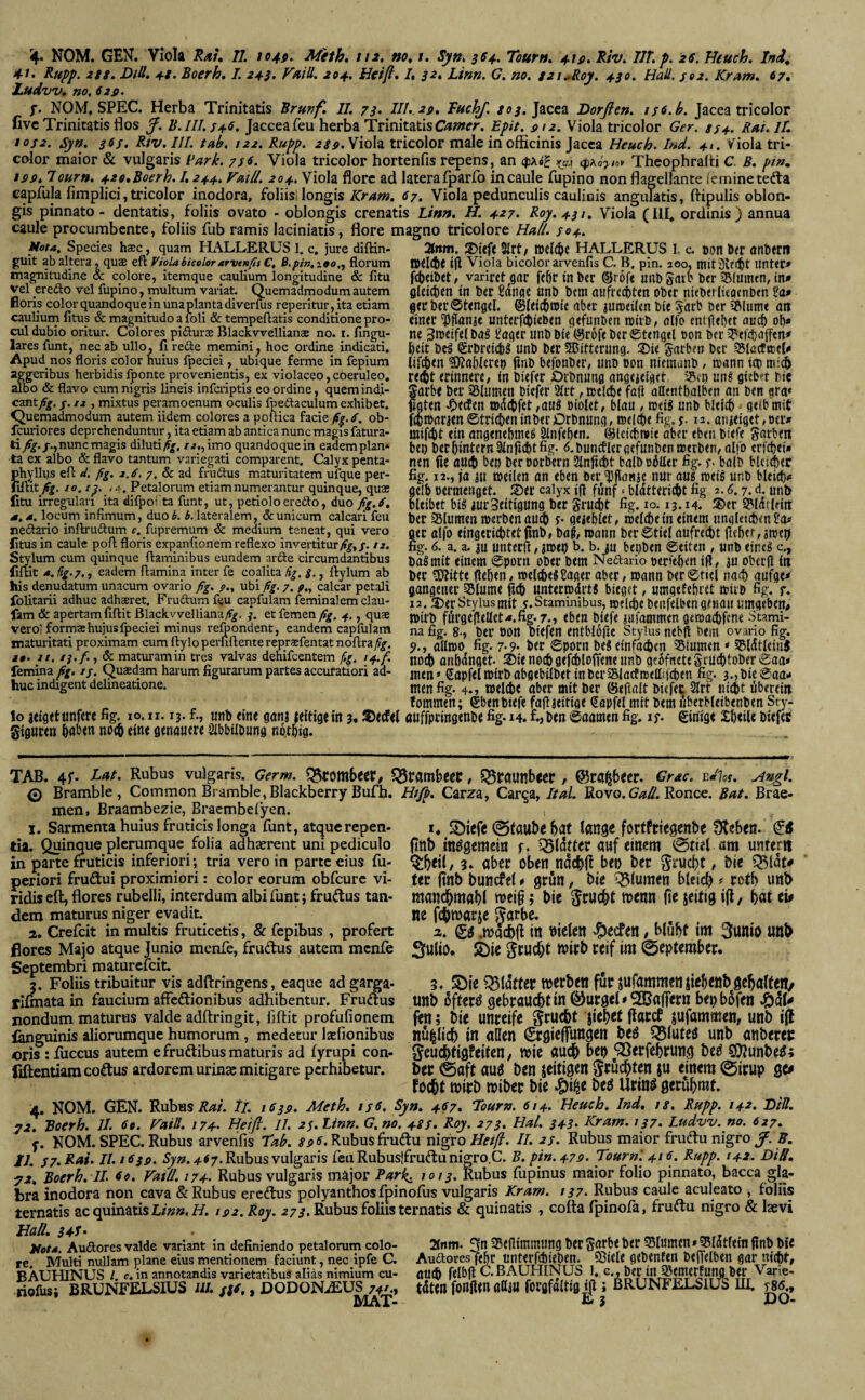 4U Rupp. 2ts. Dill, 4/. Boerh, I. 24$. VmU. 204. Heiß, I, 32, Linn. G. no, i2i^Roy. 430. Hall. je2. Kram. 67, J.udw, »0. 62p. f. NOM, SPEC. Herba Trinitatis Brttnf. 11. 73. 111. 2p. TuchJ. Jacea Dorßen. isi.b. Jacea tricolor live Trinitatis flos ß. B. 111.346. Jacceafeu herba TrinitatisOi7»<rr. Epit. pi2. Viola tricolor Ger. ss4. Rai. 11. 1032. syn. 363. Riv.lll. tab, t22.Rupp. Viola tricolor male in officinis Jacea Heuch. l»d. 41. Viola tri¬ color maior & vulgaris Eark. 73^. Viola tricolor hortenfis repens, an «txeg x_aj (t)Ädj,ioy Thcophralti C B. pin. tpp. Tour». 4Zo,Boerh. 1.244. VaiU. 204. Viola flore ad laterafparfo incaule fupino non flagellante ienainetefta eapfula fimplici, tricolor inodora, foliisi longis 67. Viola pedunculis caulinis angulatis, ftipulis oblon¬ gis pinnato - dentatis, foliis ovato - oblongis crenatis Linn. H. 427. Roy.431, Viola (III* ordinis) annua caule procumbente, foliis fub ramis laciniatis, flore magno tricolore Hali. 304. Mota. Species hsec, quam HALLERUS 1. c. jure diftin- 'Hntn. 9(rt/ l»<f(^e HALLERUS 1. c. öon 0<r onbetii guit ab altera , quae eft ViolabUolorarvtnfis C, florum ijl Viola bicolor arvenfis C. B, pin. 200. llnttt» »Tiagnitudine & colore, itemque cauliim longitudine & fitu f^eiöet, varirct^gar ftöt tn ött ©tofe unbSait' tcr SlUinctt, tn» vel erefto vel fupino, multum vaiiat. Quemadmodum autem floris color quando que in una planta diverfus reperitur,ita etiam caulium fitus & magnitudo a foli & tempeftatis conditione pro¬ cul dubio oritur. Colores pifturae Blackvvellianae no. r. lingu¬ lares funt, nec ab ullo, 11 rede memini^ hoc ordine indicati, Apud nos floris color huius fpeciei, ubique ferme in fepium aggeribus herbidis fponte provenientis, ex violaceo, coeruleo, albo & flavo cum nigris lineis inferiptis eo ordine, quem indi¬ cant Aj. /. ij , mixtus peramoenum oculis fpeftaculum exhibet. Quemadmodum autem iidem colores a poftica facie pf.3. ob- fcuriores deprehenduntur, ita etiam ab antica nunc magis fatura- nunc magis diluti/f^, /^.,imo quandoque in eademplan* ta ex albo & flavo tantum variegati comparent. Calyx penta- phYllus eft R, fig. 2,(3. 7, & ad fruitus maturitatem ufque per- llftit^. 10.13. . 4, Petalorum etiam numerantur quinque, quae litu irregailari ita difpoi'ta funt, ut, petioloerefto, duo fig.f. s, a, locum infimum, duo b. i. lateralem, Punicum calcari leu neftario inftruitum c. fupremum & medium teneat, qui vero fitus in caule poft floris expanfionem reflexo invertituriz. Stylum cum quinque ftaminibus eundem arfte circumdantibus fiftit iig.7,, eadem ftamina inter fe coalita %. g., ftylum ab his denudatum unacum ovario fig. ubi fig. 7. p.. calcar petali folitarii adhuc adhaeret, Frudtum feu capfulam feminalem clau- fam & apertam fiftit Blackvvelliana/f|^. et femen fig. , quae vero; formae hujus fpeciei minus refoondent, eandem capllilam maturitati proximam cum ftylo pemftente repraefentat noftraßg. 10. ti, ij.f..) & maturamin tres valvas dehifcentem ßg. t4.fi, femina fig. /3. Quaedam harum figuraium partes accuratiori ad¬ huc indigent delineatione. flUictien tn ha Sange unb bcm aufrechten ober nieberlieatnoen ta» geirber0t<ngcl. ©leichroie aber jumeifen bte 5arb oer iBlume öh einer 'Pflanje unterfeßieben gefunben airb, aifo entjlebet auch oh* ne Säger unb bie (Srofe ber 0tengti oon ber C^efdiafftn* heit be^ €rbreichS unb ber ?ffiittenmg. 2?ie garben ber SlactaeC# (ifchen fahleren ftnb befonber, unb oon niemanb, toann icb recht erinnere, in biefer Örbnung angeieiget i5ti) un§ gieba bi« Sarbe ber SBIumen biefer 2trt, rcelche fafi aUentbalben an ben gra« llgten d£)ecfen adchfet ,au8 oiolet, blau, toti« unb bleich = gelb mit f^marjen ©tricheninberDrbnung, melche fig. j. 12. anieiget,öer* mifcht ein angenehmem Qinfehen. (Sleichwie aber eben biefc garben heu berhinternSlnfrchtfig- ^.buncfleroefunbennjtrben,alfo erfchei» nen iie auch bei) beroorbern 2lnficht balbo^ller fig. f. bolb bleidbec fig. 12., ja jii toeilen an eben ber Manie nur aum rneim unb bleich* ge!h oermenget. ®er calyx ifl fünf ‘ blcittericht fig 2.6.7. d. unb bleibet bim iurSeitigung ber grucht fig. 10.13.14. ®cr Ü^lcifleiti ber asiumen merbeti auif) y- geiehlet, melche in einem ungleichen Sa* ger alfo eingerichtet finb, ba|, mann ber Stiel aufrecht liehet, itoet) fig. 6. a. a. iu unterfl, iweu b. b. ju bepben ©eiten , unb einem c., barnmit einem ©porn ober bem Neftario periehen ifl, iU obetfl in ber TOte liehen, welchem Säger aber, mann ber©tcei nast) aufge* gangener Slume fitb untetmdrtm bieget, umgefehret mitb fig. r. 12.3)er Stylus mit j. Staminibus, metche benfelben genau umgeben/ mirb förgejltaet,*.fig.7.j eben biefe iufammen gemachfene Stami¬ na fig. 8-, ber oon biefen entblofle Stylus nebfl bem ovario fig. p., allmo fig. 7-9* ber ©porn bem einfachen ^Blumen * S5ldtlein$ noch anhdnget- I3bie noch gefchloffene unb ge5fnett5-ruchtober©aa* ßapfelmirbabgebilbetinbcrssiactmeflijchen fig. 3.,bie©aa* men . .. ...... men fig. 40 »eiche aber mit ber (Sefialt biefet 2lrt ni^t überein fommen; ®benbiefe fajlaeirige ^apfel mit bem uberbleibenben Sty¬ lo leigetunfere fig. lo. n. 13. f., unb eine ganj leitigein 3* IDecfel auffpringenbe fig-14. f.jben ©aamen fig. if. einige Xheile biefet giguren noch eine genauere 2lbbilbung nothig. TAB, 4f. Lai. Rubus vulgaris. Germ. Q5fombeer/ ^Stambecr, , ©ra^becr. Grac. ^»gt. 0 Bramble, Common Bramble, Blackberry ßufh. Htß. Carza, Car^a, ItaL Uovo. Gail. ^oncc. Bat. Brae- men, Braambezie, Bracmbelyen. i I. Sarmenta huius fruticis longa funt, atc^ucrepen- 5)iefe (Staube bat tunge forfftiefienbe fKebetl. tia. Quinque plerumque folia adhaerent uni pediculo (ttib inögemein f. Q5I^ttet auf einem (0mt am unter« in parte fruticis infericjri; tria vero in parte eius fu- 3. aber Oben nde^jf bet) ber ^fUCbt, bie ^idt# periori fruftui proximiori: color eorum obfcure vi- fer ftnb buncffl * grun, bie ^^lumen bleicb ? rotf) unt> ridiseft, flores rubelli, interdum albi funt; fruftus tan- manc^mabl meig; bic ^rucbt toenn jte jeitig ifl/ bnt i\t dem maturus niger evadit. «e fchwarje ^arbe. a. Crefeit in multis fruticetis, & fepibus , profert a. .mdcbff in bielen , blubt im 3uni0 U«t> flores Majo atque Junio menfe, frudus autem mcnfe SDie ^rucbt 0cpteraber. Septembri maturefeit. ^ 5. Foliis tribuitur vis adftringens, eaque ad garga- 3. Söie Q5fdtter werbet! fur jufammeti jiebctjbgcbaltett/ rlfinata in faucium affeftionibus adhibentur. Fruftus unb dfter^ gebraucht in ©urgcl * ^Baffem beobdfen nondum maturus valde adftringit, fiftit profufionem (etij bte unreife ^rucbt 'jiebet florcf jufammen, unb i|l inguinis aliorumquc humorum, medetur isefionibus iiuhiici) t« allen Srgieffungen bcfi Q5futeö unb anberec oris : fticcus autem efruftibus maturis ad fyrupi con- ^cudbfig^eifen, Wie au(^ bet) Q}erfcbrung bcti S(]^unbe^3 fiftentiamcoftus ardorem urinae mitigare perhibetur. ber 0aft auU ben jeitigcH ^t^uc^ten JU einem (^irup Qtf foebt wirb wiber bie ^i^e beö Urinö gerühmt. 4. NOM. GEN. Rubus Ä,?/. Tl. tßgp. Meth. //tf. Syn. 467. Tour». 614. Heuch. Ind. is, Rupp. 142. BtU. 72. Boerh. 11. 6e. Faill. 174. Heiß. II. 23. Linn. G.no. 433. Roy. 273> 343- Kram. 137. Ludvv. no. 627. y, NOM. SPEC. Rubus arvenfis Tab. ff. Rubus fruftu nigro Heiß. 11. 23. Rubus maior frudu nigro f. ff. 11. 37. Rm. 11.163p. 7. Rubus vulgaris feu Rubuslfruftu nigro.C. B. pin. 47p. Tournl 416. Rupp. 142. Dill, 72. Boerh. 11. fe. VatU. 174. Rubus vulgaris mäjor Rark^ 1013. Rubus fupinus maior folio pinnato, bacca gla¬ bra inodora non cava & Rubus eredtus polyanthosfpinofus vulgaris Kram. 137. Rubus caule aculeato , foliis ternatis acquinatisLf»»,//. tp2.Roy. 27^. Rubus foliis ternatis & quinatis , cofta fpinofa, fruftu nigro & laevi Hali. 34-1 • , Mota. Auftores valde variant in definiendo petalorum colo- 2trtm. 3n iBcUlmmitng D« garb« b« 55lUmm»J5latl<tn finb bR re Multi nullam plane eius mentionem faciunt, nec ipfe C. Auftores fehl' lintCrfAlCbcn. SÖicU gcbcnftn bcffclbcn gar nicht, BAUHINUS l. r.in annotandis varietatibus alias nimium cu- atl^ fdbfl C.BAUHIISUS I, ba varie- riofusi BRUNFELSIUS lU. gge,, DODON.£US 74'., tdtm fonfttnaCj« forafaltia|l; BRUNFELSllJS III, 386 ,