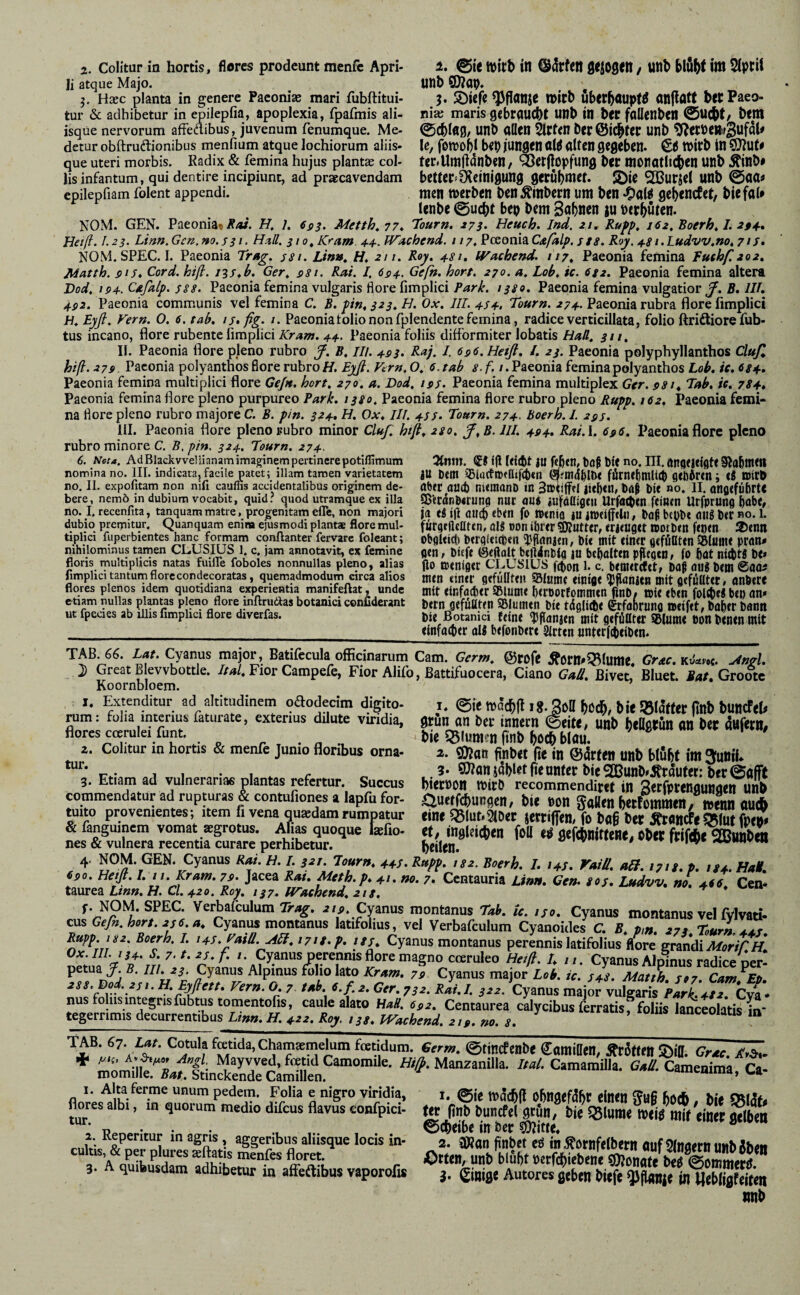 li atque Majo. UHb Haec planta in genere Paeoniae mari fubftitui- $, S)iefe ^flötlje wirb ubcrbouptg aniloft berPaeo- tur & adhibetur in epilepfia, apoplexia, fpafmis ali- niaj maris gebrdUCbt unb tn bcr fallenb«! @U(bt/ bettl isque nervorum afFeflibus, juvenum fenumque. Me- 0cblfl9, unb allen ber@icbter unb ^RerPeMir^Ufal» detur obftruftionibus menfium atque lochiorum aliis- le, fowobl bep jungen OW altcn gegeben. €<5 Wirb in que uteri morbis. Radix & femina hujus plantie coi- ter.Uttlftdnben / ^etflopfung bcr monatlicben Uöb ^tnb# lis infantum, qui dentire incipiunt, ad praecavendam bcttepSteinigung gerubmef. 2)ie ^Burjel unb @aa« epilepfiam folent appendi. mcn Werben DenÄinbem um ben .OaW gebencfet, biefal» lenbe ©ucbr bep bem Sabnen tu »erbuten. NOM. GEN. Paeonia« i?«. H, 1. 'Tourn. 273- Heuch. Ind. 21, 162, Boerh» L 294., Heiß. 1.23. Linn.Gcn.no.s31- H2II. 310^ Kram. 4.4. Wachend. 117, ^Cafalp. s18. Roy. 48i.Ludvv.no, 71 f» NOM. SPEC. I. Paeonia Trag. s8i. Linn, fi, 211. Roy. 481, Wachend. 117, Paeonia femina Fuehf.202, Matth, ßif, Cord. kiß. iis.b. Ger, $8i. Rai. J. 694. Gefn. kort. 270. a. Lob, ic. 682. Paeonia femina altera Hod, 104. Cafalp. s§8. Paeonia femina vulgaris flore fimplici Park. 1380. Paeonia femina vulgatior^. B, IIL 4S)2. Paeonia communis vel femina C. B. pin, 323, H. Ox, III. 434, Tourn. 274. Paeonia rubra flore iimplici H, Eyß. Fern. O. 6. tab, i5»ßg. 1. Paeonia tolio non fplendente femina, radice verticillata, folio ftriftiorefub- tus incano, flore rubente fimplici Kram. 44. Paeonia foliis difformiter lobatis HaB. 311. II. Paeonia flore pleno rubro ß. B, ili. 493. Ra;. /. 696. Heiß, /. 23. Paeonia polyphyllanthos Cluß hiß. 279. Paconia polyanthos flore rubro H. Eyß. Ftrn. O, 6. tab 8.f.i. Paeonia femina polyanthos Lob, ic. 684. Paeonia femina multiplici flore Ge/n. kort, 270, a. Dod, ips. Paeonia femina multiplex Ger. 98Tab, ie, 784, Paeonia femina flore pleno purpureo Park. / 380, Paeonia femina flore rubro pleno Rupp. 162, Paeonia femi¬ na flore pleno rubro majore C. B. pin. 324, H, Ox, IU. 453. Tourn. 274. boerh. I. 293, III. Paeonia flore pleno rubro minor Cluf, htfi, 28 0. ß,B. III. 494. Rai.l. 696. Paeonia flore pleno rubro minore C, B,pin. 324. Tourn. 274. 6. Neu. AdBlackvvellianamimaginempertinerepotifnmum 3tlim. QEf {|1 Itfcbt JU febcn, tof DR no. III. Öitflfjtifltf SlttbttK» nomina no. III. indicata, facile patet; illam tamen varietatem JU Dem i8lactn)tttif(t)en wmdllWt fürne^mltcb gtftÄren i Ci ttiti) no. II. expofitam non nifi cauffis accidentalibus originem de- abtr a«cb nitmanD in |icb«n» bit «o. II. OHfltfÜbrt« bere, nemo in dubium vocabit, quid? quod utramque ex illa 2ß'erdnD«runa nUC OU« »ufdaigcil UrfaWtn fcintn Urfprung bobC, no. I. recenfita, tanquam matre, progenitam efle, non majori ja ti ifl dWcb «btn fo »tnia iU Doß bcyDt flllg D<r no. 1. dubio premitur. Quanquam enim ejusmodi plants flore mul- futataeUttn, Ol« OOn ibrcr ^«tttr, ttjtugct »orDtn ffDtn 3)tm tiphci fuperbientes hanc formam conftanter fervarc foleant; obgUig) D<rg(«t(Den DI« mit «ln<r gtfüßttn SBlmil« pwn* nihilominus tamen CLLSIUS 1. c. jam annotavit, ex femine (jcn, Dief« ©«flolt bqlir.Dlg |n bcbalttn pflegen, fo 5at nlOlt« D«» floris multiplicis natas fuifle foboles nonnullas pleno, alias flo Oxnlgtt CLUSIUS fcpon 1. c. bcmerrttt, Ddf flU« D«m @005 fimphcitanturn flore condecoratas, quemadmodum circa alios m«n «in«r gefullttJl SSIum« «inia« ^flonjen mit g«fliat«t, onfett« flores plenos idem quotidiana experientia mamfellat, unde mit «InfflCptr SlUm« bttPOrfommtn finD/ »1« <b«n folg)«« b«D on* etiam nullas plantas plrao flore mftrudtas botamci conCderant D«tn gtfüflt«n SBIumen Dl« tdgllg)« grfflbrung tt«lf«t, Pobtt Dann ut fpecies ab lUis fimplici flore diverfas. ßotanici fein« ^flanjen mit g«fößt«t ®lum< oon Dtntn mit _ <infag)(r gl« btfonPer« 8lrt<n «nterfgxIDtn. Bätifecula officinarum Cam. Germ, @rofe Äörn»53luttie, Grac. Kv'^ro«. .^^ngl, ^ Great B evvbottle. 7/^/. Fior Campefe, Fior Alifo, ßattifuocera, Ciano Gaä. ßivet, Bluet. Grootc Koornbloem. 1. Extenditur ad altitudinem oaodecim digito- i. @ie i«.JoO bi( SBiattet (iBb buncttb m: fülia intcnus faturate, exterius dilute viridia, grün an her Innern @eit<, unb jjellgfün an ber dufern« r^c Innl- flrtb blflU. 2. Qjjati finbet fie In ©drfen unb blubt Im 3funlL 3. 9)?anjablet|teunter bie^unb»Ärdufet: ber0afft wecpon wirb recommendiret in S^tfp^wgungen unb Onttf^ungen, bie »on goHen bwßmmen/ wennaueb «ne Q3lut*^oer setriffen, fo ba§ ber ÄrancFi^lut fpen# jt/ ingleicben fofl e;$ gefcjjnittene, ober friftbe 2Bttnbctt neuen. rum flores coerulei funt. z. Colitur in hortis & menfe Junio floribus orna¬ tur. 3. Etiam ad vulnerariae plantas refertur. Succus commendatur ad rupturas & contufiones a lapfu for¬ tuito provenientes; item fi vena quaedam rumpatur & fanguinem vomat aegrotus. Alias quoque feefio- nes & vulnera recentia curare perhibetur. 4. NOM. GEN. Cyanus Rm. H. I. 32t. Tmr», „s. Ruff. ,32. Roerh. I. i,j. raiU. alf. ,3,3. p. u,. Hat. iso. Heifi. l. I I. Kram. 32. Jacea Rai. M33h.p. ,1. m. 7. Centauria Utm. Gea. 3.3. Ladvv, ao. ate. Cen- taurea Ltnn. H. Cl. 420, Roy, 137. Wachend, 218. ^ f. NOM. SPEC. Verbafculum Tr/i^. Cyanus montanus Tab. ic. 130, Cyanus montanusvelfylvati- sGefn,hor8.236.a, Cyanus montanus latifolius, vel Verbafculum Cyanoides C. B, pm, 273 Tourn. 443 ipp.yj2. Boerh. I. i43,Faiü. AEi, i7i8.p, i8s. Cyanus montanus perennis latifolius flore o-ranfU Mnwir u c r- . ' . f- \Jtr.732. Rat.i. 322. i^yanus maior vulgans Park.482. C nusfoliismtegrisfubtustomentofis, caule alato UaH. 692, Centaurea calycibus ferratisf foliis lanceolatis tegerrimis decurrentibus Ltnn. H. 422. Roy. 133, Wachend, 219. no. 8, anceoiatis TAB. 6-j. Lat. Cotula fetida, Chamsemelum fetidum. Germ. ©tincfente eaiJliBen, Är6Kfll ©il. Grac. AA.- * Camamma. Cameuima, Ca- 1. Alta ferme unum pedem. Folia e nigro viridia, flores albi, in quorum medio difeus flavus eonfpici- tur. 2. Reperitur in agris , aggeribus aliisque locis in¬ cultis, & per plures aftatis menfes floret. 3. A quibusdam adhibetur in affeftibus vaporoiis 1. ©ie wdcbH obngefdbr einen ^u§ 5o(b, bie fer (tnb buncfcl geun, bie 55lume wei^ mir einer gelben ©cbeibe in bcr ?0?itfe. 2. JKan finbet eö in ^ornfelbern auf Slngernunbaben lOrten, unb biubt uerfebiebene s9?onate bt$ ©ommerU. 3. Einige Autores geben biefe QJflflnie in llebligfeiten mtb