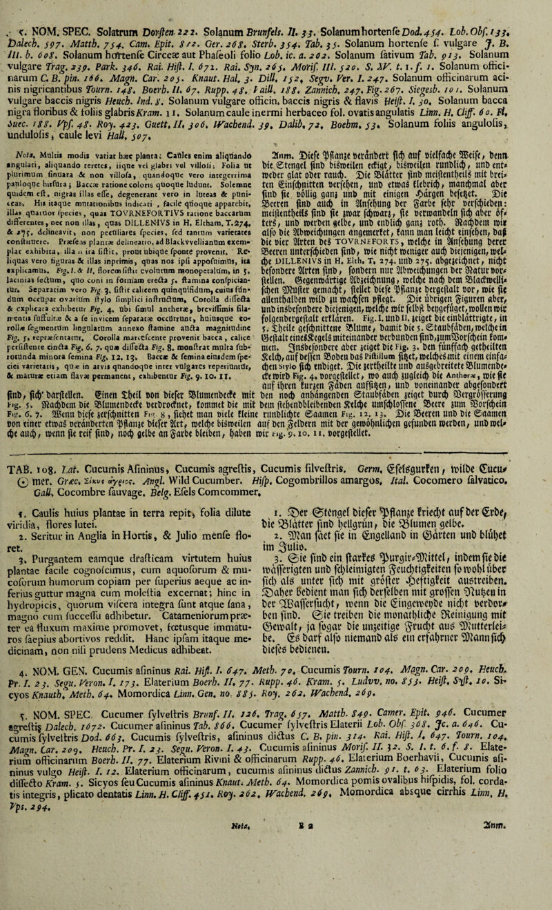 t>dech, $97. Matth, 7$4, Cm* Epit. S/2. Ger. 268* Sterb, 3$4. Tab. 3$. Solanum hortenfe f. vulgare J. B, du. b. 608. Solanum hctltenle Circeas aut Phafeoli ioWo Lob, ic. a. 202. Solanum lativum Tab. 913, Solanum vulgare trag, 239, Park. 346, Rai. Biß. /. Ö71. Rai, Syn, 26$, Morif III. $20. S, W. t. i.f. i, Solanum offici¬ narum C,B. pin. i66, Magn. Car. 20$. Knaut. Hai, 3. Dill, i$2,^ Segv, Her, I.247, Solanum officinarum aci¬ nis nigricantibus Toürn. 148. Boerh.U* 67, Rupp, 48, daill, /88* Zannich, 247,Eig.26j, Siegesb. 101, Solanum vulgare baccis nigris Htuch. hä. 8. Solanum vulgare officin. baccis nigris & flavis Heiß, I. 30, Solanum bacca nigra floribus & foliis glabris Kmw/. 11. Solanum caule inermi herbaceo fol. ovatis angulatis Linn, H, Cliff. 60. Fi, iuec. 188, f^pf. 48* Roy,423, Guett,II, 306, IVaeheni, 39, Dalib,72, Boebm,$3, Solanum foliis angulofis,, Undulofls j caule levi Hali, $07, Notä, Multif modtj variat hsc planta: Catllei enim aliqtiando 21nm. ^tcff ftCtatlbttt ftUf öltlföC^C ®t{ff t bcttfl angulati, aliquando terctea, iiqne vd glabri vel vilioli; Folia ut blC StUigcl flUb biStBetUn bilnXlUlt rUnbltCb ^ Uttb Ctlt» plurimum finUata Sc non viliofa, quandoque vero integerrima iDCbU'fllClt Obtl’taUCb* ©it 55ldtt(t finb ttttt btd» pauloque hiifUta} Bacese tationc coloris quoqOe ludunt. Solemnc tCH ©nf^tlittUl Unb fUbticb t niand)IB(ll öb(C quidem cft, nigras illas efle, degenerant vero in luteas & pUni- fuib fU boliig gatlj «Hb ttltt etntgen «Odrgtn btfeftCt. 3)iC tcas. His itaque mutationibus indicati , facile qüoque apparebit, ^CCttlt ftttb tn SiltfcbUng bcr Sdtbt DttfcbUbtlt: illas qoatuor fpecies, quas TOVRNEFOR.TIVS ratione baccarUm flltb fit imt fcbn)ar3f ftC ÖtCnjOtlbtln flC^ abtC Of* differentes, nec non illas, qUas DlLLENIVS in H. Eltham. T.274, «Ob »erbUt gtlbc, UHb «nbli^ gatlj 1'Otb. Sla^beill tbt« & delineavit, non peculiares fpecies, fed tantum varietates olfo bit SlbtDetCbUngcn rtngttnCtfCt/ fattlt llKUl Uicbt tinfcbtll/ba^ conftituere. Praefe.is plantae delineatio, ad BlackVvellianUm exem« biC bict 21rttrt btS TOVRNEFORTS, IH ^ttftbung btttC plar exhibita, illa n ita fiftit, prout ubiqUe fponte provenit. Re- fSttl’Cn UltttCfl^itCben jlltb/ tbit llicbt TOCnigtt ÖU(^ bkjcnigtn, IDtU iiquas vero tigUras 5c illaS inprimis, quas nos ipfi appofuimUs, ita (b« DlLLENIVS iU H. Elth, T, 274. Utlb 275. gbgcjdcbnct, explicamus. Ftg,i.& //. florem liftit evolutum raonopetalUm, in befonbere fuib fOllbertl tlllt SlbtBCt^Ungen b«c SiatUbBOlV lacinias feiium, quo coni m fotniam erefta j. ftamina tonfpician- ffelUtl. (ScgdUödttigf StbjdCbtUing 1 OflCb bCtU tUr. Separatim vero Fig.3* Gftit calicem quinqtiifidum, cuius fdn- fcb^ft gtltldcbt/ ftdUl bUft bCVQ^flglt bOt^ Ibi? flC dum occupat ovaiium ftylo fimplici inftiu£fum* Corolla diffefla alUntbdlbcn jbilb iU iBflCbfcn pfiigt. S)tt Übrigen §{gur<n «ber^ & explicata exhibetur Fig, 4, ubi (innui antheras, brcvilTimis Gla* BnbtnSbtfonbCrC bicjenigcÜ/lBdCbC 0>tr fdbj5 btpgffugdc^tDOlUntBtC ircntis fnffultae & a fe invicem Teparatae occUrrtint, huiusque to- foigcnbcrgrjldlt trfldrtn. Fig.I. Unb H. iCigjt bi( dttbldttrigte / itt rolU TegmentUm lingulatum annexo flamine aüda magnitudine 5. !£bdie gdÜ)flid^n< ^illtntC/ baittlt bU y. <StgUbfdbcn/n>dCl)(in Fig. s. repraefentatur. Corolla marcefeente provenit bacca , calice dnCÖ^^gdä tnitdnflnbCt ÖCrbUnbcn jinb;3Uni58orfcbdn EOtH* pctfiftence cinfta Fig. 6. 7. quae difleda Fig. g. monflrat multa fub- nicn. 2ll^^^^rbnbCVe flbyc 3dgct bi( Fig, 3, Öen fÜnffflCb gdbCÜtdt roiünda minora femina Ftg, 12, 13» Baccas öc femina cinidem fpc-^^ ÄdÜ)f flufbrffcn !5ob(ttba|Piftillum lBdcl)i^init CinCBldnffl« ciei varietatis, qu« in arvis quandoque inter vulgares reperiuntOr, ^(n Stylo f[(b tnbigd. iDtt 3dtbdltS Unb flU^gtbrdtdt SSItltncnb?» fit mäturat etiam flavae permanent, cxhibemUr Fig, 9. lo. II» CfJWirb Fig. 4» OOrgcflAld^ tbO dUCb SUgIdd) bl« Antherae, tbirfiC nufib«« 5'dben auffifteni unb noneinanbcr abgrfonbtrt finb, fidb‘:barjfdlen. Sinen tb<ii bon biefec ?S(umenbe(!e mit ben nocb anbdngrnben ©taubfdbcn 3eig<t bur^ 58crgr6|T«i’ung Fig. y-. gtad)bdnbie ?5lunKnbccfe berbrocfnd^ fommetbic mit bem jt«beiibbldbenb«n «mf^lofTenc S5e«re 3iim Sßorfebein F.g. 6,7. 2Benn biefe gerf^nittyn Fi«. s , fielet man »id« fleine rimblicbte ©aatnen Fig, 12.13. T)'t< SSeeren unb bie 6aamm Don tinrr ctmag ocrdnbertcn ^jlange btefer 3lrt# mdebe bi^rodlen auf bm Sdbern mit ber gmo^nlicbtn gefunbm mecbm/ unbmd* (be aucb/ wenn fi« rdf fmb/ no(b flelbc angarb« bldbcn, bflben »ic ng.j.io. n. »orgeflAi^t, TAB. »og. Lai. Cucumis Afininüs > Cucumis agreftis, Cucumis filveflris, Cerm, ^fet^gurfcn y Vioilbc ^UCU# 0 mer, Gr£c, E/xiyj «yfroy. Angi. Wild Cucumber. Hifp, Cogombrillos amargos, dtal. Cocomero falvatico, Call, Cocombre fauvage. Belg. Efels Corneommer, f. Caulis huius plantae in terra repit» folia dilute 1. biefcr friccf)t aufbcr viridia, flores lutei. bie ^(dtter finb l)ellgvuny bie ^fumen gclbc. 1. Seritur in Anglia in Hortis, & Julio menfe flo- 2. ?i)tan faet fie in SngeUanb in ©dvten unb blul)et ret. im ^utio. 3. Purgantem eamque drafticam virtutem huius 3. 0ie finb ein flatfeö ^urgir^^ittet; inbemfiebie plantae facile cognoicimus, cum aquoforum & mu- luaflerigten unb fcbieimigten ^euct)tiflfeiten fon)ol)i Über cofuruin humorum copiam per fuperius aeque ac in* fiel) alö unter fiel) mit gl'üfler -^^eftigfeit auötveiben* ferius guttur magna cum moleflia excernat; hinc in ®al)er ßcbient man ficb berfelben mit grofen ^u^en in hydropicis, quorum vifeera integra funt atque fana, ber ‘2Baflferfud)ty menn bie (2ingemei)be nid)t Dcrbor# magno cum fucceffiu adhibetur. Catameniorumprae- ben finb. @ie treiben bie monatbhcb^ Sfveinigung mit ter ea fluxum maxime promovet, feetusque immatu- ©ema(t/ ja fogar bie unjettige ^rucbt auö '3)tUtterIeii? ros faepius abortivos reddit. Hanc ipfam itaque me- be. barf alfo niemanb alö em erfal)rncr ^annfic^ dicinam, fton nih prudens Medicus adhibeat. biefcü bebienen. 4, NOM. GEN. Cucumis afininus Räi. Hiß. I* 647* Meth. 70, Cucumis Tourn. 104, Magn. Car. 209, Heuch, Pr. /. 23, Segu. Feron, I, 173. Elaterium Boerh, U, 77. Rupp. 46. Kram. $. Ludvv. no, 8$3* Heiß, S^i, 20, St- cyOS Knauth, Meth. 64, Momordica Lmn. Gen, no, 88$. Roy. 262, TFachend, 269, V. NOM. SPEC. Cucumer fylvellris Brv.nf. II. J26, 7rag. 6$7, Matth. 849' Camer, Epit* 946. Cucumer agrefl:i§ Dalech. 1672. Cucumer afininus 866. Cucumer fylveflris Elaterii Lob. Obf. 368, Je. a. 646. Cu¬ cumis fylvellris Dod. 663, Cucumis fylveflris, afininus diftus C. B. pin. 3^4' A'ai. Hiß. I, 647. Tourn. 104, Magn. Car. 20^. Heuch. Pr. /. 23. Segu. Veron. /. 43- Cucumis afininus Morif. II. }2. S. /. t. 6. f. 8. Elate¬ rium officinarum Boerh. II. 77. Elaterium Rivmi & officinarum Rupp. 46. Elaterium Boerhavii, Cucumis afi¬ ninus vulgo Heiß. I. t2. Elaterium officinarum, cucumis afininus diäus Zannici. 9/. t. Elaterium folio diflefto Äraw. $. Sicyos feu Cucumis afininus Kna«ti 64. Momordica pomis ovalibus hi^idis, fol. corda¬ tis integris, plicato dentatis Li««.//. C/i/f. fyi»/Jo^f. fFacbend. 269, Momordica absque cirrhis Linn, H, Eps, 294, B a ma. 2(nm*
