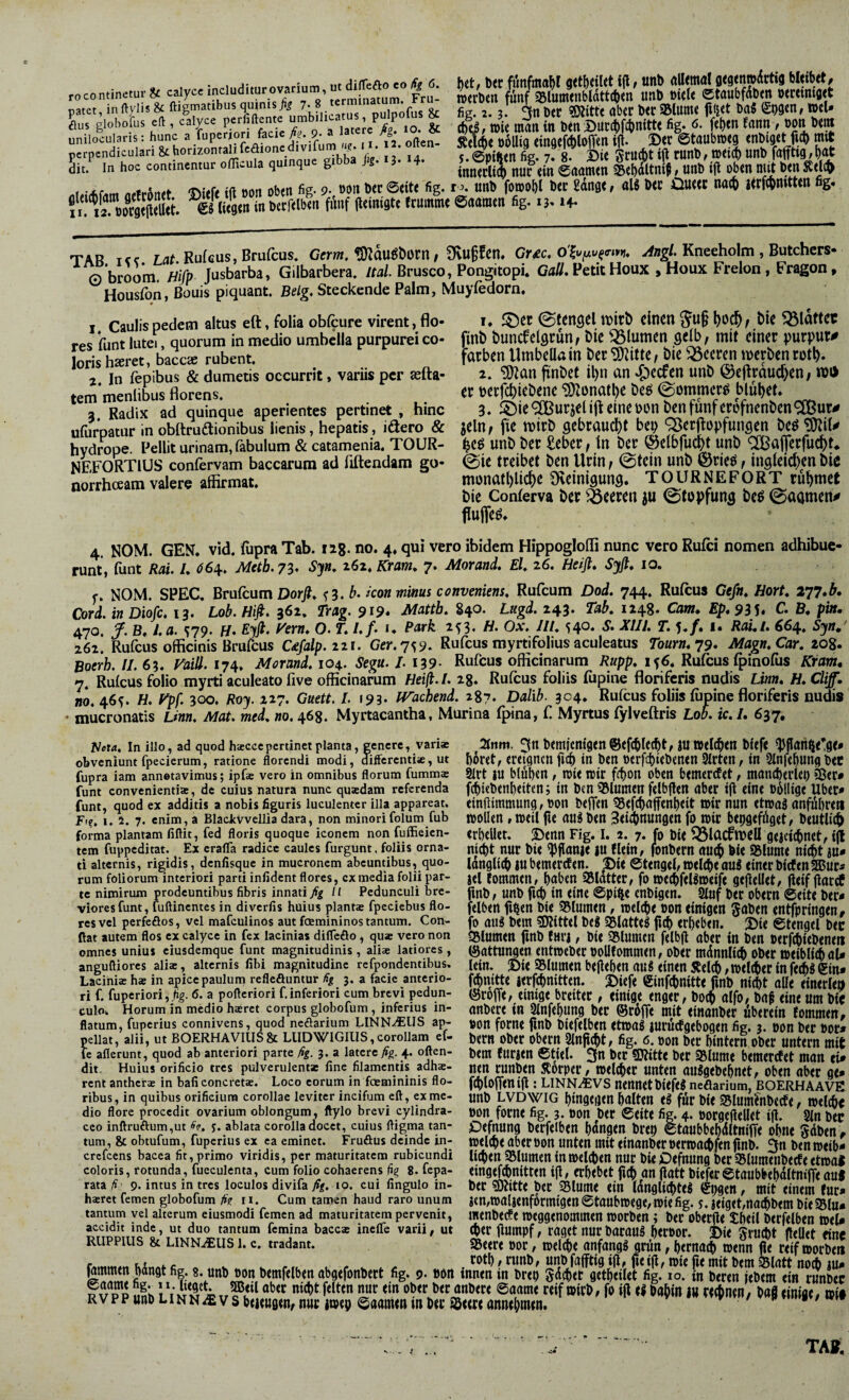 natet in ftvlis & ftigmatibus quinis 7-8 terminatum. Fr^ Ius globofus eft , cilyce perMente “plicatus pulpofu & unilocularis: hunc a fupertori facie 9. a la«rc ß . o. Ä w..4. f)ct, b<r funfma^r «(tbeiUt i|l, tinb dllemal gegmwiSctig bl<ibet, »erben fünf ^lumenbldtteben unb ntele 0tnubfdben oecetniget fig. 2.3. 3cnber 0litte aber ber asiume fi^et ba« et)a«n, wel* (i)ej, »ie man tn ben iDur^lf^nitte fig. 0. fe^en fann t ®bn bei« S^elcbe boUig einaefcbloffen i% Der ©taubmeg enbigetjeb mit s. ©pifcen fig. 7. 8. Die SruAt t|l runb, mip unb fafftig, t)^ innerlt^ nur ein 0aamen SebaltniJ, unb ifl oben mit ben SSelct> ro. unb fomobl ber £dnge, aU ber Oueee naeb ierfebmtten fig. ©aamen fig. 13.14- TAR Tcc Lflf Rufeus, Brufeus. Gem, ^au6t}0Vn, Gue, ^Bg/. Kneeholm , Butchers- o'broom. Hifp Jusbarba, Gilbarbera. /fn/. Brusco, Pongitopi. G«//. Petit Houx , Houx Frelon, Fragon, * Housfbn, Bouis piquant. Belg, Steckende Palm, Mayfedorn, 1. Caulis pedem altus eft, folia obfcure virent, flo¬ res funt lutei, quorum in medio umbella purpurei co¬ loris haeret, baccae rubent. 2. In fepibus & dumetis occurrit, variis per asfta- tem mentibus florens. 3. Radix ad quinque aperientes pertinet , hinc ufurpatur in obftrudtionibus lienis, hepatis, iäero & hydrope. Pellit urinam, fabulum & catamenia. TOUR- NF,FORTIUS confervam baccarum ad fiftendam go¬ norrhoeam valere affirmat. 1. 555ec ©tengel ivirb einen ^u§ bie ^idttec flnb buncfeldcun^ Die flumen getb, mit einer purpur# färben Umbella in ber ^itte, bie feeren merben rotb. 2. finbef il)n an .£)ecfen unb @cflrdud)en / n)i> er pctfcbiebenc “iDlonatbe be^ ^ornmerö blutet. 3. i5)ie<2Burjel ifl eine pon ben fünf erefnenben<2Bur# jeln^ fie mirb gebrauebt bep Q^erflupfunsen beö?i)lii^ beö unb ber £eber, tn ber ©elbfucbt unb <2Bai]*erfucbt* 0ie treibet ben Urin f @tein unb ©rieö f ingieicben bic monatblicbe Ö^einigung. TO URNEFORT rühmet bie Conferva ber Leeren ju ©topfung beö 0aamen<» fluflfeö. 4. NOM. GEN. vid. fiipra Tab. lag. no. 4. qui vero ibidem Hippogloffi nunc vero Rufei nomen adhibue¬ runt, funt Rai. L <^64. Metb.yz* Syn, 262. Kram, 7. Morand, El 26. Heifl, Syß, 10. f. NOM. SPEC. Brufeum Dorß, ^ 3. ü. kon minus conveniens, Rufeum Dod. 744. Rufeus Gefn, Hort, 277.^. Cord, in Diofe, 13. Lob. Hiß, 362, Trag. 9^9* Mattb, 840. Lugd. 243. Tab, 124g. Cam, Ep, 935* f* B« püt- 470. y. B, I, a. ^79. Eyß. yern, O. T, I,f, u Park 2^. Ox, JIL 54°« S, XIII. T. 5./. i. Rali. 664. Syn, 262. Rufeus officinis Brufeus C£falp.iii. Ger.'js^. Rufeus myrtifolius aculeatus Tourn,i9. Magn.Car, 208. Boerb. II. 63. mll. 174» Morand. 104.. Segu. /. 139- Rufeus officinarum Rupp, 156. Rufeus fpinofus Kram, 7. Rufeus folio myrti aculeato five officinarum Heiß.I. 28. Rufeus foliis fupine floriferis nudis Linn, H.Clig. no. 46^. H, ypf. 300. Roy. 227. Gaett. L 193. Krachend. 287. Dalib- 304. Rufeus foliis fupine floriferis nudis • mucronatis Linn. Mat, med, no. 468. Myrtacantha, Murina fpina, f Myrtus fylveftris Lok ic. /. 637. TIeta, In illo, ad quod haecccpertinet planta, genere, vari* 2(nm. btmicnfgm ©tfcflle^t^ iUWcl^tn bftfc ^flarit|<!g(* obveniunt fpecierum, ratione florendi modi, differenti*, ut f)or«t, CtCignCtt flCp in Den tttrfcbttbmtn 3Irtcn, tn 2fnfcpUng t)<t fupra iam annatavimus; ipf* vero in omnibus florum fumm* 2lrt |U blupcn , »i< »it fcpon Obcn btmercEet, mand)trlep funt convenientia, de cuius natura nunc quadam referenda f^tebenbcthn; tn Den QJluntcn fdbfltn aber i|l eine Dollige Uber* funt, quod ex additis a nobis figuris luculenter illa appareat, einflimmung, tton beflen 58efcbaffenl)eit »ir nun et»a3 anfübren Ff?, 1.2.7. enim, a Biackvveiiia dara, non minorifolum fub »oUeti»»eil fle au3 t>en 3<ia>nungen fo »ir bepgefüget/ beutliib forma plantam fiftit, fed floris quoque iconem non fufficien- erbeUet. Denn Fig. I. 2. 7. fo Die 53lacfmeU geaci(f)net, tfl tem fuppeditat. Ex erafla radice caules furgunt. foliis orna- nii)t nur bie ^flanie iu flein, fonbem au(b We SBlume nicht au* ti alternis, rigidis, denfisque in mucronem abeuntibus, quo- (anglicf) au beiuercfen. ^te ©tengel, »el^ie au^ einer bicfen SEur* rum foliorum interiori parti infident flores, cxmedia folii par- ael tommen, haben iSlatter, fo »e^fefo»eife gesellet, fleifjlarcf Ck.*.'.. f I Pedunculi bre- 4«4*k 4** aS—,* i» -fi.. 4- ... te nimirum prodeuntibus fibris innati fig /1 Pedunculi bre- fmb, unb fich in eine ©pifte cnbigen. 5luf bec obem ©eite ber* vioresfunt, fuftinentes in diyerfis huius piant* fpeciebus flo- fefotn fi^en bie SSlumen, »elche »OH einigen 5aben entfpringett/ res vel perfcöos, vel mafculinos aut fcemininos tantum. Con¬ flat autem flos ex calyce in fex lacinias difleflo, qu* vero non omnes unius eiusdemque funt magnitudinis , ali* latiores , anguftiorcs ali*, alternis libi magnitudine rcfpondentibus V * . . - I. 2 .... _ 2 A —A A k«Y ■ m M A 43 A 4M 44« M M A A A Xm A , A A 44 ^ A«% 4 A _ fo aug bem gjlittel beS 95Iatte^ fich erheben. ' Die ©tengef bec CSlumen finb fara, bie Slumen felbjl aber in ben Perfchtebene« (Gattungen ent»eber uoUfommen, ober mdnnlich ober »eiblich al* lein. Die SSIumen bejlehen au« einen Reich ,»el^er in fe*« gin* fchmtte aerfchnitten. Diefe (ginfchnitte finb nicht alle einerlei Lacini* h* in apice pauluni reflefluntur ßg 3. a facie anterio- f^nitte ri f. fuperiori ,ßg. 6. a pofleriori f, inferiori cum brevi pedun- (griffe, einige breiter, «inige engef/boc$ aifo, baMne'ümbfo culo. Horum in medio h*rct corpus globofum, inferius m- anbere in 31nfehung ber ©rhfle mit einanber uberein fommen, flatum, fuperius connivens, quod ncöarium LiNN.«us ap- #on fome finb biefelben <t»a« aurucfgebogen fig. 3. pon ber Por* pellat, alii, ut BOERHAVIUS& LiiDWiGius,corollam ei- D?rn Ober obem 3lnji(ht, fig. 6. »on ber hintern ober untern mit ic aflerunt, quod ab anteriori parte fig. 3. a latere fig. 4. offen- jxni furaen ©tief 3n bcr TOte ber S^lume bemercfet man ei* dit. Huius orificio tres pulverulenta fine filamentis adh*. nen runben Sorper / »eldher Unten auSgebehnet, oben aber ge» rent anthef* in bafi concret*. Loco corum in foetnininis flo- fi^foflenifl: LINN.^VS nennetbtefe« ncöarium, BOERHAAVE ribus, in quibus orificium corollae leviter incifum eft, ex me- unb LVDWIG hingegen halten e« für bie SlUmfnbecte »elchc dio flore procedit ovarium oblongum, ftylo brevi cylindra- »on fome fig. 3. Pon ber ©eite fig. 4. porgejlellet ijl. 9in bec cco inftru0um,ut -ff. y. ablata corolla docet, cuius fligma tan- jDefnung berfeiben hdngen brep ©taubbehdltnifle ohne gäben# tum, & obtufum, fuperius ex ea eminet. Fruöus deinde in- aberpon Unten mit einanberpermachfenfinb. 3n ben»eib* crcicens bacca fit, primo viridis, per maturitatem rubicundi Ucheu iBlumeu in »elchen nur bie Öefnung ber Slumeiibecfe et»at coloris, rotunda, fuecuienta, cum folio cohaerens fig 8. fepa- eingefchnitteu i|l, erhebet fich an flatt biefer ©taubbehdltnilTe aul rata ß- 9. intus in tres loculos divifayf;. 10. cui finguio in- ber «Dlitte ber SSlume ein Idugli^te« gpgen, mit einem fur* h*rct femen globofum ßg n. Cum tamen haud raro unum ien,»aUenform{gen©taub»ege,»iefig. s. leigeLuaihbem bieSSlu* tantum vel alterum eiusmodi femen ad maturitatem pervenit, menbecfe »eggenominen »orbeu; ber oberfte theil berfeiben »el* accidit inde, ut duo tantum femina bacc* inefie varii, ut Cher flumpf, raget nur baraU« httPOr. Die RrUCbt ftellet fine RIIPPIIIS & LiNNiEus 1. C. tradant. g5eere Por, »tlcht anfang« grün, hernach »enn pe reif »orbe» c « V „ r,u u <• v ^ foth,ruub, uubfafftigtp, ptip,»itfw»itbt»Sfott tto* IU» fommen hdngt fig. g. unb Pon bemfelben abgefonbert fig. 9. Pon innen in brep Sdehet getheilet fig. 10. in beren iebem ein runbec RvTp uli> linn*'**f''*' »*«.<>«“'>«< ®««»w niff» ifl tlDa^iniii «(tnw, OaJnnij«, ni« RVPPunbLiNN^vsbtieugen? nur iwep ©aameninbec ®«<r«annehmen.