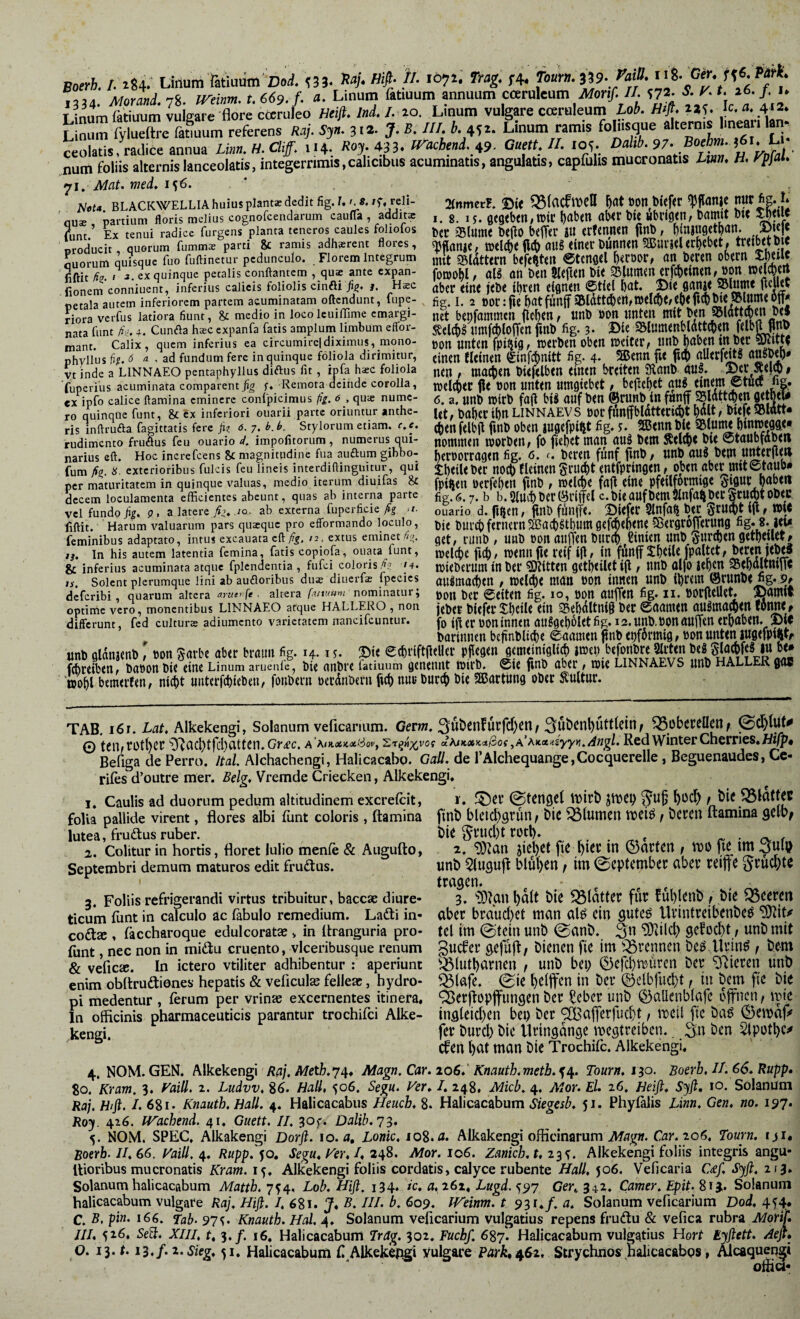 >4 Boerh. /. rU. Ortum Hifi- p. ib^ü Trag. f4. f»™' « n*- T ;nnm fätiuuin vukai'e flore cceruleo Heiß. Inl I. lo. Ltnum vulgare coeruleum Lob. mß, ^^S. je. a. 412* LmIfyuXtfrmrefererts «.4.554.3.2. J.E.m b.a,a. Ortum rami. fomsque l'“»'!]- celtis, raclice annua Xi««. H. Cüff. 114. Roj. 433. frachenl ^9- Guett. II. 10^. num foliis alternis lanceolatis, integerrimis,calicibus acuminatis, angulatis, capfulis mucronatis Linn. H. rpfaL Mat. med. 1^6. ' . Nfli« BLACKWELLIA huius piant« dedit fig. 7. “iinrtxttl, ÖOH bUftt ^flönje nUt hg. J* ou« partium floris melius cognofeendarum caufla , addit« i. g. i J. ÖC9«btn,»iC {)aben fllXt bu «btifltn, Damit Dlt funt ’ Ex tenui radice furgens planta teneros caules foliofos Jit crfcntiett flllb, b n Broducit, quorum fumm« parti & ramis adhsrent flores, tDCl^e flcb Dur|rt«H 9EumUr()eb(t. tmbetD C Lorum quisque fuo fuftinetur pedunculo. Florem Integrum bffeljteil ®tcnö<l atl Dmn obcttl Xbmt ^ ^ --- rnnftanrem . Oli« ante exoan- foo)ohl, öB dtl Dell SlCftttt l»i< ^lUlttCn Crfl^lfllWl/ DOtt iDUCOtlt aber eine jebe tbreit eignen 0tiel bat. .pit flanje Sinnt« tieU«t fie. 1.2 t)or:fiebatfunff^latt^ert,t»el^e/ebefi4)^t«®lUiiit®ff* net bebfammen «nb »on unten mit ben ^elcbS nmfcblolTen fmb fig. 3 • Bie Slumenbldttcben mant. Calix, quem inferius ea circumircldiximus, mono- ßon Unten fpitjig, IDCtben Oben IDeitet, Oabeit tttbet phyllus fifi. 6 /I . zA fundum fere in quinque foliola dirimitur, {{{{nen ^infcbnitt fig. 4* 5Benn fie fitp allerfe^o aU8b^* vt inde a LiNNAEO pentaphyiius diftus fit, ipfa ha;c foliola ^en , raad[)en biefelben einen breiten 9ianb auf Bec ^ew 1 ■fuperius acuminata comparentßg f. Remota deinde corolla, ipel^eC fle DOU UUten Umgiebet , aUf «netU 0tUCr «g. «X ipfo calice flamina eminere conEpicimus ßg. <5 , qu« numc- <5^ g. UUb tOitb fa|i bi8 aUf ben ®rilnb in funff ro quinque funt, & ex inferiori ouarii parte oriuntur anthe- habet ibn LINNAEVS OOCfimffblatteW bajt/ bUfe SBWtt« ris inflruäa fagittatis fere ji? <5. 7. Stylorum etiam, r.f. (benfelbjl futb Oben JUflefpitit fig. 5. SBennbU rudimento fruöus feu ouario X impolitorum, numerus qui- nomtnen wotben, fo fiebet mati au8 bem S5el^< bie ©taubfobetl narius efl. Hoc increfeens 8c magnitudine fua auftum gibbo- beroortagen fig. ö. r. beten futtf fittb/ unb au8 bem U^etjietl fum ßg. is. exterioribus fulcis feu lineis interdiflinguitur, qui xbetUbet no(f) fleinengtiubt entfptingen, oben abet imt0taub» per maturitatem in quinque valuas, medio iterum diuifas & Perfcben finb , toelcbe fall eine pfeiljotmigc li'WC producit , quorum fumm« parti & ramis adhsrcnt flores ^ quisque fuo fuflinetur p riftit fig. I 2. ex quinque pecalis conflantem , qu« ante expan fionem conniuent, inferius calicis foliolis cinfti ji^. j. Haec petala autem inferiorem partem acuminatam oftendunt, fupe- riora verfus latiora fiunt, & medio in locoIcuiflime cmargi- nata funt fig. +. Cunfla haec expanfa fatis amplum limbum effor- niant. Calix, quem inferius ea circumircldiximus, mono- i.»vx »XiHfcV*» ***^---— —- -j—*-1 f decem loculamenta efficientes abeunt, quas ab interna parte vcl fundo fig. p. a latere ßg. 10. ab externa fuperficie ßg ‘i- fiftit. Harum valuarum pars qusque pro effbrmando loculo, feminibus adaptato, intus excauata cfl_/%, /2, extus eminet % ij. In his autem latentia femina, fatis copiofa, oiiata funt, & inferius acuminata atque fplendentia , fufei coloris '4. ts. Solent plerumque lini ab aufloribus du« diuerf« fpecies deferibi, quarum altera aruerfe. altera fanuum nominatur; optime vero, monentibus LINNAEO atque HALLERO , non differunt, fcd cultur« adiumento varietatem nancifeuntur. fig?6.7. b b. 9liicb ber (Siiff«! t>ie aufbcm »tifali bei’ Scuj^t ob«c ouario d. fi^en, flnb fiiniT«. Bi«f«r 5lnfa^ btc Sru^t Ifl t »U bie burcb fernem ®acb8tbumgcfcf)«b<n« 5ßergrofTemng get, mnb , unb dou anffen burcb Ctnten unb gurcbengetbeuetf -J(b«S »elcbc fid), iDennfie reif ifl, in -v—- ■ ;■ iDieberum in ber ?D?{tten getbeilet ijl, unb olfo lebcn 95(bo]tmfTc au8ma(ben , iDclcb« man üon innen unb ihrem ®runb« fig. p^ »DU ber Seiten fig. 10, pon aufftn fig. n. borflcuet. Bamit jeber bieferSbciU «in 25eb<lltni§ ber 0aam<n au8mato<n Wn«# fo ijl er Don innen anSgebotetfig. is.unb.PonaujTen erhaben. Bw barinnen befinblidie tarnen flnb epförmig, öon unten lugefpiwf unb gldnjenb, Don §arbe aber braun fig. 14.15. Bie ecbriftfleller P.^en gemeiniglij {Vr iLb febreiben, baöonbie eine Linum aruenfe, bie anbre fatiuum genennt mirb. 0te finb aber, mie linnaevs unb HALLER goB ’ttobl bemerfen, nicht unterfchieben, fonbern oerdnDern fich nur burch bie 3ßartung ober Ämtur. TAB. i6r. Xaf. Alkekengi, Solanum veficarium. Gerw. Spbcnhuttletri/ ^obereücrt; @Cl)lUt^ © t«n/rotl)cr ^cicl)tfcl)eitten. Gr^c. a Aoiasitrttc^ot', 2T^«;i^vof a^jKXKaßot ^a’^ttetniyyyi.jingl. Red Winter ehernes. M/p# Befiga de Perro. Ital. Alchachengi, Halicacabo. Gail, de rAlchequange,CocquerelIe, Beguenaudes, Cc- rifes d’outre mer. Belg. Vremde Criecken, Alkekengi. 1. Gaulis ad duorum pedum altitudinem exerefeit, folia pallide virent, flores albi funt coloris , ftamina lutea, fruäus ruber. 2. Colitur in hortis, floret lulio menfe & Augufto, Septembri demum maturos edit fruftus. 3. Foliis refrigerandi virtus tribuitur, baccac diure¬ ticum funt in calculo ac fabulo remedium. Lafti in- coäx , faccharoque edulcoratas > in Itranguria pro- funt, nec non in midiu cruento, vlceribusque renum & veficx. In ictero vtiliter adhibentur : aperiunt enim obllruftiones hepatis & veficuls felleae, hydro¬ pi medentur , ferum per vrinae excernentes itinera. In officinis pharmaceuticis parantur trochifei Alke¬ kengi. 1'. ©tengel i^irb jmep f l)i« finb blcichsPuii f bic flumen tfciö f beten flamina gelb^ bie reti). , . ^ , 2. SSSlan jiel)et fie hi« in nn unb Slugufl blühen, im 0eptembec abet reifte fruchte tragen. . . * , ^ 3. 'iOlgn halt bie 35iatter für fuhlenb f bie feeren aber braücl)et man alö ein guteö llrintreibenbeö tel im ©tein unb ©anb. 3n gefocht, unb mit guefer gefüft/ bienen fie im ^^rennen bc^ llrin^ ^ b^m ^lutharnen / unb bei) ©efehmüren ber ^'Jieren unb ^lafe. ©ie heiffen in ber ®clbfiid)t f in bem fie bie ^erftopffungen ber ^eber unb ©allenblafe ofnen/ iiM'e ingleid)en bep ber <2Baflerfud)t, meil fie baö ©emaft^ fer burd) bie Uringdnge megtreiben.. 3m ben ^pothc;' efen hnt man bie Trochifc. Alkekengi. 4. NOM. GEN. Alkekengi Raj. Alagn. Car. io6.‘ Knauth.metb.^^. Tourn. i^o. Boerb, II. 66. Rupp, 80. Kram. 3. Kaill. 2. Ludvv, 8^. 506. Sega. Ver. I. 248, Mich. 4. Mor. El. 26. fjeifl. Sjft, 10. Solanum Raj. Hiß. /.681. Knautb, Hall. 4. Halicacabus Heueb. 8. Halicacabum Siegesb. 51. Phyfalis Linn, Gen, no. 197. J?oy. 426. IVacbend. 41, Guett. II. 30f. Dalib.'j^. 5. NOM. SPEC, Alkakengi Dorfl. lo. a, Lonic.io%.a. Alkakengi officinarum Car. 206, Tourn, lyi« ßoerb. II. 66. Vaill. 4. Rupp.'^o, Segu, Ker, I, 248. Mor. iq6. Zanicb, «,23^. Alkekengi foliis integris angu- llioribus mucronatis Kram. 15, Alkekengi foliis cordatis, calyce rubente Hall, 506. Veficaria C£f, Sjfl. 113, Solanum halicacabum Mattb. 7^4, Lob, Hiß, 134. /c. a, 261, Lugd. 597 Ger, 342. Camer. Epit. 813.. Solanum halicacabum vulgare Raj, Hiß. I, 681. J. B. III. b. 609, Weinm. t 931./. a. Solanum veficarium T>od, 454. C. B, pin. 166. Tab. 97^. Knautb. Hal. 4. Solanum veficarium vulgatius repens frudtu & vefica rubra A/orij. III, 526, Se5. XIII, t, 3./. 16. Halicacabum Träg. 302, Fuebf. 687. Halicacabum vulgatius Hort E^ßett. Aeß* O. ij.t. i3,f.2.sieg, 51. Halicacabum f Alkekepgi Vulgare Parh^Gi, Strychnds nalicacabps, Alcaqugjji