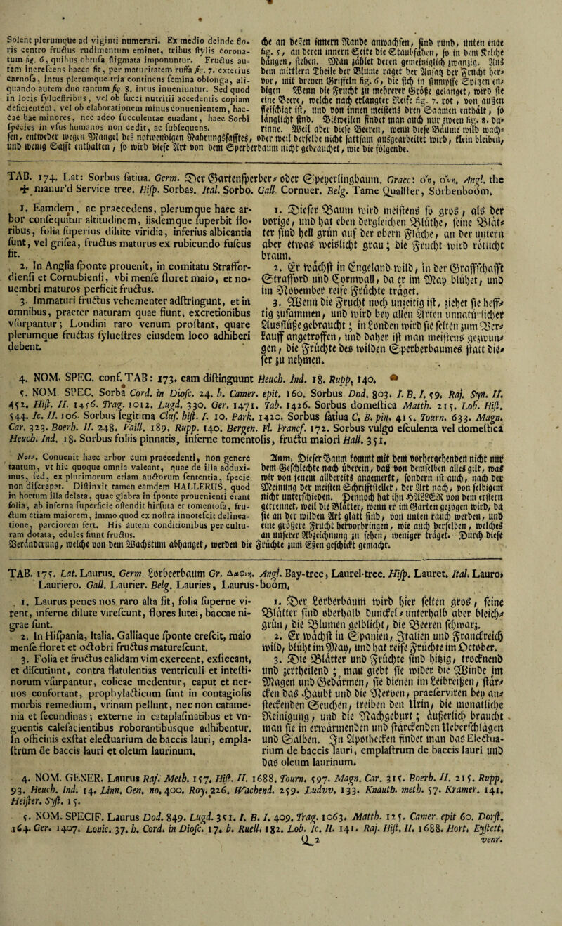 Solent plcrumqliö ad viginti nümeräri. Ex medio dcindc flo* ris centro frucTiis rudimentum eminet, tribus flylis corona^- tum 6, quibüs obtiifa fligmata imponuntur. Fruflus au¬ tem incrcfcens bacca fit, per maturitatem ruifa fi?. 7. exterius iarnofa, intus plerumque tria continens femina oblonga, ali¬ quando autem duo tantum fis. 8. intus inucniuntur. Sed quod ($< an bcficn fnntrtt MDc anipac^fen^ Jitii) riint)> tintcn mae fig. T, aii bcrcn inncrn edt« t>t( etaubfabm, fo in baii Stcld)« Wngcn, |l(f)(n. g)Jan jaftlct tcrm gtintlniglicl) jrcnnsig. 2lu3 Dem mittlern 2;{)Ci(e Der iBlume raget Der Slufalj Der »or, mit Drenen IMrtlfctn fig. Dic fi(& in tlumpife Spillen en« Digen Senn Die gruetit ju mehrerer ©rofle gelanget ^ rotrD fie in locis fyluefiribus, vel ob fucci nutritii accedentis copiam eine S^ecte, tpel^e na^ erlangtet JKeife fig- 7. rot, »on au§e:t deficientem, vel ob elaborationem minusConuenientem, baC- fleifd[)igt ijt^ tWD POn innen meifleng Dren''©aamen entbdlt t fo Cae bae minores, nec adeo fucculentac euadant, haec Sorbi idnglicflt fInD. ^igrceilen finDet man aüd[) lUU’ JlPeen fig. 8. Da* tpecies in vius humanos non cedit, ac fubfequens. tinne. 2Btil aber Diefe SBeeren, tpenn Diefe iSdilnte anID mnei)* fen, entiPtDer megen ?0?angel Dc^ notmenDigen Sfiabrunggfafftel, oDer meil Derfelbe nicht fattfam aiiggcarbeitet »PirD» flein bleibert/ «nD tbcnig ©attt enthalten, fo miiD Diefe 2lrt bon Dem eperberbaum nicht gebrauchet, wie Die fölgenDe. TAB. 174. Lat: Sorbus ßtiua. Germ. ^artrnfpcrbcr?über 0pci;crIinöbaiim. nmc\ /inglihc + nianur’d Service tree. f-lifp. Sorbas. Jtal. Sorbo. Call. Cornuer. Belg. Tarne Qualliei^ SOrbenbobm. I. Earndem, ac praecedens, plerumque haec ar- i. ^^icfcr ^aum iDirb mcljtrn^ fü flrüö , a(ö ber bor confequitur aitiiudinem, iisdemque fuperbit Bo- DüVifiC, imb l)at eben betöfeicben SBtütl)e, jcinc Ö5fcit^ ribus, fülia fuperius diliite viridia, inferius albicantia (er finb l)CÜ ßrun (luf ber übern ^lad)C/ an bet untent funt, vel grifea, frudtus maturus ex rubicundo fufeus aber etiua^ iveiglic^t grau; bic grud}t ivirb tütlld)t fit- . braun. , 2. In Anglia fponte prouenit, in comitatu Straffbr- 2. (gr lll ^Ugelanb lttlb, in ber ©rafffd)af( dienfi et Cornubienli, vbi menfe floret maio, et no- (gtraffürb unb €ürnmall, ba er im ‘S^ap blül)et, unb uembri maturos perficit fruäus. im ?)'Jüüember reife ^rud)tc traget. 3. Immaturi frudus vehementer adftringunt, et iit 3. <^entt bie i^rud)t nüd> unjcitic! Ijf, jiclfet fie omnibus, praeter naturam quae fiunt, exeretionibus (ig jufammcn, unb mirb bei) allen ärtcu unnatiVlldicr vfurpantur; Londini raro venum proftant, quare §luigffö§CöcbraUd)t; Iti^ünbenmirb fie feiten plerumque frudus fylueltres eiusdem loco adhiberi fauf angetrofen, unb bafier ifl man meiftenei aeqimn^ debent. gen, bie ^rüd)ie be5 milben ©perberbaumcö ^att bie^ fer ju nel)mert. 4. NOM. SPEC. conf.TABi 173. eam diftinguünt tiiuch. InL i8. Mö* • 5. NOM. SPEC. Sorba Cord, in Diofe. 24* />. Camer* epit. 160. Sorbus Dod, 803» I.B.I. ^9, Paj. Syn. //. 452. Hift. 11. i4f^- Trag. 1012. Lugd. 330. Ger. 1471. lab. 1426. Sorbüs domeltica Matth. 2i<y. Lob. Hiß,. 544- II. 106. Sorbus legitima Cl'uf. hifl. I. 10. Park. 1420. Sorbüs fatiua C, B.pin. 41 s. Tourn. 633. Magn* Car. 323. Boerh. II. 248. Laill. 189. Rupp. 140. Betgen. Fl. Fran^. 172. Sorbus vulgo efculenta vel domeltica Heueb. Ind. 18. Sorbus foÜis pinnatis, inferne tomentofisj frudu maiöri Hall. 351, Nott>. Conuenit haec arhor Cum praecedenti^ ftöii geliere 2(rtm. SDiefct^attttt fPlttlitt Ötit Deitt Dört)Crgch<nbett tlicht tltij? tantum, vt hic quoque omnia valeant.» quae de illa adduxi^ Deitt ©efchUchte nach Übei'tln, haß DOn hemfclbcn alkggtit, ma^ mus, ^d, ex plurimorum etiam auftorum fententia, fpecie tptt Pon jeneitt allbcteitS augemetft, fonDcrtt i|t auch, nach Det non diferepat. Diftinxit tamen eamdem HALLERiiS, quod sD^ctnilng Det itteifien ©chrifftliellet, Dcr 2lrt nach/ pon felbigeirt in hortum illa delata, quae glabra in fponte prouenienti erant nicht ItntetfchieDert. DennOct) hat ihtt Jp^lSßSill POn Dem erliettt folia, ab inferna fuperficie oftendit hirfuta et tomentofa, fru- gettennet, ipeil Die 35ldttet^ tPenn et tm(harten gcjpgen tpirD, Det öum etiam maiorem, immo quod ex noftra innotefeit delinea- fU an Dct tPilDen Sitt glatt flUD/ Port tillten rauch.merDen, Unö tione, parciorem fert. His autem Conditionibus per cultu- eine gi’o§ece jnlcht hetPotbtingcn, tpie auch Dcrfclbcn, roelcheS ram dotata, edules fiunt frudns. ati nnfetet Slbjci^nimg lll fehen^ tpeniger traget» Dieft 58etdnDcrung, welche oon DemSßach^tum abhanget, »erDert Die gnichte lum (gßen gefchictt gemacht» TAB. »7^. Lat. Laurus. Germ. Sötbccrbaum Gr. /ittgl Bay-tree» Läurel-trce. Hifp. Lauret, itaU Lauro* Lauriero. GaÄ. Laurier. Lauries, Laurüs-boom, 1. Laurus penes nos raro alta fit, folia fiiperne vi- i* ^et £ovbtrbaiint tt)irb l)ier fcften QtQß / fein^ rent, inferne dilute virefeunt, florcs lutei, baccaeni* ^Sldttet finb oberhalb bumfcL unterhalb aber bleich^ grae funt. ^ ^tört t bie flumen gelblicht, bie feeren fchiuarj. 2. ln Hifpania, Italia, Galliaque fponte crefeit, maio 2. Sr üjachft in ^paniert/unb f^^^anefreidh menfe floret et odobri frudus maturefeunt. it)ilb/ blul)t iui ^DZapf Unb hat reife ^ruchtt itU Oetüber* 3. Folia et frudus calidam vimexercent, exficcant, 3. ii^ie glatter Unb ^t’UChte finb hifeiße troefnenb et difeutiunt, contra flatulentias ventriculi et intefti* Unb jertheilenb 3 UiCWl ötrbt fie luiber Die ‘SBinbe im norum vfurpantur, colicae medentur, caput et ner- ?0?agert unb©ebdrmen; fie bienen im£eibtei^en/ ftdr^ uos confortant, prophyladicum funt in contagiofis efen baö .^äubt Unb bie Rethen / praeferyiren bei) morbis remedium, vrinam pellunt, nec non catame- ftecfcnbert @euchrn/ treiben ben Urin/ bie monatIid)e nia et fecundinas; externe in cataplafmatibus et vn- Dveinigung / unb bie Nachgeburt; äußerlich braucht . guentis calefacientibus roborantibusque adhibentur, tuan fie in ermdtmenben urtb fldrcfenbcn Ueberfchlagen ln officinis exftat eleduarium debaccis lauri, empla- unb ©alben. 5ipüthecfen finbet man ba^Eiedua- llrüm de baccis lauri oleum laurinum, rium de baccis lauri, empladrum de baccis lauri uilö bai> oleum laurinum. 4. NOM. GENER. Lauru* Raf. Metb. 1^7, Hiß. II. 1688. Tourn. ^97. Magn. Car. 3i<. Boerb. II. 215. Rupp^ 93, Heuch. Ind. 14, Linn, Gen. no./^oo. Roy, 216. IVachend. 259. Ludvv, 133. Knautb. metb. 57. Kramer. 141, Heißer. Syß. 15. y. NOM. SPECIF. Laurus Dod. 849. Lugd. I, B* I. 409, Trag. 1063. Matth. 125. Camer. epit 60. Dorfl. 164. Ger. 1407. Louic, 37. h. Cord, in Diofe. 17* b. RuelL 182» Lob. Ic. 11. 141. Raj. Hiß. II. 1688* Hort, Eyßett. ^2 venr.