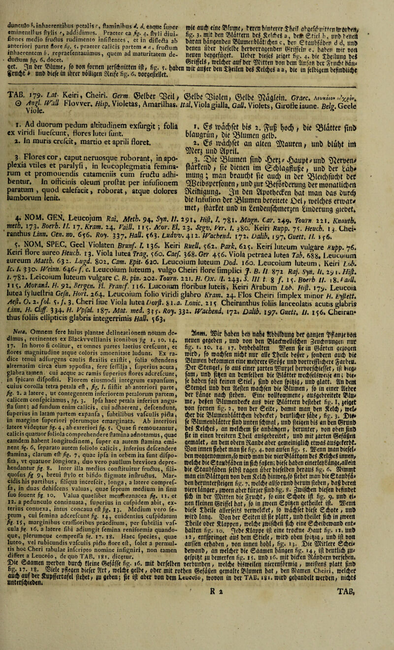 duncnlo h, inhaerentibus petalis r, flaminibus d, d. eaquc funer «minentil'US flylis r, addidimus. Praeter ea ßg. flyü iiui- ßones medio fruflus rudimento infiflentes, et in diflefta ab anteriori parte flore de. t. praeter calicis partem <* a, fruflum inhaerentem 6, repraefentauimus, quem ad maturitatem dc- duöum ßg, 6. doceti set. 3n'l>tr S5(«me, fo öon fortan jerfebnittm tjl, fig. j. haben ^ unb btefe in ibree »olligtn 9veife fig^ 6» öocg<flell«t »j« (lücb «t'tic bretn hinterer jhet'f ohgefif'tn'ftenrn'iörhe«^ fig. 3. m/t ben iSldttern be§ ^efrheg a, belü etief b, tinb bettert brtrrtti hangenben QSlumenbldtfcben c, ben etoubfdbtn d d, tmb benen über biefelbe herücrrngenben ISjritTelne. haben mir üort neuen beiigefdget. lieber btefeg jefget fig* 4. bie thctlung be« ©riffeB, mcl(her auf ber Bitten »on bem 3infaR bcc ;?rnd)tbdtu mir öufer beu2:b<ilrtt be^ Äeieb«^ aa» bie in felbigem beftnbiiebe TAß. 179. Lat‘ Keiri. Cheiri. Gern ®clber /^eil^ (Selbe Violen, (Selbe ^Ra^lein. CMec. Afonaio* ^ \iok ^ VioletäS, Amarilhas* Viola gialla, Gail, Violets, Girofleiaune. Bdg, Geele 1, Ad duorum pedum altitudinem exlurgit; folia I. 6« tuäcftfet bis i. ^ug god), bie aiättet jtn» cx viridi Iiuefcunt, flores lutei funt* blaugruil, bie ^lumcn gelb. 2. In muriscrefcit, martio et aprili floret. 2. iDacbfct an alten ^Qüfen» ünb blüht ittt , ^teri ünb 5lprlU 3 .Florescor, Caputneruosque roborant, mapo- ^3. 5^ie ^Blumen finb |)eri^^aupt^unb S^erben^ piexia Vtiles et paralyfi, in leucoplegmatia femina* flarfcnb ^ fie bienen im (gcblagflu^e unb ber tdh^ rum et promonendis catameniis cum fruäu adhi- müng; man braucht fie aucl) m bet ^le»cl)rud)t beC bentur. In omcinis oleum proftat per infufionem *2Beib5perronen^ unb^ur ^efütberung bermünatlicbert paratum , quod calefacit > roborat, atque dolores OveiUigung» ben Slputhecfen l)at man bas burtb lumboi-um lenita t»ie Infulion ber “iBlumen bereitete Öel > melcbeö ermar# met^ jtdrfet unb in tenbenfehmerjen tinberung gicbet» 4, NOM. GEN* Leücojnm kau Meth. 94. Syrl, //.29t* Hiß, /. 78!» Mägn, CaY, 249* Tourn 221. Knauth, meth, 173, BoeYo. 11. 17, Kram, 24. Vaiü. 11 Afor. El, 23* Segv, E'er. 1, 380. Keiri Rapp. js. Heuch. 13. Chei* ranthus Um, Gen. wo. 656. R07. 337. Hall. ^6j. Ladvv, 412. tflacbend, 172* üalib, 197* Guett, IJ. if 6. Violaten BYunf. 1,136* Keiri RtieÜ, ^62. Park,6x^, Keiri luteüm vulgäre Happ.'76, Kein flore mvQO Heuch. 13. Viola lutea Jrag, 560. Caef. iSS.GeY 456* Viola petraea lutea Täb. 688* Leucoium aureum Matth. 63z. Lugd. 802, Cam. Epit> 620. Leucoium luteum Dod. I60. Leucoium luteum, Keiri Loh. Ic. I, 330. IVeinn. 646./. c. Leucoium luteum, vulgo Cheiri Höre fimpiiei f. B, It 872 Raj. Syn. //. 19 t. Hifi, 1.782. Leicoium luteum vulgare C B. pin. 202. Tourn. 221. H. Ox. //* 143. S. Ul t. % f. i Boerb 11. i %.taill, 115.. Morand, H. 9^, Bergen. Fl. Franc/. 116. Lucoium flöribu» luteis, Keiri Arabum Lt>b. Htfi. 179* Leucoia lutea lylueflria Ge/n, Hort. 264. Leucoium folio Viridi glabro Kram, 24. Flos Cheiri Iimplex minor H. Eyfiett, Aefi, 0, i.fol. f, 3, Cheri liue Viola \\x\e2iDorfi. 8i.w. Lonic. 2t^ Cheiranthus foliis lanceolatis acutis glabris Linn, H, Chff.fiH. rpfal. 187. Mät. med, 3?f. Roy, 332. fTaebetid, 172* Dalib. 197* Guett, II. 1^6. Gheiran* thus fohis ellipticis glabris integerrimis flfl//* 563, Nom. Omnem fere hlilus plantae delincatiöncib nöüam de- jfrtirt. fffitr j)ab«t hU) höhe ShbirbUtig Ut gählcn MdHIibblt dimus, retinentes ex Biackvveiiianis iconibus ßg i. lo. 14. tuueii gcgebm , ttitö »OH Dtn 95(acfm(Uif(t)en ^euthnungen nur 17. In hörte fi coheur, et omnes partes lactius crefeunt, et fig. i. 10. 14. 17. b<t)b«baltcn mmtl fie in ©dtten gcjogcit flores magnitudine atque coloris amoenitate ludunt. Ex ra- tpirb, fo aai^fen nicfet nut Olle SbetU beger , fonDcm ÖUCt) blt dicc tenui adiurgcns caulis flexilis exiftit, fqiia oftendens Slumen bjfommcn ctne Biet)«« ©rofc unb t)omtfflt(t)cfC S(jrb«n* aiternatim circä eum appofita, fere feflliia, fuperius acuta, ^er ©tcngel, fo aug einer jattenSBuriel berborfcbieiTet, ift biego flabra tamen_ cui aeque ac ramis fuperius flores adefefeunt, fam> unb fi<5en nn Demfelben bie ^Idtter »ecblel^aeiie «n; bie* in ipicarn diipofui. Florem ciusmodi integrum expanfum, fe höben fajl feinen etiet > finb Oben fpißig / UttD glött 9in bent culus corolla tetra petala eft, fig. j. fiiftit ab anteriori parte, Stengel ltnb ben sMetlen Wölfen bie Sllimen, fb in einer Slehre fig. 2. a latere, ut contegentem inferiorem petalorum partem, bet ?dnge nach jlchen. gtne BoUfommene > öulgebteitete 3^1«* caiKem coniRiciamus, ßg. 3. ipfa haec petala inferius arigu- me, befcn Sltimenbecfe öiil biet ^idttetn beflebet fig. I, «Iget ftaiunt; ad fundum emm calicis, cüi adhäereni, defeendunt, bbn fotnett fig. 2, bpn bct ©eite, bömit man ben Äelcf)> ö)eU lupcrius in latäm partem expanfa, fubtilibus vafeulis piöa, d)cr bie 35lümenbldttd)en beberfet, beutlitbet fdl)e, fig. 3* Dtp* in margine lupefiori plerumque emarginata. Ab interiori fe ?Bl«menbI(ittcr finb Unten fcbitiöl, unb fieigen big dtt ben ©tünb latere videptur pg. 4, ab exteriori ßg. $. Quac fi cemöueahtüf, beg Äelcbeg, öH melcbcm fu önhotigen, betuntet > bOtt Oben finb cahcis quatuor foliola comprehendere flamina adnotämüs, quae fie itt einen breitem Jbdl öUggebteitet, unb mit «arten ©efdßeii camdem häbent longitudinem, fuper ea autem flamina emi^ gemöUt, önbemobernÄönbeöber gemeinigli^ etttögatlgflcferbt. ncnt.,ff. 6, leparato autem folioio.calicis, inferius defccnderc ?8on innen fielet mön fie fig* 4. boti öufen fig* 5. ^enn mön biefel# ftamina, darum eft 7%. 7, quae ipfa in orbem ha funt difpo- benmeggenPmmen,fomirbmanbie oier^ldttgenbeg Jteldbeginnen^ mä, vt quatuor longiora, duo vero pauilum breviora depre- tbelcf)ebie©taabfdbtninfict)föfen;biefehöbeneirterlel)£dnge,alleirt hendantur fig. 8. Inter illa medius conftituitur fruöus, fili- bie ©tÖÜbfdben fclbjl mgcrt libcr biefclben hctötlg fig* 6. Slimmt quofus/% 9, breui ftylo et bifido ftigmate inftrurius. Mar*. möneinS5ldttgeiibonbemÄ(lcbhintbeg,fofichetmönbie©tönbfd* cidishispartibus, fiiiquä increfeit, longa, a latere compref- benherunter|Icigen fig.7,loel^eöllfottinbhctumfichcn,bö§bereit la, in duas dehifcens valuas, quae feptum medium in finu bieteIdrtger,«tteenöbettiirjerfiiibfig. 8* 3i»if^«tt bicfenbefinbet luo fouent ßg. IO. Valua quaelibet menfbranacea fig.^ 11. et fi^ in bCt 59Jitten bie Jm^t, foeilK 0(|ote ift fig. 9. ltnb e(* 12. a pedunculo continuata, fuperius in cufpidem abit, ex* nen fleinen©tiffelhati fb in «tbeen ©piljen getheilet tfl. 2Bettit tcrius conuexa, intus concauaeft^^. 13. Medium vero fc- biefe theile öllcrfeitg bertpelcfet, fö tOttChRtbtefe ©chote 1 nnö ptum, cui femina aderefeunt ßg. 14, euidentius cufpidatum mitb löttg* >^onbct ©eitenijifie plött, Unbtheilet fld)in «tpeert fig. IS, marginibus crafTioribus präeditum, per fubtiiia vaf- SheiU Ober klappen, toel^e «tptfdiefi fi(h eine ©^)eibetoanb ent* cula^?. 16. a latere fibi adiungit femina reniformia quando- hölten fig. 10. fSfebe klappe tfl eine trocfne J^flUt fig. n* UnD que, plerumque comprdfa ßg. 17. 18. Haec fuecies, quae i2, entfptinget ÖUg bfltt ©tiele, tPttb oben fpi^tg , unb ifl POtt luteo, vcl rubicundis vafeulis piöo flore eft, föiet a permul- auffftt erhöhen , Pon ittueti hohL fig‘ .©ie ?D?itlere ©thei* tis hoc Cheri tabulae inferipto nomine infigniri, non tarnen betBÖHb, ört tpelchct bie ©öömen hangen fig. 14, ifl bCUtlid) «U# mffert a Leucöio, de quo TAB. i8i. dic?tur. flefpiftt ju l'cmerfen fig. iS. Unb 16. mit bicfen ?Hdnbernberfehen» pie ©öömen merben burch Meine ©efdfle fig. 16. mit berfelben berhunben, ipelflie bigtpeilen nierenf6rmig, meifleng platt flnb Pfl<9«n biefer 9(rt, melche gelbe, ober mit rothen ©efdflen gemölte Blumen höt, ben Slamen cheiri, mel^icc öueb öuf ber Äupffertöfel flehet/ }u geben; fie ifl ober bon bem Lcucdo, mobon in ber tab* igi* wirb gehonbelt merben» niebtg tmterfebteben* R 1 TAß*