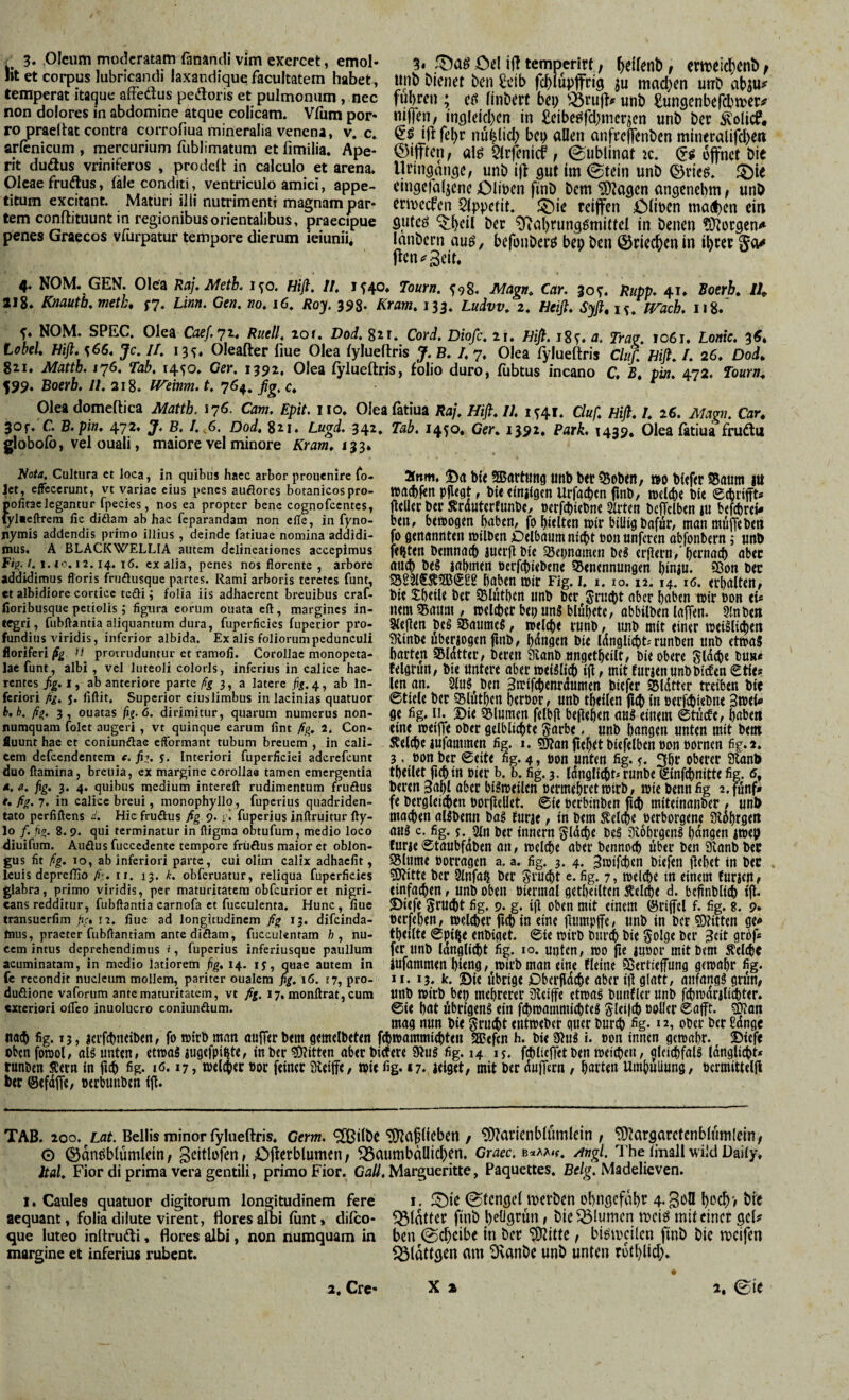 ' 3. Oleum moderatam fanandi vim exercet, emol¬ lit et corpus lubricandi laxandiquefacultatem habet, temperat itaque afFedus pedoris et pulmonum , ncc non dolores in abdomine atque colicam. Vlum por¬ ro praeitat contra corrofiua mineralia venena, v. c. arlenicum , mercurium fiiblimatum et limilia. Ape¬ rit dudus vriniferos , prodeit in calculo et arena. Oleae frudus, (ale conditi, ventriculo amici, appe¬ titum excitant. Maturi ilii nutrimenti magnam par¬ tem conftituunt in regionibus orientalibus, praec^ue penes Graecos vfiirpatur tempore dierum ieiunii. 5. öel in temperirf, Reflent), eweic^enb / unb Dienet Den £ctb fcDiupfirrig ju mad^en utrD ful)ren ; e(? (iiiDert bei; unD Sungenbefclwer# nijfen, inflleid)cn in £cibej5fd;mcr^en unD Der ^olicP, iji febr nü^lid; bep allen anfrcffenDcn minecalird)e« ©ijften, al^ Slrfenicf , (gublinat ic. öffnet Die Uringan^e^ unD ifl gut im 0tein unD ©ries, (öie eingefaljene Oliben finD Dem ^agen angenehm / unD ermeefen Slppetit. (^ie reiffen Clibcn madhen ein gutes “^bcil Der Nahrungsmittel in Denen ^orgen^^ lanDern aus, befüiiDers bep Den ©riechen in ihrer §a^ Oen^Seit. 4. NOM. GEN. Olea Raj^Metb. 1^0. Hifi, //, 1^40. Tourn. ^98. JMagn^ Car, 305’. Rupp, 41* Boerb» /4 218. Knautb,metL f?. Linn. Gen, no, 16. Ro'j. 398- Kram, 133. Ludvv, 2, Heiß, Syft, is, PTacL 118.' NOM. SPEC. Olea Caef.yi, Ruell, lof. Dod, gtr. Cord, Diofe, ir. Hifi. a. Trag, 1061. Lonie, 3^* tobel, mfi, s66. Je, II, 13^. Oleafter fiue Olea (ylueflris J. B, I, 7. Olea fylueftris Cluf, Hifi, I, 26, Dod, 82.1» Mattb, 176. Tab, 1450» 1392, Olea (ylueftris, folio duro, fubtus incano C, B, pin, 472. Tourn, 599. Boerb, II, 218. IVeinm. t, 764. fig, c, Olea domeftica Matth. 176. Cam, Epit. iio. Oleafatiua Raj, Hifi, II, 1^41. Cluf, Hifi, I, 26. Magn, Car, 30f. C, B,pin, 472« J» B, 1,^6. Dod, 821. Lugd, 342. Tab. 145*^* 1^91, Park, 1439. Olea fatiua frudu globolb, vel ouali, maiore vel minore Kram, 1^3, Nota. Cultura et loca, in quibus hacc arbor prouenire fo- jet, effecerunt, vt variae eius penes auöores botanicospro- pofitaelegantur fpecies, nos ea propter bene cognofccntcs, fylaeftrcm fic diäam ab hac feparandam non cfTe, in fyno- liymis addendis primo illius , deinde fatiuae nomina addidi¬ mus. A BLACKWELLIA autem delineationes accepimus F»g. /. 1. IO. 12.14. 16. cx alia, penes nos florente , arbore addidimus floris fruftusque partes. Rami arboris teretes funt, et albidiore cortice tcöi; folia iis adhaerent breuibus craf- fioribusque petiolis; figura eorum ouata eft, margines in¬ tegri, fubftantia aliquantum dura, fuperficies fupecior pro¬ fundius viridis, inferior albida. Ex alis foliorum pedunculi floriferiprotruduntur et ramofi. Corollae monopeta- lae funt, albi , vel luteoli coloris, inferius in calice hae¬ rentes ßg. I, ab anteriore parte ßg 3, a latere fig. 4, ab In¬ feriori fig. 5. fiflit. Superior cius limbus in lacinias quatuor b,h. fi%. 3, ouatas ßg. 6. dirimitur, quarum numerus non¬ numquam folct augeri, vt quinque earum fint fig, 2. Con¬ fluunt hae et coniunflae eflbrmant tubum breucm , in cali¬ cem defeendentem e, fig. j. Interiori fuperficiei aderefeunt duo flamina, breuia, ex margine corollae tamen emergentia *. a. fig. 3. 4. quibus medium intereft rudimentum fruöus e. fig. 7. in calice breui, monophyllo, fuperius quadriden- tato perfiflens d. Hic fruflus fig 9. fuperius inftruitur fty- lo f. ßo, 8.9. qui terminatur in fligma obtufum, medio loco diuifum. Auäus fuccedente tempore früöus maior et oblon¬ gus fit fig. 10, ab inferiori parte, cui olim calix adhaefit, Icuis depreffio fi', ii. 13. k. obferuatur, reliqua fuperficies glabra, primo viridis, per maturitatem obfcurior et nigri¬ cans redditur, fubflantia carnofa ct fucculenta. Hunc, fiuc transuerfim fic, 12. liue ad longitudinem fig 13. difeinda- ftius, praeter fubflantiam ante diflam, fucculentam fi, nu¬ cem intus deprehendimus », fuperius inferiusque paullum »nm. !Da b{( 2Bart«ng unb btr »o bitftr S5aum lU »acbfen pflegt, biectnjfgen Urfachen flnb, tpcld)« bic ecbrtfft* flcUec ber Rrdutcrfunbe, oerfchicbne mten bcITclbtn ju befchrti# beu, bttDogm hüben, fo hielten tpir billig bafdr, man muffe beti fo genannten milben jOelbnnm nicht »on nnferen obfonbern j unb festen bemnach juerfl bie ^epnamen bei erjlern, hernach aber au^ bei lahmen eerfehiebene SJenennungen hiniu. 2ßon bec S5S3l€Ä2B(Sl!2 haben mir Fig. i. 1.10.12.14.16. erhalten, bit Slhetle ber SSlnthcn unb bcr Srncht aber haben mir ßon «i* nem 35autn , melcber bei; uni bluhete, abbilben laffen. 9f.nb«n Sleflen bei 93aumcl, melche runb, unb mit einer meilli^eti 9iinbe uberiogen finb, hangen bie Idnglicht'runben unb etma? harten SBldtter, beten 3vanb ungetheilt, bie obere gldche tun« felgrun, bie untere aber meiilich ifl, mit Enrjen unb bieten Stle« len an. 2lul^ben 3n?ifchenrdumen biefer ^(dtter treiben bie ©tiele ber SSluthen heroor, unb theilen fi4) in oerfdiiebne Bwtl* ge fig. 11. X)ie 5Blumen felbjl beflehen öul einem 0tüctc, höben eine meijTe ober gelblichte Sarbe, unb hangen unten mit bem Reiche iuiammen fig. i. SKan flehet biefelben oon pornen fig. 2. 3, üon ber ©eite fig. 4» »on unten fig. f. 3hr oberer 9lanD theilet fichin oier b. b. fig. 3. Idnglidbt* runbe (ginf^nitte fig. 5, bereu 3ahl über bilmeilen oermehrct mttb, mie benn fig 2. fünf» fe bergleichen porjiellet. ©te Perbinben fld) miteinanber, unD machen allbenn bal furje, in bem Reiche oerborgene Sldhrgen aul c. fig. s. 9In ber innern gldche bei 3v6hrgenl hangen imep tune©taubfdben an, melche aber bennoch über ben 9vanb bec SSlnme oorragen a, a. fig. 3. 4. ^mifchen biefen flehet in bec Glitte bcr 2lnfo(i ber Srn^t e. fig. 7, melche in einem tunen ^ einfachen, unb oben oiermal getheiltcn Reiche d. bcfinblich ijl- 2)icfe Sru^t fig. 9. g. ijl oben mit einem ©riffel f. fig. 8. 9. oerfehen, melcher fichin eine flmupffe/ unb in bcr sgjitten ge» theilte ©pide enbiget. ©ie mirb burch bie golge bcr Beit gröf* ferimb Idngli^t fig. IO. unten, mo fie inoor mit bem Reiche acuminatam, in medio latiorem fig, 14. ly, quae autem in jufammeu hicng, mü’b man eine tUitie ?Sertieffung gemöhr fig. M. 13. k. Die übrige fDberpdche aber ijl glatt, anfangl grüu; unb mirb bet) mehrerer aieiffc ctmal bnntler nnb fdimdnlichter. ©ie höt übrigen! ein fchmammichtel S-lei|ch »oller ©öfft. ?0?an mng nun bie grncht entmeber guer burch ^g- * 2, ober ber Sdngc na$ fig. 15, lerfchneiben, fo mirb man öufferbem gemelbeten fchmammiehten SBefen h. bie 9lnl i. oon innen gemahr. S)iefe obenfomol, all unten, etmal lugefpi^te, in ber Bitten oberbiefete SWnl fig. 14 ly. fchlicffet ben metehen, gleichfall Idnglicht* runben Rern in fi^ fig. i6.17, toelchec »oc feiner IKeiffC/ wie fig. »7. jelget, mit ber dufTern , harten Umhüllung, »crmittelfl Der ©efdffc, oerbunben ifl. fc recondit nucleum mollem, pariter oualem fig, i6. 17, pro- duöione vaforum ante maturitatem, vt fig. 17, monftrat, cum exteriori olTco inuolucro coniunäum. TAB. 200. Löf. Bellis minor fylueftris. Gern, <3ßi(De‘3)laflicbcn , ?9?ancnblitmlcin / ^argarctenblümlein, © ©dnöblumlcin, gcitlofeni Tigerblumen/ ^aumbälltcl;en. Craec.sMf, /tngl. The (mall wild Dai(y, ital, Fior di prima vera gentili, primo Fior. Ga//, Margueritte, Paquettes. ße/^. Madelieven. I. Caules quatuor digitorum longitudinem fere i. iTie 0tengcl inerDen ubngcfdbP 4* aequant, folia dilute virent, ftores aibi (iint, di(co- ^Idtfer finD hellgrün, Dicfßlumcn meiö mit einer geU que luteo inltrudti, flores albi, non numquam in ben 0chcibe in Der “iDZitte / biemcilcn finD Die metfen margine et inferius rubent. ^Öldttgen am NanDe unD unten rothlid;.