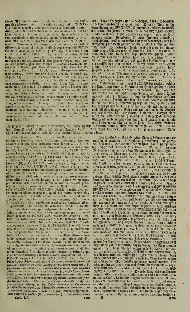 tertex Hfinteranus vocetur , de hac denominatione ambi¬ gua fit auflorum opinio. Ita enim cortex, qui a W1NTE- KO nomen accepit , cum canclla alba a permultis confun¬ ditur, vt LINNAEVS etiam in materia medica 1. c. hanc et illum tamquam fynonyma propofuerit. Interim hunc erro¬ rem excufandum cfle putamus , quum ita inualuerit, vt ca- nella alba plerumque pro vero Wintcrano cortice foleat di- Uendi. Optimas verol vtriusque plantae notas , cx quibus differentiae cognolci pofiunt, collegit atque propofuit GEOF- FROI in Alat. Afed. Tom. II. p. 175. jtqq. Genuinus enim et verus, a WINTERO didus , cortex ab antiquioribus feriptoribus ita fuit propofitus, vt eorum etiam deferiptio- fics parum certi argumenti de eius genere fuppeditent. Ap¬ pellatur planta, quae eum exhibet: Larrifclio magellanica, cor- lice acri C. E. pin. 461. Cortex Winteranus Cluf. Exot. Lil).lV. e. I. p. 75. Parie. 1652. l ugd, 1858. Per clymenum reilum, foliis laurinis, cortice aromatico Sloane Philof. Transad. no. 504. p. <?23. Et inter' eos SLOANE folus eile videtur, qui, ad fruflificationcm pertinentes , charaderes aliquos fimul cum.plantac figura dedit. Sed, cum huius folia vtrinque acuta fint, flores in alis contineantur, frudus baccam oua- WINTERANVS giftet, f|t alfo befchaffen, bagbie ©chriftflel* er t>c§tvegcn noch Hiebt böilig einig jtttb. Denn bie fttinbe, welche ihren 9iamen Don2B3$£$3lli@ bekommen, wirbmeljrentheilS mit bem weiften Bitnmct bcrwechfelt, fo, baßmuh 23Si8l2i€U© in Mat. med. i. e. bepbe jttfamineu genommen , nnb bor natnen gehalten- Hnterbeften ifl biefer 3rrt()Um bennoch Stl entfchtilbigen, weil er bermaffen überhanb genommen, baf fafi bttrchgangig ber weifte 3immt oor bic 3iinbe be$ Sintert ber* faltftt wirb. Dic bejlen Sflerfmalc, wobttrch man ben Unter* febieb betjber ^ftansen wol)l cinfeben fan, bat geoffroi in Man med. Tom. II. p. 175. feoq. jttfainmen gefitc^t. Denn bie altern ©crtbenten baben fepon bon bcm achten Conico Wintcrano alfo gehandelt , baß auch ihre SScfchreibtmgcn me* nig gewtfteg bon bcm mabren öefchletht bcffelbcn anbie-Oanb geben. Die ^ftansc, bon mclcber er genommen wirb , führt folgenbe tarnen: Laurifolia magellanica, cortice acri C.B. p:n. 461. Cortex Winteranus CiuJ, Exot. Lib. IV, c, 1 p. 7J* Park. 1652. Lugd. 1358. Periclymenum redum , foliis lau* rinis, cortice aromatico Sloane phthf, Transabi, no, 204. p. 923* Unter biefen ifl aber mobl ©8£)5l&€ ber emsige, meldet bic SCennjcic^cn berer su Bereitung ber grucht gehörigen 3:f>etlc litas, obfeurum nunc eile nequit. Quibus bene pernenfis momentis, noftram plantam Catuliam müam eile, nec verum corticem Winteranura iudicamus. Caulem et folia mamque eius partem cum inhaerentibus f r u d i b u s corticem conuoiutum , plerumque albidiore colore dum fig. 2. liftic. , fum- fil. 1. infl.ru- in ber bon uns gesegneten ^flanie aber bic Sldtter gegen ben ©ticl lu engemerbett, unb bon bar ftcb mehr ausbreiten, aurf) mit einer fUtrapfen ©pi$e enbigen , mie auch bie Blumen auf bem oberften £heil ber ©tengel Dolbenmeife maebfen, übec biefeS bie SKiuben beiderlei) ©ewaehfel in ihrer Dicfe unb bem CBeübrngcC nach unterfchuben ftnb; fo iji Daraus flar, tu wie meit bepöc t>or einerlei) au halten ftnb. 2luS btefen ©rünbeit nun lufammctt betrachtet, holten mir batior, baß nufere ^ftanje Der weifte bimmt, nicht aber ber mähte Cortex Winteranus fei)c. Den ©tengel, SSlalter, unb Den mit größten beferen obern £heil bcjTelben leiget fig. 1♦ bie äufammengerolltc 3\inbe fig. 2, melcbe aber .mehrcntheilS eine noch »elftere garbc au hoben pfleget. Corticis fic difti Winterani ct Canellac albae notas di- IHnftas ct ipecificas quoad flrußuram , colorem, faporem odorem viresque fatis luculenter tradiderunt CLV SI VS Exot, L, lV.p, i$. * (quae deferiptio iisdem pene verbis etiam in Htß, Lugd. II, p. 18y8. legitur) ct y, 78 , PARKINSON Tbeatr, hot. p, 178 r. et 1652. lO. BAP'HINVS H.ll L, IV, p. 460, />, 461. />, RAIVS V, Il.p. 1802, SLOANE Transite}, Angl, a. .691. n, 192. p. 465. et, a, 1693. n, £04. p. 922. et Itiner, Jamatc, T.J//, p. 88. DALE PharmacoL edit. 1739. »4 p 324. a, Ct |p. 328. b , VALENTINVLS Aiuf /Vujeor 1 p. 253. Jeq. Quanquam autem ex horum aliorumque audorum deferiptio- nibus fatis darum eft, inter vtrumque corticem veram eile differentiam: nihilominus tamen unus cum altero plerumque confunditur ita , ut ipfa in Anglia (uhi cortex Winteranus per 'WILH. W1NTERVM, fummum militiae navalis prae- feflum, a 1579. primum cx freto magellanico allatus fuit) tefle PARKINSONO, SLOANE et DALE, canclla alba hu¬ ius loco vendatur propterea , quod hic multo rarior eft , ceterum autem illa viribus huic par vel faltem haud multo inferior ab ipfis. citatis sudoribus cenfctur. Hinc error BLACKWELLIAE, Iquaef iconem arboris , canellam albam fuppeditantis, nomine corticis Winterani exhibuit, eo ma¬ gis excufandus venit, quo vulgatior, falfa licet , nunc eft opinio, utrumque corticem e fle unum enndemque, id quod etiam apparet ex POMET Hiß. generale des drr.gues p, 130, LEMERY Di&ionsire des dregues p. I O. b, P. HERMANNI CjneJ. materiae’med, ab HENNINGERO edita et a BOECLERO *uUa p. 200. atque praeterea J. R. SILTEMANNVS tn dijj. fva in ai’%. de cortice Wmteranu Lrj, 1711. •ventilata §. 4. noftraeque officinae pharmaceuticae teftantur. Neque etiam BLACK- WELLIAE vitio vertendum eft , fe canellam albam colore fufeo r^praclcntafle : talem enim illam etiam deferibit SLOANE TransaB. n. 192. ct Hin. Jarnaic. l.c. ubi fimul monet, Dei 2Btnter$;3linbe tmb rocifen Simmet befonbeie ttitb t\a genüge Äcnnjeicben , in Slnfebung bei Gilbung, bei §aiber bei ©«fdhmacf^i, Igerucb« «nb bei Prüften, haben fel>r jnldng# IM) bef^itebtn clv^sivs Exot. l. iv. p. 75 (welche ^efchietbimg faft mit eben ben SBoiten mich in Hift. Lugd. t* li. p. 18 58. su lefen) unb p. 78, Parkinson Th. Bot. p. 1581. tmb 1652, y. BAVHINVS Hift. T. II. L. IV. p. 4Öo.b* ttnb 461. b, RAjVS Hift. T. II. p, 1802, SLONE Trans- ad. Anglie. a. 1691, n. 192 p. 465, tmb a 1693^ n. 204. p. 922. auch Itin. Jamale. T. II. p. 88, DALE Pharmacolog. ed. 1739. in 4. p. 324. a. ttnb p. 328. b, VALENTINVS Muf, Mufeor. t. I. p. 253. feq. £)bit5Di)len abei anS btefei unt> anberei ©cbrifftftellei Sefcbieibuttg bctitliah genug tfl, ba§ sw;<» feben beobeit 3ünben ein wahret Unteifdjeib fetje, fo wirb boc^ insgemein eine mit ber anbern alfo beimenget, ba(? felbft in ©ngel* lanb (wohin bie 2Binterl*9Unöe buicb t>en Sibtniral A. 1579. suerfl bon ben ?D?agellanifchen hülfen ge* bracht worben) nach bem 3eugnu§ sloane , parkinsom tmb dale bet weiffe Btmmet ftatt bei SGßintetS *tftinbe beiwe* gen beilaujfet werbe, weil biefe bafelblf biei feltenet ansutreffett iyl, übrigen^ aber jene an Straften gleich, ober hoch wentgflenl nicht biel geringer bon eben btefen angeführten ©chrifftlMem geachtet wirb. Daher ift alfo ber gehler, Da ^ebteSlbbilbungbeS SBanmfi, bon welchem ber weife ^immetfom* met, unter bem Nahmen ber 2Binttr3*iÄinbe »orgejtellet hat, befto eher su eutfchulbigeit, je gemeiner, ob gleich falfcfc, nun bie Meinung tfl, ba§ bepbe SKmbctt einerlei) fepen , weld)el auch aus POMET Hilf. gen. des drögues p. 130, LEMERY Didion. des rdrogues p. 170. b , P. HERMANNI Cynof* mat. med. ab HENNINGERO edita et a BOECLERO auda p. 200. erhellet, tmb über biefcä J. R. siltemann in dift inaug. de cortice Wintcrano Erf. 1711. ventilata §. 4. wtC auch ünfere Slpothefen bejeugen. & ift auch ber 958315Ä® €88331 eam vulgo multo albidiorem efte. Quoimagis autem nunc notus nicht allein fehler Sit beuten, baf fte ben weijTen Simmct bratnt eft uterque cortex, eo minus adhuc ccrtuscompertus eft cha- gemahUthat: bann alfo hat folchett attch SLOANE Transad. rader botanicus ftirpishunc et illum generantis. Primus, qui n. 192. mib Itin. Jamaic. l.c. bcfchlteben ttnb bafelbff erinnert, vero fimiiemjutriusque iconem a. 1691. propalavit, eft PLV- baß ftc tnSgemettt biel weiffer fepe 3< befantitei nun aber btefc KENET pbyogr. t. 8i. f. 1. (conf.VALENT 1. c.) et f. 160. f. 7, bepbc 3linbett ftttb, je weniger tfl noch ber charader botanicu» Prior figura ab ipfo nominatur Cajß.a. l\gnea Jamaicenfis corttee acri ber ^dltmC, bOItWel^dtbiefelbe heifomtltett, enbecfetWOlbCII. Det candicante CaneliaaibaCiufti, Laurifolia Magellanica cortice acri C.B. elfte, Wellhei' bon bCt)bCn CIHC Wahlfchetnltche ^IbbtlbUltg a. 1691. pin. Corttee V/intiranus acris feu canclla alba J. B. an Ligni aromatici Monard. cortex; et in Almageft-Bot. p. 89. Caffia lignea Jamai- cenfis Laureolae folus fabdnertis corticepiperis modo acri, Winteranus cortex Clufii. Pofterior vero figura appellatur Cinamomum fylve ftre Barbadenfium, Arbor baccfera Jruftu calyculato tetrapyeno, foho eneivi et Almag. p. 89. Cajjia ctnamomta feu Cinamomum fylveflre Barbadenjium 8tc. Pfettdocajjia cinara-, me a amerimna , an Cmamomum feu Canclla Peruana C. B. pin. Utracque figurae ha- bargefiellethat, iji plvkenet Phytogr. t.si f. r. (conf. £S3i* SSSlt. 1. c.) unb 1.160, f. 7. Die erjiegigur wirb bon thmege* nennet Cafifialignea Jamaicenfis, cortice acri candicante, Ca- nella alba Clufii, Laurifolia Magellanica cortice acri C. B. pin., Cortex Winteranus acris feuCanella albaJ.B, anLigniaroma- tici Monard. cortex, ttitb in Almag. Bot. p. 89. Cafifia lignea fa- maicenfis Laureolas foliis fubcinereis cortice piperis modo acri, Winteranus cortex Clufii; bie JWei)te gtgur aberCina- bitu externo etfruöus (flore prior caret) in fummitate rame- momum fylveftre Barbadenfium ; Arbor baccifira frudu ca Cent, UI. rum B lycii