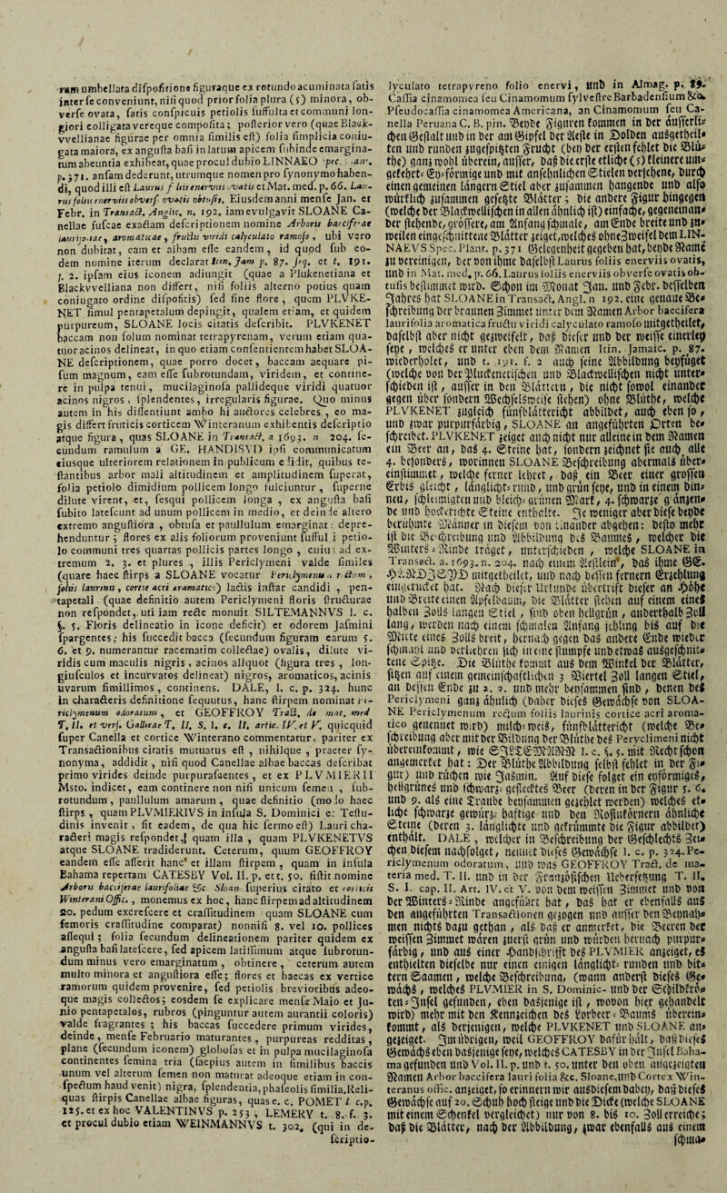 rsm umbellafa difpofition« figuraque cx rotundo acuminata fatis inter fe conveniunt, nili quod prior folia plura (s) minora, ob- verfe ovata, fatis confpicuis petiolis fuffulta et communi lon¬ giori colligata vereque compofita ; pofterior vero (quae Black- vvellianae figurae per omnia limiliseft) folia fimplicia couiu- gata maiora, ex angufla bafi in latum apicem fubinde emargina- tum abeuntia exhibeat, quae procul dubio LINNAEO 'pec.i ,an\ p. 371. anfam dederunt, utrumque nomen pro fynonymohaben- di, quod illi cfi Laurus f his enervus ovatis et Alat. med. p. 66. Lau¬ rus foins tnerviisobvtrf. ovatis obtufij, Eiusdemanni menfe Jan. et Febr. in Transaft, Anghc, n, 192. iam evulgavit SLOANE Ca- ncllae fufeae exaftam deferiptionem nomine Arboris baccife'at iaurijouaej aromaticae , fruttu viridi calyculato ramojo , ubi vero non dubitat, eam et albam ellc eandem, id quod fub eo¬ dem nomine iterum declaratio». Jam p. 87. J«]. et t, 191. /. 2. ipfam eius iconem adiungit (quae a Plukenetiana et Blackvvelliana non differt, nili foliis alterno potius quam coniugato ordine difpofitis) fed fine flore , quem PLVKE¬ NET fimul pentapetalum depingit, qualem etiam, et quidem purpureum, SLOANE locis citatis deferibit. PLVKENET baccam non folurn nominat tetrapyrenam, verum etiam qua- tuor acinos delineat, in quo etiam confenticntemhabet SLOA¬ NE deferiptionem, quae porro docet, baccam aequare pi- fum magnum, eam efle fubrotundam, viridem, et contine¬ re in pulpa tenui, mucilaginofa pallideque viridi quatuor acinos nigros, tplendentes, irregularis figurae. Quo minus autem in his diflentiunt ambo hi auäores celebres , eo ma¬ gis differt fruticis corticem winteranum exhibentis deferiptio atque figura, quas SLOANE in Transuti, a 1693. n 204. fe¬ cundum ramulum a GE. HANOISYD ipfi communicatum eiusque ulteriorem relationem in publicum e didit, quibus te- ftantibus arbor mali altitudinem et amplitudinem fuperat, folia petiolo dimidium pollicem longo fulciuntur, fuperne dilute virent, et, fesqui pollicem longa , ex angufla bafi fubito latefcunt ad unum pollicem in medio, et deinde altero extremo anguftiora , obtufa et paullulum emarginat 1 depre¬ henduntur ; flores ex alis foliorum proveniunt fufful i petio¬ lo communi tres quartas pollicis partes longo , cuiu; ad ex¬ tremum 2. 3. et plures , illis Periclymeni valde fimiles (quare haec ftirps a SLOANE vocatur Lendymenu a räum, Johis laurina , cortit acri eramatteo') lattis inftar candidi , pen- tapetali (quae definitio autem Periclymeni floris flrufturae non refpondet, uti iam reele monuit S1LTEMANNVS 1. c. §. 5. Floris delineatio in icone deficit) et odorem Jafmini fpargentes,- his fuccedit bacca (fecundum figuram carum s. 6. et 9. numerantur racematim colleftac) ovalis, dilute vi¬ ridis cum maculis nigris, acinos aliquot (figura tres , lon- giufculos et incurvatos delineat) nigros, aromaticos, acinis uvarum fimillimos, continens. DALE, 1. c. p. 324. hunc in charaöeris definitione fequutus, hanc ftirpem nominat r<- riclymtnum odoratum , et GEOFFROY Traü, de mar, med T,ll. tt verf. GadieaeT, II, S, J. c, II, artic. IV. et V, quicquid fuper Canella et cortice Winterano commentatur, pariter ex Transaftionibus citatis mutuatus eft , nihilque , praeter fy- nonyma, addidit, nili quod Canellae albae baccas deferibat primo virides deinde purpurafeentes , et ex PLVMIERII Msto, indicet, eam continere non nili unicum femen , fub- rotundum, paullulum amarum, quae definitio (mo io haec flirps , quam PLVAIIERIVS in infuja S. Dominici e: Teflu- dinis invenit, fit eadem, de qua hic fermocft) Lauri cha- rafleri magis refpondet,| quam illa , quam PLVKENETVS atque SLOANE tradiderunt. Ceterum, quum GEOFFROY candent efle aflerit hanc’ et illam ftirpem , quam in infula Eahama repertam CATESBY Vol. II. p. ett. 50. fiftit nomine Arboris bacciferae laurifoliae $5c. Sloan fuperius citato et eoriteis WtnttraniOffic., monemus ex hoc, hanc ftirpem ad altitudinem ao. pedum excrefcere et craffitudinem 1 quam SLOANE cum femoris crafiitudine comparat) nonnifi 8. vel 10. pollices aflequi; folia fecundum delineationem pariter quidem cx angufla bafi latefcere, fed apicem latiflimum atque iubrotun- dum minus vero cmarginatum , obtinere , ceterum autem inulto minora et anguftiora efle; flores et baccas cx vertice ramorum quidem provenire, fed petiolis brevioribus adeo- que magis collcäos; eosdem fe explicare menfe Maio et Ju¬ nio pentapetalos, rubros (pinguntur autem aurantii coloris) valde fragrantes ; his baccas fuccedere primum virides, deinde , menfe Februario maturantes, purpureas redditas, plane (fecundum iconem) globofas et in pulpa mucilaginofa continentes lemina tria (lacpius autem in fimilibus baccis unum vel alterum lernen non maturat adeoque etiam in con- fpeflum haud venit) nigra, fplendentia,phafeolis fimilia.Reli- quas ftirpis Canellae albae figuras, quas e. c. POMET l c.p, 125.et ex hoc VALENTINVS p. 253 , LEMERY t. 8. f. 3. cc procul dubio etiam WEINMANNVS t. 302, (qui in de- feriptio- lyculato tetrapyreno folio enervi, HUb in Almag. p* Caffia cinamomea leu Cinamomum fylveftreBarbadenfium&Ck PfeudocafTia cinamomea Americana, an Cinamomum feu Ca¬ nella Pcruana c. B. pin. Q3ci)l>c §fgitren fornmen in ber äujfcrft* chenöeflaltunbinber am (öipfel Der in Bolbcn auSgethetl* ten unb runben jugefpifjten Srudjt (bei) Der er|itn fehlet bie 23lu* tf>c) ganj wohl überein, auffer, baji bie crjle etliche (5) flauere um* gefehlt* dtp förmige unb mit anfel)tilichen©tielenDcrjchene, i>uret> einengemeinen langem Stiel aber gufammen f)angenbe unb alfo würflich gufammen gefegte SSlckter; bie anbere gigur hingegen (welche ber 93lacfwelüfchen in allen ähnlich ift) einfache/ gegeneinan* ber ttcfjenbc, gröffere, am Anfang fchmalc, am (Snbe breite unb jtt» weilen cingeühnittene ©lütter geigctvwclchcSohncSweifelbemLIN- NÄEvs Spec. Plant, p. 371 (Gelegenheit gegeben hnt,beobe Siamc iu bereinigen, beröonthme bafelbftLaurusfoliis enerviis ovatis, UUb in Mat. med, p. 66. Laurus foliis enerviis obverfe ovatis ob- tufis bcflimmct n>irt>. Schott im SJtonat 3<m. nnb Sehr. bcfielbeti 3al)res l)at sloaneinTransaft. Angl.n 192.eine genauere* fchreibung ber braunen 3immct unter bau tarnen Arbor baccifcra iaurifolia aromatica fruäu viridi calyculato ramofo mitgethcilet, bafclbfi aber nicht gegweifelt, bafi biefer uttb ber weifte einerlei fepe, welches er unter eben bem 31 amen itin. jamaic. p. 87* rDtcberl)olet, unb t. iyi. f. 2 and) feine Slbbilbung bepfüget (roelcbc bon ber^lucfcnctifcben unb 2Macftbeliifd)en nicht unter* fchieben ift, auffer in ben SMdrtcin , bie nicht fomol einanbec gegen über fonbern SBecbfelSrocife fielen) ohne SSlütpe, welche plvkenet zugleich fünfbldttcricht abbilbet, auch eben fo, uni) imar purpurfarbig, $loane an angeführten Orten be* fchrcibet. plvkenet seiger auch nicht nur alleine in bem Slamen ent SBeer an, baß 4. ©teine hat, fonbern jeichnet fte auch alle 4- befottbers, toorinnen sloane S5efd)reibung abermals über* einüimmet, roelche ferner lehret, bafi ein 3Seer einer großen Srbiü gleicht, Idnglicpts itiud , unb grün fetje, unb in einem bin* neu, ichUimigtenmib bleich*grünen SJJarf, 4- fchroarje g dmen* bc unb hoeferishte ©teilte enthalte. (Je weniger aber biefe beijbe berühmte yJainner tn btefetn bon Gnaltber abgehen: befto mehr ift bic Schreibung unb SlbbUbuttg bcS SaumcS, toeltha’ t>ic 5Bintcr5*3vinbe traget, itntirfchiebcn , welche SLOANE in Tnmsact. a. 1693.11. 204. nach einem 2le|Hetu% ba^ ihme ÖS. Jp).3iI)3©T)T) mitgetheilct, unb nach bellen fernem Snehlung eiugerucfet hat. 31ac) biefer Urtanbe übertrift biefer an £6f)e unb Breite einen 2lpf«llwm, bie Blatter fteben auf einem eineJ halben 3oll^ langen ©tiel, ftnb oben hellgrün , anberthglb 3oU lang, werben nach einem fchmalen Slnfang jchlmg biö auf bte ©ittte eines 3olis breit, hernach gegen baS anbere ^enbe wubec fchuianl unb oerliehreti fiet) incute ftumpfe unb etwas auSgefchmc* tette ©pi£e. Bie SSlüthe fommt aus bem Sffiinfel ber SBlatter, fujett auf einem gerne in fchafflichen 3 Viertel 3oll langen ©tiel, au Dellen ^ttbe ju 2.7. uttb mehr benfammen ftnb , Denen DeS Periclymeni gaiti df)ulicf) (Daher DiefeS ©ewdchfe oon SLOA¬ NE Periclymenum reiftum foliis laurinis cortice acri aroma¬ tico genennct wirb) milch3weis, fünfbldttericht (welche 95c* Ichreibuttg aber mit Der ©ilbung ber QMnthe bcS Peryciimeni nicht übereuifommt, wie ©32$®®?2l9l3i 1. c. §. $. mit ülechtfchon «ngemerfet hat: Ber Sßlüthe Slbbtlbung felbft fehlet in bergt* gur) unb röchen wie Jasmin. 3i«f Diefe folget ein ehformigeS, hellgrünes unb fchwarj; geflecfteS 95eer (bereu in ber §igur y. 6, unb 9. als eine irattbe benfammen gejehlet werben) welches et* liehe fchwarje gewürv haftige unb ben Sdofiuförnern ähnliche ©teine (bereu 3. Idnglichte unb gefrümmte bie Sigur abbilbet) enthalt, dale , welcher in ©efchreibung ber (Befd)lechtS 3et* chenbiefem nachfolgct, nennet biefeS (Bewa^fe 1. c. p. 324.Pe¬ riclymenum odoratum, ttnb Was GEOFFROY Traä. de ma¬ teria med. T. ii. unb in ber Srcwjöfifcben Ucberfe^ung T. 11. S. I. cap. 11. Art. iv. et v. oou Dem weijTcu 3imtnct unb oott DerSBtnterS*Svinbe angeführt hat, baS hat er ebenfalls an$ Den angeführten Transaflionen gejogen unb auffer ben©eunah* men nichts baju gethan , als ba^ er anmerfet, bic ©eeren bec weiffen 3immct waren juerft grün unb würben hernach purpttr* farbig, unb aus einer ^»anbfehrifft beS plvmier anjeiget, eS enthielten biefelbe nur einen einigen langlicht* runben unb bit* tern ©aamen, welche ©efchrcibung, (wann anberft DiefeS (Be* wachs, welches plvmier in s. Dominic- unb ber ©cjiilbh'ö^ ten*3nfel gefttnben, eben baSjentge ift, wooon hier gehanbelt wirb) mehr mit ben Äennjcichcn beS Lorbeerbaums überein* fommt, als berjenigen, weld)e plvkenet unb sloane au* gejeiget. 3m übrigen, weil GEOFFROY bafürhält, baß biefeS IBewdchS eben baSjentge fepe, welches catesby in btr 3nfcl Baha- magefunben uttb Vol. il.p. unb t. so. unter ben oben auge.aetaten gjatnen Arbor baccifcra lauri folia &c. Sloane,Htlb Cortex Win- teranus offic. anjeiget, fo erinnern wir auSbiefembabet), baß DiefeS (Bewdihfe auf 20. ©chul) hoch (leige unb bie Biete (welche sloane mit einem ©rhenfei pergleichet) tuiroon 8. bis 10. Soll erreiche; Daf bie ©lütter, nach &er Slbbilbuttg, jwar ebenfalls aus cutem fchuta*
