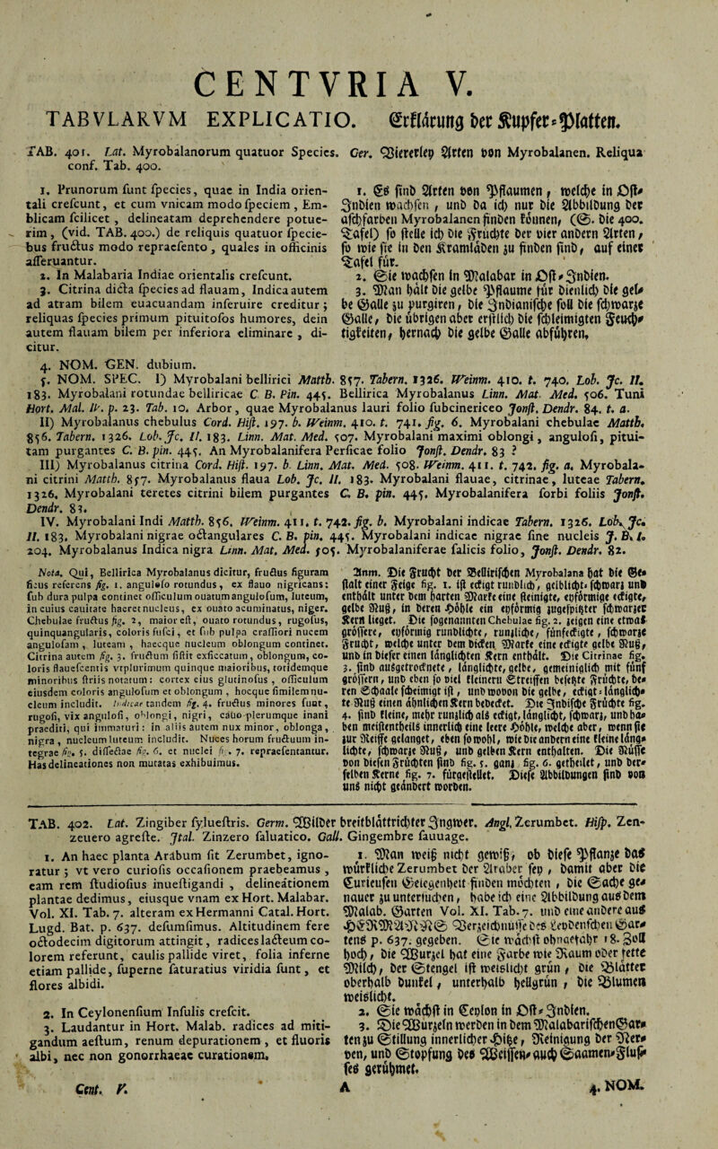 TAB VLARVM EXPLICATIO. erfMrung bet Äupfet* Patten. TAB. 401. Lat. Myrobalanorum qtutuor Species. Cer. QJiererlep tyxtttl OOU Myrobalanen. Reliqua conf. Tab. 400. ' 1, Prunorum funt fpecies, quae in India orien¬ tali crefcunt, et cum vnicam modo fpeciem , Em- blicam fcilicet , dclineatam deprehendere potue¬ rim , (vid. TAB. 400.) de reliquis quatuor fpecie- bus fru&us modo repraefento, quales in officinis afleruantur. i. ln Malabaria Indiae orientalis crefcunt. 3. Citrina didla fpecies ad flauam, Indica autem ad atram bilem euacuandam inferuire creditur; reliquas fpecies primum pituitofos humores, dein autem flauam bilem per inferiora eliminare , di¬ citur. 1. ftnD 51rfen oen ^fiaumen# melcbe in £)jt* ^nDien macbfen , unD Da id) nur Die SlbbtlDung Der afchfarben Myrobalanen finDen fotmen# (©. Die 400. ^afel) fo flclle icb Dte $rud)te Der pier anDern Sitten / fb mie fte in Den ivtamlaDen ju finDen ftnD f auf einer Grafel für. 2. ©ie »raffen in Malabar in,0jl*3n^en< 3. ISIan hält Die gelbe pflaume für Dienlid) Die gel* be ©alle $u purgiren, Die 3nDianifcbe foU Die fdjtoarje ©alle / Die übrigen aber erfllid) Die fcbleimigten $ewb* tigfeiten# hernach Die gelbe ©alle abfütyren. 4. NOM. GEN. dubium. f. NOM. SPEC. I) Myrobalani bellirici Mattb. 8t7- Tabern, 1326. fPeitim. 410. t. 740. Lob. Je. //„ 183. Myrobalani rotundae belliricae C B, Pin. 445. Bellirica Myrobalanus Linn. Mat. Med. 506. Tuni Hort. Mal. IP. p. 23- Tab. 10, Arbor, quae Myrobalanus lauri folio fubcinericeo Jonft, Dendr. 84. t. a. II) Myrobalanus chebulus Cord. Dift. 197. b. IVeinm. 410. t. 741.fig. 6. Myrobalani chebulae Mattb« 856. Tabern. 1326, Lob.Jc, II. 183. Linn. Mat. Med. ^07. Myrobalani maximi oblongi, angulo fi, pitui¬ tam purgantes C. B. pin. 44^. An Myrobalanifera Perficae folio Jonft. Dendr, 83 2 III) Myrobalanus citrina Cord. Hift. 197. b. Linn. Mat. Med. 508. IVeinm. 411. t. 742. fig. a, Myrobala¬ ni citrini Matth. 8f7« Myrobalanus flaua Lob. Je. II. 183» Myrobalani flauae, citrinae, luteae Tabern* 1326* Myrobalani teretes citrini bilem purgantes C B* pin. 445. Myrobalanifera forbi foliis Jonft, Dendr. 8?. , IV. Myrobalani Indi Mattb. 856. IVeinm. 411, t. 742. fig. b. Myrobalani indicae Tabern. 132«. Lob^Jc» II. 183. Myrobalani nigrae o&angulares C. B. pin. 44s. Myrobalani indicae nigrae fine nucleis J.Ikl* 204. Myrobalanus Indica nigra Ltnn. Mat. Med. /05. Myrobalaniferae falicis folio, Jonft. Dendr. 82. Nota. Qui, Bellirica Myrobalanus dicitur, fruöus figuram 2lnm. Dt« Stützt Der 95ellirif(f)«n Myrobalana hat bit ©<• ficus referens fig. 1. angulelo rotundus, ex flauo nigricans: flfllt «IKC SfÜJC fig. I» $ CCfiflt ruublicb; fldblidtU* fljjwari unfc fub dura pulpa continet oflkuium ouatumanguiofum, luteum, enthält unter t>cm harten sjftarfe eine fteinigte, «oformige «cfigtt, in cuius cauitate haeretnucleus, ex ouato acuminatus, niger. g«lb« 3)Uf}, In Deren J£>Öl)U «in «hförttltg jugefpitjter fctiWarjeC Chebulae fruftus fig. 2, maior eft, ouato rotundus, rugofus, Stent lieget, Die fogenasinteil Chebulae fig. 2. jeigen Cin« etwal quinquangularis, coloris fufei, et fub pulpa craffiori nucem groffere, epfhrinig runDUcbte, run<lict>c/ fünfeefigte t fct>n>orie angulofam , luteam, haecque nucleum oblongum continet. §rud)t, welche Unter Dem Dufen. Sparte eine etfigt« gelbe Citrina autem fig. 3. frudum fiftit exficcatuin, oblongum, co- 1Mb in tiefer einen (dnglict)tcn S?etn enthalt. Dte Citrinae fig. loris flauefcentis vtpiurimum quinque maioribus, totidemque 3. jinb auSgetrocfnete, Idnglichte, gelbe, gemeiniglieh mit fünf minoribus ftriis notatum: cortex eius glutinofus, oflicuium groffern, unD eben fo Diel fleineru <£treiffen befehle ^frudbte, be* eiusdem coloris angulofum et oblongum , hocque fimilemnu- ren <0Chaale fcheimigt ift , Unb0)00011 bie gelbe, etfigtä Idngliib» eleum includit, ir,dicae tandem fig. 4. frudus minores fuat, te 3lu§ einen ahnli$en£ecnbeDecfet. Dt« 3nbif(b« Srucfete fig. rugofi, vix angniofi, oblongi, nigri, cabo plerumque inani 4. fint) fleine, mehr runjlicbalg ecfigManglicht, f^)t»rtrj, unbha* praediti, qui immaturi: in aliis autem nux minor, oblonga , b«n mciflentheilS innetlÜfe «ili« leere Dof)U, I0«l(j)« aber, COCntlftC nigra, nucleum luteum includit. Nuces horum fruduum in- jur Diciffc gelanget, eben fotoohl, wie bie anbern «int flein« Idng* tegrae fis, 5- diffedae fig. 6. et nuclei f:. 7. repraefentantur. li(bte, fcbworje unb gelben Stern enthalten. Die mt Has delineationes non mutatas exhibuimus. Don biefen Srücbten ftnD fig. e. gani fig. 6. getheilet, unb ber* felben Stern« fig. 7. fürgeflellet. Diefe Slbbilbungen Jinb »oa uns nicht geanbert worben. TAB. 402. Lat. Zingiber fylueftris. Germ. 9XßUDer brritblattrid)tcr 3ngtt)«t. rfngl, Zerumbct. Hifp. Zcn- zeiiero agreffe. Jtal. Zinzero faluatico. Gail. Gingembre fauuage. 1. An haec planta Arabum fit Zerumbet, igno¬ ratur ; vt vero curiofis occafionem praebeamus , eam rem fludiofius inuefiigandi , delineationem plantae dedimus, eiusque vnam ex Hort. Malabar. Vol. XI. Tab. 7. alteram exHermanni Catal. Hort. Lugd. Bat. p. 637. defumfimus. Altitudinem fere o£todecim digitorum attingit, radices la6leum co¬ lorem referunt, caulis pallide viret, folia inferne etiam pallide, fuperne faturatius viridia funt, et flores albidi. 2. In Ceylonenfium Infulis crefcit. 3. Laudantur in Hort. Malab. radices ad miti¬ gandum aeftum, renum depurationem , et fluoris ' albi, nec non gonorrhaeac curationem. Cent. V. 1. ^an vt>ei§ mffit gett>i§> ob Diefe ^ffanje Da« roürfliffie Zerumbet Der Siraber fep , Damit aber Die (Suneufen ©elegenbett finDen mochten , Dic ©affie nauer ju unternid^en, habe ich eine $ibbilDung auö Dem ^flalab. ©arten Vol. XI. Tab. 7. unD etneanDerc auS Qper^eicbnulJeDcO >iepDenfd)en©ar^ tenö p. 637. gegeben. ©ie tvacbji obnaefabr »8- 3L'® bod), Die ^urjel bat eine §arbe mie 3Raum oDer fette 53?tlcb# Der ©tengel ift metsUd)t grün# Die plattet oberhalb Dunfel, unterhalb beüönm # Die Blumen meiölicht. 2. ©ie mac&ft in ^eplon in 3nDfen. 3. SDie ^XBurieln merDen in Dem 3Jialabarifchen©ar* tenju ©tiüung innerlicher «£)ihe# Dieinigung Der oen, unD ©topfung Dee ^ßeijfe^ auch ©aamcn*§luf#* feö gerühmet, A 4. NOM.