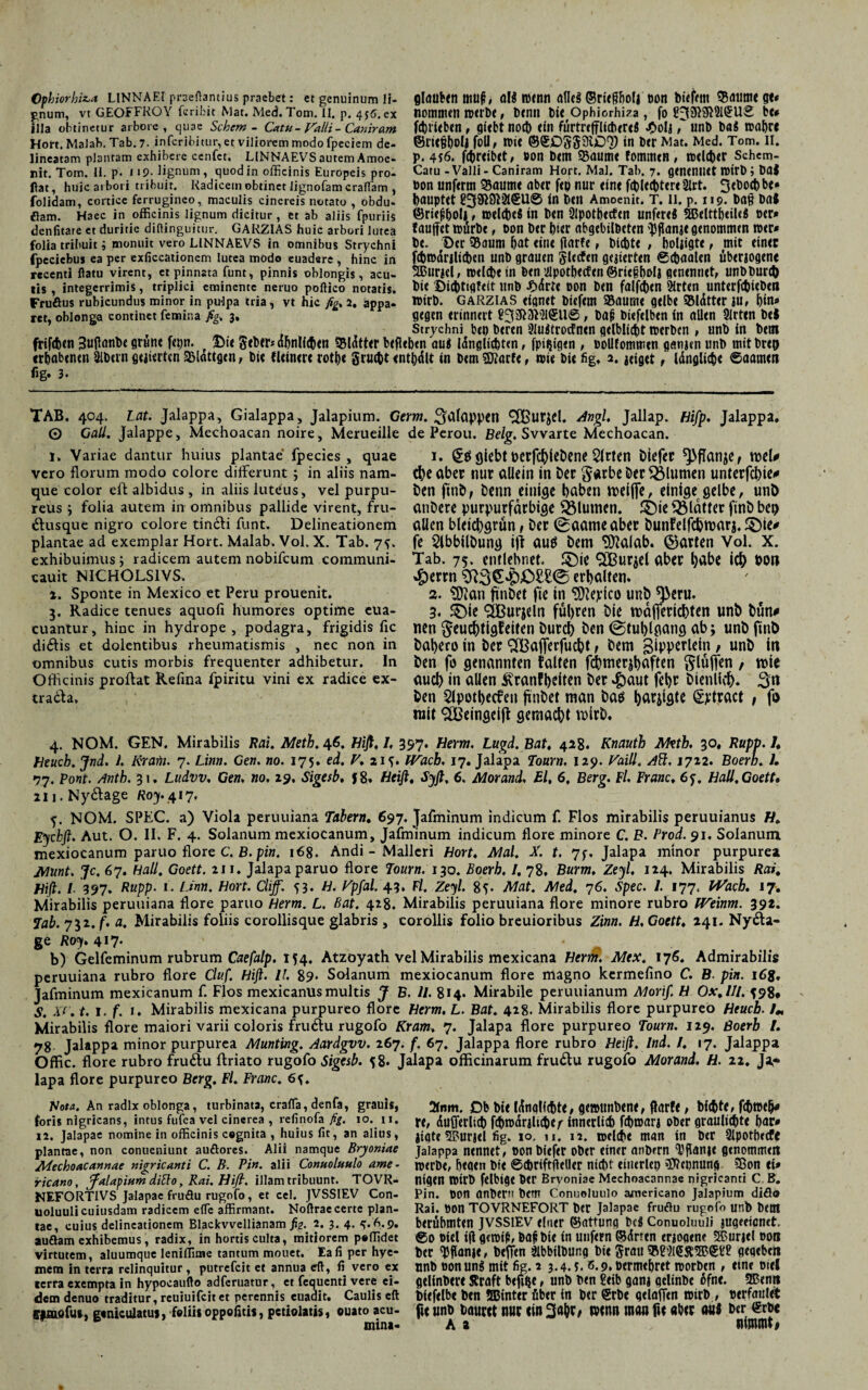 Cphiorhiz,a LINNAEI prseflantius praebet: et genuinum li¬ gnum, vt GEOFFROY fcribit Mat. Med, Tom. II. p. 456. ex jlla obtinetur arbore, quae Sehern - Catn - Valli - Caniram Hott. Malab. Tab. 7. inferibitur, et viliorem modo fpeciem de- lineatam plantam exhibere cenfct, LINNAEVS autem Amoe- nit. Tom, II. p. 1»9- lignum, quod in officinis Europeis pro¬ flat, huic arbori tribuit. Radicem obtinet lignofam crafTam , folidam, cortice ferrugineo, maculis cinereis notato , obdu- flam. Haec in officinis lignum dicitur, et ab aliis fpuriis denfitare et duritie diftinguitur. GARZIAS huic arbori lutea folia tribuit; monuit vero LINNAEVS in omnibus Strychni glauben muf, al8 wenn «fici ©riefjboli »on biefem $autne gt« nommen werbe, benn bte Ophiorhiza, fo be» febrieben, giebt noch «in fürtrefflicheres «Ooljunb baS wahre ©rietjbolj foll, wi« ©©iDSSSJID'}) in Der Mat. Med. Tom. II. p. 4*6. febreibet, »on bem SBaume fommen, t»d(t>er Schem- Catu - Valli - Caniram Hort. Mal. Tab. 7. geneniiet rotrb ; bat »on unferm ©aum« aber feo nur «in« f«t>Ie«t)ter( 2lrt. i>auptet l?39i&}2l®U© in ben Amoenit. T. ii. p. 119. ba§ bat ©rieflboli t t»«ldbeö in ben Qlpotbeden unfrrtS ©elttbeileS oer» fauffet ttjürto«, oon t>«r i)i«r abgebilöctcn $flanje genommen wer» be. Der $8aum bat «in« flarfe, biebt« , boljigte, mit einer fpcciebus ea per exficcationcm lutea modo euadere, hinc in fcbwdrjlicben uni) grauen §lecf«n gegierten ©cbaalen übenogene recenti flatu virent, ct pinnata funt, pinnis oblongis, acu- SBuritl, Weid)« iit ben >ilpotl)«(f«n ©ri«§i)Dli genentiet, UHbburch tis , integerrimis, triplici eminente neruo poftico notatis. bi« $>i$ttflf«it Unb Ddrt« DOn b«n ffllfd()«n 2irt«n unterfc&tcDen Fruöus rubicundus minor in pulpa tria, vt hic fig, 2. appa- Wirb. GARZIAS eignet bi«f«m 95flUm« qtlb« SBldtter JU, \)in» ret, oblonga continet femina fig, 3. gegen erinnert ?3313HNSU©, ba|i biefelben in allen Slrten bei Strychni b«u b«r«n 9luitrocfn«n gelblicbt wtrben , unb in b«tn frifeben 3ujiflnbe grune fttin. r Di« Seber* dbnlfcben 33ldtt«r befleben aui Idnglitbten, fpitjigen , »ollfommen ganjen unb mitbrto «rbabenen 2lb«rn gelierten S&lattgen, bi« fleinere rotb« Sructt «nt^dlt in b«m5J?grf«, n>i« bi« fig, 2. jeiget, Idnglicb« Saamen fig. 3. TAB. 404. Lat. Jalappa, Gialappa, Jalapium. Cerm. Etappen SCßurjel. Angi. Jallap. Hifp. Jalappa. O Qaill. Jalappe, Mechoacan noire, Merueille de Perou. Belg. Svvarte Mechoacan. I. Variae dantur huius plantae fpecies , quae vero florum modo colore differunt ; in aliis nam¬ que color eft albidus , in aliis luteus, vel purpu¬ reus ; folia autem in omnibus pallide virent, fru- tffusque nigro colore tindli funt. Delineationem plantae ad exemplar Hort. Malab. Vol. X. Tab. 74, exhibuimus , radicem autem nobifeum communi- cauit NICHOLS1VS. i. Sponte in Mexico et Peru prouenit. 3. Radice tenues aquofi humores optime eua- cuantur, hinc in hydrope, podagra, frigidis fic didlis et dolentibus rheumatismis , nec non in omnibus cutis morbis frequenter adhibetur. In Officinis proflat Refina fpiritu vini ex radice ex¬ tra 6l a. 1. giebt perfchteDene Sitten Diefer roel# d)e aber nur allein in Der garbe Der Blumen unterfchie* Den ftnb, Denn einige haben roeijje, einige gelbe, unö anDere purpurfarbige Blumen. £)ie glatter ftnD bep allen bleichgrün f Der (gaameaber Dunfelfcbtparj. ©le^ fe SlbbilDung ijf aus Dem Sttalab. ©arten Vol. X. Tab. 75. entlehnet. £)ie SÜBurjel aber habe ich Do» $errn erhalten. 2. tDian ftnDet fte in ^epico unD^eru. 3. £)ie ^ut’jeln führen Die maiferichten unD Dün# nen ^euchtigfeiten Durch Den (Stuhlgang ab; unb finD Dahero in Der 3Bafierfucht t Dem glpperlein , unb in Den fi> genannten falten fchmerjbaften bluffen , mic auch«» allen ^ranfhdten Der $aut fehr Dienlich- 3« Den 5lpothecfeu finDet man Daö f>arsidte (Sptract ; fo mit ^Beingeijt gemacht mirb. 4. NOM. GEN. Mirabilis Rai. Meth. 46. Hiß, I, 397. Herrn. Lugd. Bat, 428* Knauth Aktb. 30, Rupp. I, Heucb. Jnd. I. Rratii. 7. Lititi. Gen. no. 175. ed. V, 21^. JVacb, 17. Jalapa Tourn, 129. Vaill. Aft. 1722. Boerh. 1. *77. Pont. Antb. 31* Ludvv. Gen. no, 29, Sigesb, J8, Heiß, Sy ft. 6. Morand, Bl, 6, Berg. Fl. Franc, 6j. Hall, Goett, in.Ny&age Roy. 417, S- NOM. SPEC, a) Viola peruuiana Tabern, 697. Jafminum indicum f. Flos mirabilis peruuianus H, Eychft. Aut. O. II. F. 4. Solanum mexiocanum, Jafrninum indicum flore minore C. B. Prod. 91, Solanum, mexiocanum paruo flore C. B. pin. 168. Andi - Malleri Hort. Mal. X. t. 7f. Jalapa mtnor purpurea Munt. Je, 67. Hall. Goett, 111. Jalapa paruo flore Tourn. 130. Boerh, I, 78, Burm. Zeyl. 124. Mirabilis Rai, Hift. I 397. Rupp■ 1. Linn. Hort. Cliff. 53. H. P'pfal. 43. Fl. Zeyl. 85. Mat. Med, 76. Spec. 1. 177. Wach. 17. Mirabilis peruuiana flore paruo Herrn. L. Bat. 428. Mirabilis peruuiana flore minore rubro JVeinm. 392. Tab. 732. f. a. Mirabilis foliis corollisque glabris , corollis folio breuioribus Zinn. H. Goett, 241. Ny<ffa- ge Roy» 417. b) Gelfeminum rubrum Caefalp. 154. Atzoyath vel Mirabilis mexicana Herrn. Mtx. 176. Admirabilis peruuiana rubro flore Cluf. Hift. Ii 89- Solanum mexiocanum flore magno kermefino C. B. pin. 16g, Jafminum mexicanum f. Flos mexicanus multis J B. 11. 814* Mirabile peruuianum Morif. H Ox,IIl. 598* S. Xf. t. t. f. i. Mirabilis mexicana purpureo flore Herrn, L. Bat. 428. Mirabilis flore purpureo Heucb. /*, Mirabilis flore maiori varii coloris fruiffu rugofo Kram, 7. Jalapa flore purpureo Tourn. 129. Boerb L 78 Jalappa minor purpurea Munting. Aardgvv. 267. f. 67. Jalappa flore rubro Heift. Ind. /. 17. Jalappa Offic. flore rubro fru£tu ffriato rugofo Sigesb. 58. Jalapa officinarum frtuffu rugofo Morand. H. 22. Ja,« lapa flore purpureo Berg. Fl. Franc. 6{. Hota, An radix oblonga, turbinata, crafla, denfa, grauis, toris nigricans, intus fufea vel cinerea , refinofa fig. io. u. 12. Jalapae nomine in officinis cegnita , huius fit, an alius, plantae, non conueniunt auflores. Alii namque Bryoniae Adechoacannae nigricanti C. B. Pin. alii Comtolaulo ame - ricano, gfalapium ditio, Rai. Hift. illam tribuunt. TOVR- NEFORTIVS Jalapae fruflu rugofo, et cel. JVSSIEV Con- uoluuli cuiusdam radicem efie affirmant. Noflraecerte plan¬ tae, cuius delineationem Blackvvellianam fig. 2. 3. 4. 4. A.9. auflam exhibemus, radix, in hortis culta, mitiorem p«ffidet virtutem, aluumque leniflime tantum mouet. Ea fi per hye- mem in terra relinquitur , putrefeit et annua efl, fi vero ex terra exempta in hypocaufto adferuatur, et fequenti vere ei¬ dem denuo traditur, reuiuifeit et perennis euaait. Caulis eft nmofus, geniculatuj, foliis oppofitis, pctiolatis, ouato acu¬ mina- 2fnm. DbDi«HnqKchte, gtwunbtn«, darf«, bl<f)t«, fch»«^ r«, dufialicb fchwdrilut)«^ innerlitf) fcbwarj oh«r graulichte har» jigte 3Burj«l fig. 10, u. 12. oelch« man in ber 2lpotb«cfe Jalappa n«nn«t, oont)i«f«r ober einer anbtrn 'DPanje genommen jperb«, heoen bi« ©chriftfleller nicht einerlei) Nennung 5Bon ei» nigen Wirb felbige ber Bryoniae Mechoacannae nigricanti C B. Pin. non anber bent Conuoluulo americano Jalapium diöo Rai. tton TOVRNEFORT ber Jalapae fruftu rugofo unb betn berühmten JVSSIEV eltier ©atfung beä Conuoluuii jugeetentt. ©0 niel i(l gtwig, baf bie in unfern ©drien erioaene 5Burjel non ber tyflanje» beffen Slbbilbung bi« grau gegeben nnb nonung mit fig. 2 3.4. L *5.9. oermehret roorben , «tne mei gelinber« Rraft befthe, unb ben £eib ganj gelinbe 6fne. 3£?«nn biefelbe ben ©inter über in ber Srbe gelaflen wirb , nerfaulet fic unb bäum nur (in 3ahG wenn man fk aber an« ber ©rbc A i nimmt»