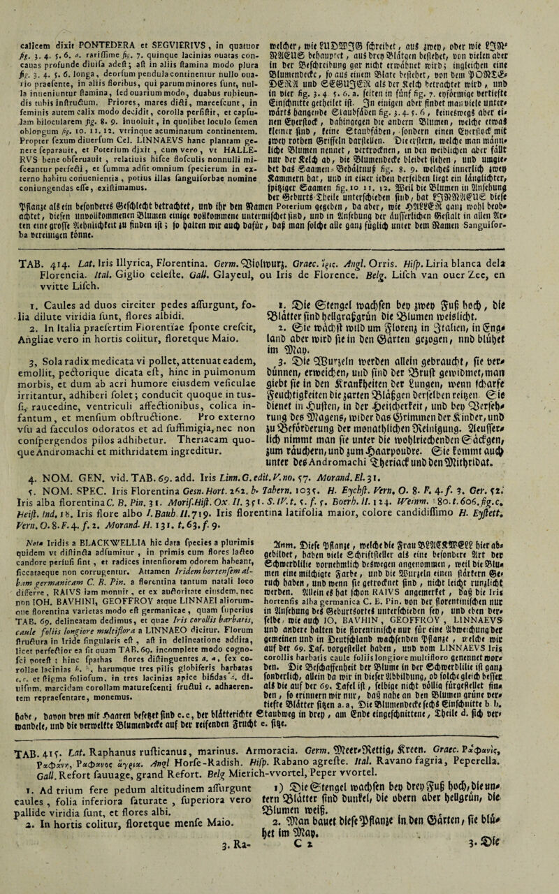 calicem dixit PONTEDERA et SEGVIERIVS , in quatuor fig, ). 4. y. 6. a. rariffime fig. 7. quinque lacinias ouatas con- cauas profunde diuifa adeft; aft in aliis flamina modo plura fi?. 3. 4. y. 6. longa, deorfum pendula continentur nullo oua- rio praefente, in aliis floribus, qui parum minores funt, nul¬ la inueniuntur flamina, led ouarium modo, duabus rubicun¬ dis tubis inftrufium. Priores, mares diöi, marcefcunt, in ttitlÄer, mit ?U©5P3© fördbef, ou5 imn, ober mit behauptet, au§ breu QMdtqcn befielet, ton oieien aber fn ber ©tfehrdbung gor nicht ermähnet wirb; ingldcbcn eine SSlumcnbcctc, fo aus einem ©late beliebet, oon beut 'POSIX©* ©SiM unb <S©©U3<£3i als ber ftelcb betrachtet irirb , tinb in oier fig. 3.4 0. a. feiten in fünf fig. 7. etjformige ötrtiefte ©mfcbmtte gethcilet i(i. 3n einigen aber ftnbet man «tele unter* feminis autem calix modo decidit, corolla perfiftit, et capfu- tMrtS bangenbt ©taubfdben fig. 3.4. y. 6 , feincSroegS aber tW lam bilocularem fig. 8. 9. inuoluit, in quolibet loculo femen oblongum fig. 10. 11. 12. vtrinque acuminatum continentem. Propter fexum diuerfum Cei. LINNAEVS hanc plantam ge¬ nere feparauit, et Poterium dixit , cum vero , vt HALLE- RVS bene obferuauit , relatiuis hifce flofculis nonnulli mi- fceantur perfedi, et fumma adfit omnium (pccierum in ex¬ terno habitu coriuenientia , potius illas fanguiforbac nomine conjungendasefle, exiflimamus. ncit ^tjtrflocf / Dahingegen btc anbcrn ©lumen, rcelcbc etrcaJ flttmr ftnb , feine gtmibfdbcn,-fonbern einen Qrperfltvcf^mtt iroeo rotben ©riffeln barfleüen. Dieerpern, roclcbc man manu» lieh« ©lumen nennet, eertrocfnen, tn ben rociblicbcn aber fällt nur ber tfel$ ab, bie ©lumcnbecfe bleibet (leben , unb uragit* bet haö ®aamen> ©tbältnuß fig. 8. 9. melcbeS innerlich imtt) Kammern bat, unb in einer icben berfeiben liegt ein Idnglicbter, 9Beil bie ©lumen in 2lnfel)ung fpt^tger @aamen fig. io 11. 12. ber ©eburt$£bei!e unterfebieben fiub/bat 239^1©U© bftfe ^flanje allein befonhereg ©cfcblecbt betrachtet, unb ihr ben Siamcn Poterium gegeben, ba aber, wie ganj roobl beob* achtet, biefen ttnboUfommenen ©lumen einige »oHfommene untermifcbctfiBb, unb tn Slnfcbung ber äußerlichen ©efialt in allen 2lr» ten eine groffe Qltbnhcbfut ju ftnben i(i; fo halten mir auch Dafür, baf man folchc alle ganj füglich unter bem tarnen Sanguifor- ba Bereinigen tonne. TAB. 414. Lat. Iris Illyrica, F/orentina. Germ. Q3foht»ur$. Graec.'l^iq. sftigl. Orris. Hifp. Liria blanca dela Florencia. Ital. Giglio celefte. Gail. Glayeul, ou Iris de Florence. Belg. Liich van ouer Zec, en vvitte Lifch. 1. Caules ad duos circiter pedes afliirgunt, fo¬ lia dilute viridia funt, flores albidi. 2. In Italia praefertim Florentiae fponte crefcit, Angliae vero in hortis colitur, floretquc Maio. 3. Sola radix medicata vi pollet, attenuat eadem, emollit, pedorique dicata eft, hinc in pulmonum morbis, et dum ab acri humore eiusdem veftculae irritantur, adhiberi folet; conducit quoque intus¬ ii, raucedine, ventriculi aifedionibus, colica in¬ fantum, et menftum obftrudione. Pro externo vfu ad facculos odoratos et ad fuffimigia, nec non confpergendos pilos adhibetur. Theriacam quo¬ que Andromachi et mithridatem ingreditur. 1. ©fe ©tengd h>adjfen bfp jtwt) $u§ hoch, öle glatter finb bellgrajjgrun Die Blumen meislicbt. 2. ©je ttxicbft rctlö um ^lorenj in Italien, in (£ng* lanD aber tbirD fiein Denkarten gepgen, miD blutet im 3)?ai). f 3* ©leSBurjdn werben allein gebraucht, fiebere Dünnen, erweichen, unD fuiD Der Q3ru(t gew!Dmet,mat? giebtfie in Den £ranfi)citen Der £ungen, wenn febarfe §eud)tigfeitenöie$arren3Mä§gen Derfelben reifen ©ie Dienet in duften, in Der 4)eijd)erfeit, unD bep Sßerfely rung Deg Wagens, wiber Dag ©rimmen Der £inDer, unD ju Sßeforöerung Der nwnatt)lid)en Reinigung. SleujTer* lid) nimmt man fie unter Die mol)lriecbenDen ©aefgen, 5um raudfern, unD jum ^aarpouDre. ©ie fornrnt au<h unter DeSAndromachi ©betiaef unDDen^itbriDat* 4. NOM. GEN. vid. TAB, 69. add. Iris Lintt. G.edit.Kno. ^7. Morand. El. 31. y. NOM. SPEC. Iris Florentina Gesn.Hort. 2*2. b- labern. 103*. H. Eychft. Vtrn% O. 8- P. 43» Ger. ?2, Iris alba florentinaC. ß. Pin. 3 1. Morif.Hifl. Ox II. 3f 1. S.lV.t. c. f. f. Boerh. II. \ 24. ITemm. %o.t.606.fig.ct heift.lnd, ifc. Iris flore albo I.Bauh II.719. Iris florentina latifolia maior, colore candidiflimo H. Eyftett. Pern.O.S-F.^.f.i. Morand-H. 131. A 'et* Iridis a BLACKWELLIA hic data fpecies a plurimis quidem vt diflinfta adfumitur , in primis cum flores lafleo candore perfufi fint , et radices intenfiorem odorem habeant, ficcataeque non corrugentur. Attamen Ir idem horten fern al¬ bam germanicam C. B. Pin. a flerentina tantum natali loco differre , RAIVS iam monuit, et ex auftoritate eiusdem, nec non IOH. BAVHINI, GEOFFROY atque L1NNAEI aliorum- oue florentina varietas modo efl germanicae , quam fuperius TAB. 69. delineatam dedimus, et quae Iris corollis barbatis, caule foliis longiore multiflora a L1NNAEO dicitur. Florum flruftura in Iride lingularis efl , aft in delineatione addita, licet uerfeftior ea lit ouam TAB, 6g. incomplete modo cogno- fci potefl ; hinc fpathas flores diflinguentes a.g, fex co¬ rollae lacinias h. »i, harumque tres pilis globiferis haybatas r. r. et digma foliofum, in tres lacinias apice bifidas d. di- uifnm, marcidam corollam maturefeenti fruflui e. adhaeren¬ tem repraefentare, monemus. 2f»im. 35iefe 'Dflani«, nxlcfteblt ftrau ©2MK5PSCÜ ijltrab# gebilbft, haben oitlt gdjriftflelltr al^ citu btfonbcrt 9Jrt b« €cbrocrblilie oorncbmlich Dcgi»cg<n angtuommen , ro«tlbu©lu» fiten «tue mtltbtgfe garbe, unb Die 3£urj<ln einen fldrfern ©e» ruch haben, unb ruenn fie g«trotfn«t ftnb , nicht leicht runjlubt »erben. Sllletn tß bat fdbon RAIVS angetnerfet, b'a§ Die Iris hortenfis alba germanica C. B. Pin. ton btl' fforentmtfchen UUC in 2lnf<l)ung Deg ©eburt^ortt« unttrfebuben ftq, unb eben btr* feibe> rote auch 10. bavhin , geoffroy, linnaevs unb anDere halten btt f.ortnttntfcbt nur für eine Sibroetchung Dec gtmtintnunb in Dtutfcblanb roachfenDen 'Dflanjt , trelchc ttic auf Der 09. £nf. norgefieUet haben, unb tom linnaevs Iris corollis barbatis caule foliis longiore multifloro gtntnntfltor« btn. ©it ©cfd&afftnbtit btr ©lutnt in ber ©chtttrblilit ifl gan) fonDerlith/ allein ba roir in Ditftr2ibbilbung, ob folchc gleich beffec ali bie auf ber 69. Xafel ifl, felbtgc nicht tüllia fürgepellet fin* btn, fo erinnern roir nur, ba§ naht an btn ©lumtii grünt ttr# tiefte ©Idtttr ftften a.a, ©it ©lutnenbecftfechS Sinfchnitte b Fi. hobt, batten brtn mit JMnrtn btfthtf ftnb c.c, btr bldtttrichtf ©taubroeg in brep, am ©nbt tingtfchnitttnt, Ihtil« d- fitb »er* roanbele, unb bit berroelfte ©lumtnbtcfe auf btr «iftnbttt grucht e. fuit. TAB. 41G Lflt. Raphanus rufticanus, marinus. Armoracia. Gern. 9>?eer*9v<ttfg, ^reen. Graec. VdcpuvU, P«^t)avo? xy^ix. /4ngl Horfe-Radish. Hifp. Rabano agrefle. Ital. Ravano fagiia, Peperella. Guü.Refort fauuage, grand Refort. Belg Mierich-vvortel, Peper vvortel. 1. Ad trium fere pedum altitudinem atfurgunt 1) ©ic©tengd mad)fen bt\) Drfp^U§ DöCD/pieune caules ^ folia inferiora faturate 3 fuperiora vero fern 53Ultt(C fitlb t)Ullfc(/ öle übctn ClbCC l)CQßCun/ DIC pallide viridia funt, et flores albi. ?55lumfn tbd^. . r kf*