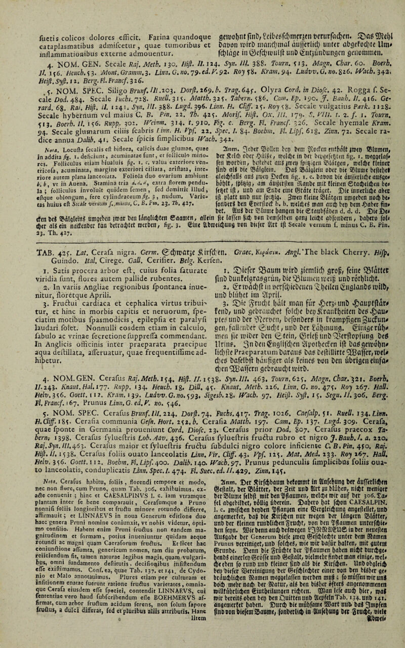 ruetis colicos dolores efficit. Farina quandoque senent flnfyEeibeefc&merjen fcerurfacfccn. cataplasmatibus admifcetur * quae tumoribus et DaöimrcirD manchmal aujferlid) unter absefocl)te Um# inflammationibus externe admouentur. fehlte in ©efffiUHilft UnD ^liriunbuncjcn genommen. 4. NOM. GEN. Secale Raj. Meth. 130. Hiß. 11. 124* Syn. IU. 388. Tourn. SJ3. Magn. Cbar.6o. Boerb. Jl.1s6. Heucb.s3. Mont.Gramm.3. Linn.C.no. 79. ei. E'. 92. Roy s%. Kram. 94* Ludvv.G.no.%z6. Wacb. ^z. Heiß. Sy fi. 11. Berg. Fl. Francf. 326. NOM. SPEC. Siligo Brunf.Hl.io^. Dorft,i69,b. Trag.6\p, Olyra Cord, in Diofc. 42. Rogga f. Se¬ cale Dod. 484. Secale Fuchs. 728. Ruell.^is. Matth. 32*. Tabern. s&6. Cam. Ep. 190. J. Bauh. II. 416. Ge* rard. 68. BaÄ Hifi, ll. 1241* ///• 388- Cugd. 396. Ei«». /E CHff. Roy sH. Secale vulgatius P«r&. 1128. Secale hybernum vel maius C, B. Pm. 22. Th. 42^. Morif. Hifi. Ox. /11. 179. & VlU. t. 2. f. 1. 2o«r». 513. ßoerh. II. 156. Rupp. 302. TVeinm. 314. t. 910. Fig. c. Berg. Fl. Francf. 326. Secale hyemale Araw. 94. Secale glumarum ciliis fcabris E/«», f/, Gp/1 22. »Tpec. /, 84* Boebrn. Fl. Lipf. 61 g, Zz»», 72. Secale ra¬ dice annua Dalib. 4». Secale ipicis fimplicibus JAacü. 342. A'eta. Locufta fecalis eff biflora, calicis duae glumae, quae 2lum. lieber ^Bollen bei) Dem ?iOCfetl enthalt Jfteb SMumen, in addita fig. 1. deliciunt, acuminatae funt, et folliculo mino- Der ^cld) oDci’ #ÜißC, redcfre in ^Cl fig. i. megqelaf» res. Folliculus etiam biualuis fig. 1. c. valua exteriore ven- fen mOrDet!, beliebet atlg jmeb fpi^iflcn SbldtflCIl, IDClct)« fletnet tricofa, acuminata, margine exteriori ciliata, ariftata, inte- fmb öU Die Q3dfglctl1. ©aS 23dlglcitt Ober Die SBllUfle bcjlcljet riore autem plana lanceolata. Foliola duo ovarium ambiunt gleichfalls Qllg jmtt) Dccfttl fig. t. c. DabOll i)ic «Ufferltcfje aUSge* b.b, vt in Auena. Stamina tria d.A.U, extra florem pendu* , Iptlfig, am dugetjlen iTiailDe mit flctncn ©tüCbdfben be* la ; folliculus involuit quidem femen , fcd demittit illud , fefjet iß » UllD am £nt)C ein« ©tdte traget. ©te ttltlCCllC^e aber cftque oblongum, fere cylindraceum7%. 3, nudum. Varie- jfl platt Ullt) ntll' fptfpg. 3t»eb fUtnc Sldtgetl Uttigcbcn nocl) be» tas huius eil Saale verrium /„minus, C. B. Pw. 23. Th, 427. fonBerS bttt ©berflOCf b. b. tüdcfec^ mati attcb btp ticm Jpflbtr fitl» Det. 91u$ Der SBlume bangen bie ©tnubfdben d. d. d. ©it ©c# cfmbcS 3M!gleitt$ umgeben smar Den Idnglicbten ©(tarnen, allein fte laffcn jiet; »en Demfelben ganj leicht gbfcnbern, Dabtro foU <her al$ein nacfenba* tan betrachtet merben, fig. 3. Sine Sibmeiibutig »on bufer $lrt ijl Secale vernum f. minus c. B. Pin. 23. Th. 427. TAB. 43f. Lat. Cerafa nigra. Germ. (Scfytbßtje &tt'fcl}en. Graec. Kit>cccnx. Angl.The black Cherry. Hifp« Guindo. ltal. Cirege. Gail. Cerificr. Belg. Kerfen. 1. Satis procera arbor eft, cuius folia faturate viridia funt, flores autem pallide rubentes. 2. In variis Angliae regionibus Ipontanea inue- nitur, floretque Aprili. 3. Frudtui cardiaca et cephalica virtus tribuN tur, et hinc in morbis capitis et neruorum, fpe- ciatim motibus fpasmodicis, epilepfia et paralyfi laudari folet. Nonnulli eosdem etiam in calculo, fabulo ac vrinae fecretionefupprefla commendant. In Anglicis officinis inter praeparata praecipue aqua deifillata, afleruatur, quae frequentiffime ad¬ hibetur. \ ♦ 1. ©tefet $5aumtt>irt) jicmlicl) qvq§, feine plattet ftnö bunfel^raegiTin, Die flumen n?eiR unbr6tl)li(l)t. 1. (EribacljfHuberfcljieDeiien^^eilenSnfllan^tbilb/ unt> blühet im 2(pri(. 3. ©ic Frucht halt man für Jpcr^unD vg>auptfldr^ fent>/ unb gebt’ai;d)et fold)e bey^ranlhciten t>eei$au* ptes unb Der Kerpen, befunDer^ in frampfigen ßuefun^ aen,- falknber ©ud)t, unD Der £ahmung. Einige rüh^ men fte mtDer Den (Efein, ©rief unD^erflcpfung Deö llrinf* 3n Deu ^nglif^cn 2ipütl)ec£en ijf Daögemohn^ lid)fle Praeparatum Darauf Dag Dejliütrte ^ajfer^meU d>eö Dafelbjf hanfser a(g feines t>on Den übrifleneinfa^ djcn^Bafjern gebraud)tmirD. 4. NOM. GEN. Cerafus Raj.Metb.is4. Hifi. II. 1^38* Syn.lII, 463. Tourn. 62s. Magn. Char. 321. Boerb« II. 243. Knaut.Hal.i77. Rupp. 134. Heuch, 18, Dill♦ 4*. Knaut. Metb. 226. Linn.G. »0.47^, Roy 267. Hall. Helv.3s6. Goett. in. Kram. 139. Ludvv,G.no.S9 3* Sigesb.1%. Wacb. 97. Heift. Syft♦ 1 f, Segu. II. 306. Berg. Fl. Franc/. <67. Prunus Linn. G- ed. V. no. 546. 5. NOM. SPEC. Cerafus Brunf. UI. 224. Dorft. 74, Fuchs. 417. Trag. 1026. Caefalp. 51. Ruell. 134. Linn. B.Cliff.i%S' Cerafia communia Gefn. Hort. 2S2,b. Cerafla Matth. 197. Cam* Ep. 137» Lugd. 309. Cerafa* quae fponte in Germania proueniunt Cord. Dio/c. 23. Cerafus prior Dod. 807. Cerafus praecox Ta• bernv 1398. Cerafus fylueftris Lob. Adv. 436. Cerafus fylueftris fru&u rubro et nigro J.Baub.I» a. 220, Raj.Syn. //E463. Cerafus maipr et fylueftris fru&u fubdulci nigro colore inficiente C.B.Pin. 4fo, Raj. Hifi. II. 1538. Cerafus foliis ouato lanceolatis Linn. Fir. Cliff. 43, Fpf. 125. Mat. Med. 233. Roy 267. Hall. Helv, 356. Goett. 112. Boebm. Fl. Lipf. 400. Dalib. 140. Wach.97. Prunus pedunculis fimplicibus foliis oua¬ to lanceolatis, conduplicatis Linn.Spec.l. 474. Fl.Suec.ed.il. 429. Zinn. I4f* Nota. Cerafus habitu, foliis , florendi tempore et modo, nec non flwre, cum Pruno, quam Tab. 306. exhibuimus, ex- afle conuenit ; hinc et CAESALPINVS 1. e. iam vtramque plantam inter fe bene comparauit, Cerafumque a Pruno nonnili foliis longioribus et fruflu minore rotundo differre, affirmauit; et L1NNAEVS in noua Generum editione duo haec genera Pruni nomine coniunxit, vt nobis videtur, opti¬ mo confilio. Habent enim Pruni fruöus non eandem ma¬ gnitudinem et formam, potius inueniuntur quidam aeque rotundi ac magni quam Caeraforum fruftus. Et licet hac coniunftione affumta, genericum nomen, tam diu probatum, rciiciendum fit, tamen naturae legibus magis, quam vulgari¬ bus, omni fundamento deftitutis > decifionibus infiffendum effe exiffimamus. Conf. ea, quae Tab. 137. et 141. de Cydo¬ nio et Malo annotauimus. Plures etiam per culturam et infitionem enatae fuerunt ratione fruflus varietates , omnia- que Cerafa eiusdem effe fpeciei, contendit LINNAEVS, cui fententiae vero haud fubfcribendum eile BOEHMERVS af¬ firmat, cum arbor fruflum acidum ferens, non folum fapore fcudus, a dulci differat, fcd et pluribus aliis attributis. Hanc 0 litem 2tnm. 2)« Ätrf^bgutn bffommt in Sinfchung Dff dujTcrH«h<n ©cjlalt, Der 95Idtt«r, Der 3«it unD 5lrt ju,blühen, nicht treniger berSlmne fclbfl mit Den ^pamnen, tceliDe mir auf Der 3°s.ta» fei abgebilbet, »ollig überein, ©abero bat febon CAESALP1N. 1. c. jrotfeben beijDen 'bflaiijen eine Sßergleiffnmg angejlellet,unb angemerfet, Daf Die Sirfcbcn nur tregen Der langem Blatter, unD Der fletnen ruuDltdien gruebt, »on Den Pflaumen unterfebie» Denfeun. 2BieDennaud)De!t»egen jü3^$2I®U©inber neueflen 51u«gabe Der Generum Dicfe jroeu @efcbled)te unter Dem Shunen Prunus öeretniget,uiiD folchcö, t»ie mir Dafür halten, mit gutem ©riinDe. ©enn Die grüdite Da* Pflaumen buben nicht Durchs«* benDS einerleb ©reffe unD ©ejlalt, »ielmebr ftnDct man einige, meh che eben fortmbunb {(einer pub tilg Die Stirfcben. UnD obgleich bet) Diefer ^Bereinigung Der ©efeblecbter einer »on Den bisher ge# brümbltcben tarnen roeggelajTen merDen muf; fo muffen mir uns Doch mehr nach Der Statur, al$ Den bisher öfters angenommenen mülEübrltcben ©iutbeilungen richten. ?Otan lefe auch hier, mi mir bereits oben beb Den Quitten unD 2lepfeInTab. 134. unD 141. angemerfet haben, ©ureb bie mübfame 2Bart uufe Das Smpftn fitiDoon biefem^aume/ fonbcrlicb in Sinfehung Der gruebh »ieU Slbmet#
