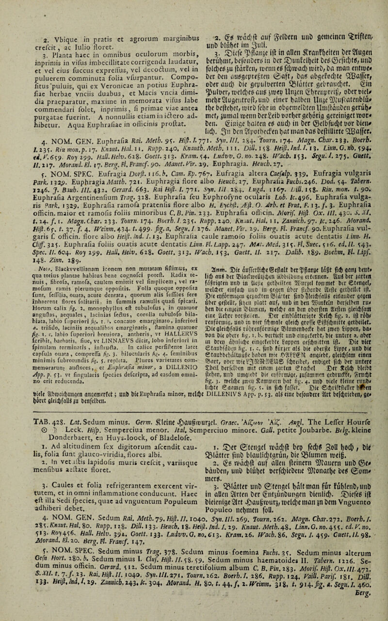 crefcit, ac Iulio floret. 3. Planta haec in omnibus oculorum morbis, inprimis in vifus imbecillitate corrigenda laudatur, et vel eius fuccus expreffus, vel decodtum, vel in puluerem comminuta folia vfurpantur. Compo- fitus puluis, qui ex Veronicae an potius Euphra- flae herbae vnciis duabus, et Macis vncia dimi¬ dia praeparatur, maxime in memorata vifus labe commendari folet, inprimis, fi primae viae antea purgatae fuerint. A nonnullis etiam in ictero ad¬ hibetur. Aqua Euphrafiae in officinis proilat. 2. @ß auf gelbem uni) gemeinen Triften, unb blühet im 3ull. 3. £mfe ^.flanje i|l in allen Äranfbeiten betrugen berühmt, befonberß in Der ©untclljeit beß ©cficl)tß, unb folcheß ju [harten, wenn eß fcftmad) wirb, ba man entwe» ber Den außgepreflten ©aft, baß abgef üd)te SCßalTer, ober aud) bie gepulberten glatter gebrauchet, £in ^ulner, welcl)eß auß jmep tlnjen Crbrenprdfl, ober t?ieU mehr Siugentrojf/unb einer halben Unje SDtufcatenblü* the befiehet/ wirb fel>r in obgemeibten llmftdnben gerüt)* mef, jurnal wenn ber £eib herber gehörig gercinigetWür* ben. Einige halten eß aud) in ber ©elbfuefyt bür bien* lid). ffn ben Slpothecfen hat man baß Deflillirte (2Ba|fer, 4. NOM. GEN. Euphrafia Rai. Metb. 9S- Hifi. 1.771. Syn.lII. 284. Tourn. 174. Magn. Char.23?. Boerb. I. 23S' Riu mon.p. 17. Knaut. Hai 11. Rupp. 240, Knauth. Metb. 111. Dill. 158 Heiß. Ind. 1.13. Linn. G. »b. 594. ed.V.6s9- Roy 299. Hall.Helv.61S. Goett. 313. Kram, s4. Ludvv.G.no. 248. IVacb. 153, Segu.I. 275. Guett, II. 117. Morand. El. 17. Berg. Fl. Franc/. 90. Manet. Vir. 29. Euphragia. Heucb. 27. f. NOM. SPEG. Eufragia Dorß. 116. b. Cam. Ep. 767» Eufragia altera Cae/alp, 339, Eufragia vulgaris Park. 132p. Euphrzgh Matth. 721. Euphragia flore albo Heuck.i7. Euphrafia Fuchs.246. Dod. 54. Tabern. 2246. J. Baub. III. 432. Gerard. 663. Rai Hiß. I. 711. Syn. Ul 284. Lugd. 1167. Lill.is%. Rin. mon. t. 90. Euphrafia Argentinenfium Trag. 328. Euphrafia feu Euphrofyne ocularis Lob. Je. 496. Euphrafia vulga¬ ris Park. 1329. Euphrafia ramofa pratenfis flore albo H. Eycbfi. JE fl. O. Jrb. et Frut, F. 13./. 3. Euphrafia officin. maior et ramofis foliis minoribus C.B.Pin. 233. Euphrafia ofhein. Alorif Hiß Ox. ///.430. S. XI. t. 24. /. 1. Magn.Cbar. 233. Tourn. 174. Bocrh. I.23S- Rapp. 240. Knaut. Hai. 11. Zatmich. 97. /c. 246. Morand. Hiß.6f, t. 37. /■. 4. Weinm.434-f. 499- ßg-a, Segu.I 276. Manet.Vir. 29, Berg. F/. Franc/. 90.Euphrafia vul¬ garis f. officin. flore albo Heiß. Ind. 1.13. Euphrafia caule ramoio foliis ouatis acute dentatis ZZ» Cfjf.325. Euphrafia foliis ouatis acute dentatis Linn. Fl. Lapp. 247. Mnt. Med. 31s- bl. Suec. s 16. ed.Il. ^43. Spec. II. 604. äo} 299. Hall, Helv, 628. Goefr. 313. IVach. 153, Gweft. Z/. 217. Dalib. 189. Boehm, Fl. Lipf. 148. Zinn. 289. Vota. Blackvvellianam iconem non mutatam finimus, ex qua totius plantae habitus bene cognofci poteft. Radix te¬ nuis, fibrofa, ramofa, caulem emittit vel fimplicem, vel ra- mofum ramis plerumque oppofitis. Folia quoque oppofita funt, feffilia, ouata, acute dentata, quorum alis fefliles fere inhaerent flores folitarii, in fummis ramulis quali fpicati. Horum calix ßg. 2. monophyllus eft tubulofus , in quatuor anguflas, aequales, lacinias feftus, corolla tubulofo bila- biata, labio fuperiori fig. i.b, concauo emarginato, inferiori o. trifido, laciniis aequalibus emarginatis, flamina quatuor fig. 1. c. labio fuperiori breuiora, antheris, vt HALLERVS feribit, barbatis, fiue, vt LINNAEVS dicit, lobo inferiori in fpi nulam terminatis , inflrufta. In calice perfiflente latet capfula ouata, comprefla ßg. 3. bilocularis fig. 4. feminibus minimis fubrotundis ßg. J, repleta. Plures varietates com¬ memorarunt auftores, et Euphrafia minor, a DILLENIO Jpp. p- Sb vt Angularis fpecies deferipta, ad easdem omni¬ no erit reducenda. title 2lbtt)ctct)ungcn anqetiurfct; unb bie Euphrafia minor, toelc höret gleichfalls ju bcnfclbcn. Die <5u1Tsf(i<t>c fcer^flanje lagt fld) gan« betit* lieb au« b«r Blacfroellifcben &bbilhung citcnncn. Slufi bcr jarteit fdjmgren unb in ilejfe gctlRtlten SBurjel fommet bcr ©tengel, welcher eeinfach uiiD in gegen über flebenbe SUflc gerhciUt tfl. Die cpfornugcn gejacften 93ldttcr ftnb gleidflatl« eirtaiiDer gegen über gegellt, flpeii platt auf, unb in ben Sßinfelti berfelben riu hen Die emjein Mimen, trelcbe an ben oberften Siegen glcicftfatn eine Sichre Dorflellcn. Der einbldttericte ^elch fig. 2. r6b# renfortmq, unb in »fer frhmale gleich groffe (Sifffdjnitte getheilet. 2)ie gleicftfali« röhrenförmige Blumenbeete hat jmet) Rippen, Da« ßon Die obere fig. i.b. oertieft unD etngeferbt/ Die untere a. aber in Drei) ähnliche eingeferbte Happen gefchnitten ifl. ©ie hier ©taubfaDsn fig. 1. c. finD Purjer a(« bie obcvfte Hippe, unb Die ©taubbcbdltuüfe haben rote ^SiHH^ilt angiebt, gleidlfam einen Bart, ober rcieH3313Ml®U@ fchrcibet, enbiget fich ber untere Sbcil berfelben mit einem «arten ©tacbel 'Der Steleh bleibt flehen, unb umgiebt bie cofcrmige, jufammen gebruette, Frucht fig. 3- toclche jroei) Kammern hat fig. 4. unb Diele Heine ruiih* lichte ©aamen fig. e. in fid) faffet. Die ©cbriftflellcr hiben DiLLENivs App. p. 53. al« eine befonbere Slrt befchrieben, ge» TAB. 428. Lat. Sedum minus. Germ, kleine ^auflmurjcl. Graec. ’Alfiubv ’Alfi. Angl. The Leffer Hourfe © 1) Leck. Hifp. Semperciua menor. Ital. Semperciuo minore. Gail, petite Joubarbe. Belg, kleine Donderbaert, cn Huys-loock, of Bladelofe. 1. Ad altitudinem fex digitorum afeendit cau- 1. ®er ©tCtigcl Wad)|t bep fed)ß güll l)0Cb / ÖiP lis, folia funt glauco-viridia, flores albi. glatter fttlö blaulid)tgrutl/ ötC Blumen tt)Ct§. 2. in vetaltis lapidofis muris crefcit, variisque 2. $8 auf allen flcinern dauern unb @c* menfibus aeffate floret. bduben, unb blühet herfcl)icbene ^Üiünatbe ©um» merß. 3. Caules et folia refrigerantem exercent vir- 3. glatter unb ©tengd l)a(tttian für fül)(rnb/Unb tutem, et in omni inflammatione conducunt. Haec in aUcn Wirten bcr ^ntjünbungen bicnlic^. f5)icfeß ijt eft illa Sedi fpecies, quae ad vnguentum Populeum bicicnige^lrt »f)aufltpurj, theld)eman jn Dem Vnguento adhiberi debet. Populeo ncl)ttien füll. 4. NOM. GEN. Sedum Rai. Metb. 79. Hiß. II. 1040. Syn.IIL 269. Tourn. 262. Magn. Cbar.zji. Boerb. /. i%S. Knaut. Hai. 80. Rupp. 12g. Dill. 133. Heucb. 18. Heiß. Ind. I. 29, Knaut. Metb. 48. Linn.G.no. 45^, ed.V.no. 513. Roy 4^6. Hall. Helv. 39a. Goett. 133. Ludvv.G, no. 613. Kram.16. Wach.%6. Segu, I. 459. Guett,II. 98,. Morand. Fd.zo. Berg. Fl. Franc/. 147. 5. NOM. SPEC. Sedum minus Trag. 378. Sedum minus^ foemina Fuchs. 3s. Sedum minus alterum Gefn Hort. z%oJ>. Sedum minus l. flu/. Hifi. II. s%. S9. Sedum minus haematoides II. Tabern. 1226. Se¬ dum minus offnem. Gerard. 11*. Sedum minus teretifolium album C. B. Pin. 283. Mori/. Hiß. Ox.lll. 472. S. XII. t. 7./.23. Rai, Hifi. II. 1040. Syn.IIl.271. Tourn. 162. Boerb. I. 286. Rupp. 124. Vaill.Pari/. i8i4 Dill. 133* Beißtlndf /19. Zannicb.zfä* te- 3°4« Morand. H, 80, t. 44,/t z. fVeimmr 318, t, 914. fig. a. Segu.I. 460. Berg.