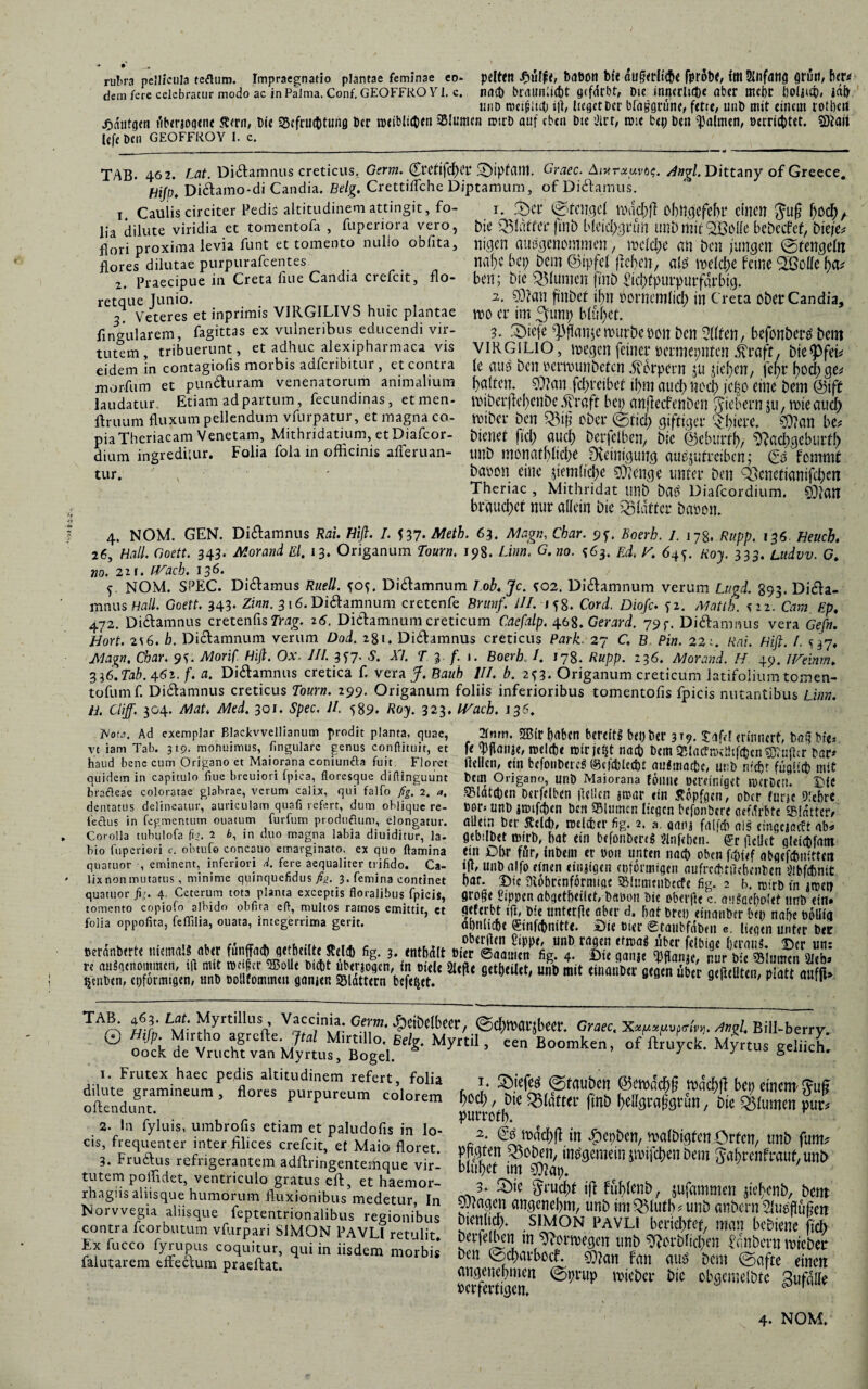 rul,ra pellicula tertum. Impraegnatio plantae feminae eo- pelfetl £u!f<, fcdBOtl bfe fprotX, fot Anfang (jrutt, BfW dem fere celebratur modo ac in Palma. Conf. GEOFFRO Yl. e. nrt(J) bttUMlUfct gifdrbt, Die inqcrllltK aber Hiebt t)0liufo iafr. imo nmjhut) ifl, lieget Der blaggrünc, fette, unD mit einem rotbert jjdiiigcn t'iberjogene $<rn, Die 25cfrmt)tung Der roeiblityn Slumen rotrD auf eben Die ölrt, ro:e bep Den $almen, öerridffit. SDtaii lefe Den GEOFFROY I. c. TAB. 462. Lat. Didamnus creticus, Germ. (£rcfifcfKt‘ 5£)ipfCWt Graec.Aivray.vtt;. Angi. Dittany of Greece. Hifo. Didamo*di Candia. Belg. CrettifTche Diptamum, of Didamus. 1. Caulis circiter Pedis altitudinem attingit, fo- i. £)Ct* ^fCllgc! wdcfrft öbttgcfefjl* einen $ufj 1)0$, lia dilute viridia et tomentofa , fuperiora vero, Die QMdtfei’fillb blcutygrutt UHÖmif 32Me bebCCfcf, tue/e* flori proxima levia funt et tomento nullo obfita, nigen ausgenommen, mcid;e an Deu jungen @fengefo flores dilutae purpurafeentes nabe bet? Dem ©tpfel Men, ate wetebe feine Mae ha* 2. Praecipue in Creta fiue Candia crefcit, flo- ben; Dic QMumcn fini) #C&fpurpUrfdrbig. retque Junio. SDton fmbet ijjn oomcmlicl; in Creta Ober Candia, 2. Veteres et inprimis VIRGILIVS huic plantae m et* im ^um; b(uf)Ct. Angularem, fagittas ex vulneribus educendi vir- 3. 2)iefe Wur&em bCtt SttfCW, bcfonberS bent tutem, tribuerunt, et adhuc alexipharmaca vis VIRG1LIO, wegen feinet* OCrmrpntCtt jhaft, bte^fei* eidem in contagiofis morbis adferibitur, et contra (e UUS bcn Oemnmbetcn dfbfpern $U Jtejjcn, \cf)V l)0Cbge* morfum et punduram venenatorum animalium galten. $?an fd)t*etbcf tl)m aud) llOCf) JC|0 eine bem @iff laudatur. Etiam ad partum, fecundmas, et men- mibct*flel)enbe .ffraft bet; anflecfenöen fiebern JU, roteaucf) ftruum fluxum pellendum vfurpatur, et magna co- miDct* bcn Q5t§ Ober ©tid) giftiger ($l)tet*e. $?att be* piaTheriacam Venetam, Mithridatium, etDiafcor- bienet fici) aucf> berfclben, Dic ®ebut*fl), Nachgeburt!) dium ingreditur. Folia fola m officinis afferuan- unb monatblidje Reinigung autfjufrcibcn; & fommt tur. ' baoon eine jtemücbe 9)?enge unter ben QJcnctiantfchen Theriac , Mithridat unb baS Diafcordium. $)jfaiT brauchet nur allein Die glatter baoon. 4. NOM. GEN. Didamnus Rai. Hifi. /. 537* Metb. 63. Magn, Char. 9f. Boerb. I. 17g. Rapp. 136. Heucb. 26, Hall. Goett. 343. Morand Et. 13. Origanum Tourn. 198. Linn. G.no. *63. Ed. K 645. Roy. 333. Ludvv. G. no. 2i r. IVach. 136. f. NOM. SPEC. Didamus Ruell. fo*. Didamnum Job. Je. ?02. Didamnum verum Lugd. 893. Dida- mnus Hall. Goett. 343* Zinn. 316. Didamnum cretenfe Britnf. UI. 158. Cord. Diofc. Matth. %iz. Cam Ep. 472. Didamnus cretenfis Trag. 26. Didamnum creticum Caefalp. 46S.Gerard. 79 p. Didamnus vera Gefn. Hort. 2V6. h. Didamnum verum Dod. 28t. Didamnus creticus Park. 27 C. B Pin. 221. Rai. Hifi. I. S37. Magn, Char. 9^. Morif. Hifi. Ox. III. 3*7. S. XI. T.3 f. 1. Boerb. 1. 178. Rupp. 236. Morand. H 49. JVeinm. 3 36.Tab. 462. f. a. Didamnus cretica f. vera J. Baub III. b. 2^3. Origanum creticum latifolium tomen- tofum f. Didamnus creticus Tourn. 299. Origanum foliis inferioribus tomentofis fpicis nutantibus Linn. ii. cliff. 304. Mat. Med. 301. Spec. II. 589• Roy. 323. IVach. 136. Hota. Ad exemplar Blackvvellianum prodit planta, quae, 2fnm. 2B(r f)rtbcn bmitg b«J)Dcr 319. tdfd (tillllcrt, Dßl? bi<- vt iam Tab. 319. monuimus, fingulare genus conftituir, et fe fpjlölli«, tDClct)« tt(rje$t nög) Dem 95la£t»«Ölf(tcnSßJnßcr Dar# haud bene cum Origano et Maiorana comunfta fuit Floret ftcllen, Cttl bcfoilDctcS ©t|'4)lcct)t auAtiatfcc, UtlD mit quidem in capitulo fiue brcuiori fpica, floresque diflinguunt Dem Origano, unD Maiorana föllltt öer«inig<t lUCrDctl.* £ie brarteae coloratae glabrae, verum calix, qui falfo fig. 2. 5Bldtg)en DStfcIbcn jlfllcn jmar (tn ßdpfgen, ober flir.SC DtcbrC dentatus delineatur, auriculam quafi refert, dum oblique re- tW* UtlD Jßnfg)«n D«1 IBllimcn liegen DcfonDcr« fltfdrbtc gSidtOV fertus in fegmemum ouatum ludum produöum, elongatur. «Uctn Det Ädd), ttdcfccr fig. 2. a. qrtnj frt(fcf) n|g eingcjöcft ab# Corolla tubuiofa fo. 2 i, m duo magna labia diuiditur, ia- gebdDet oiirb, bat ein bcfoiiDcrtg 2lnf«i)cn. ' gr ilcUct glcichfatti bio fuperieri c. obtufe concauo emarginato, ex quo flamina «in Dbr für, ttlDCIU et D0I1 Unten liag) oben abflefcbniftCIt quatuor , eminent, inferiori d. fere aequaliter trifido. Ca- ijl, Ullbalfo einen diljigeil (DfOl'mtgcn atlftCiftflebcnDcn Ülbfcbnit lix non mutatus, minime quinquefidus fig. 3. femina continet bar. Dic 9l6brcnfÖMlige SBlimutlDccfe fig. 2 b. roirD tn «Bei» quatuor fo. 4 Ceterum tota planta exceptis floralibus fpicis, groge Sippen abgetbeiUt, Ddöou Die obtifie c. aülaebolet imD ein» tomento copiofo albido obfita eft, multos ramos emittit, ct fltfcrbt tji, Die unterft« ober d. bat Drei) etnonber bei) nabe PÖUia folia oppofita, fefliiia, ouata, integerrima gerit. obnlicb« <£infcf)nitt<. £>ie Pier @taubf(iD<n «. liegen unter Dt? r w . f. r. . ,r fr. n... — .. oberften Üippe, unD ragen tfioag über felbioe heraus. T)er un: öeranberte memall aber funffa^ gttbeilte Steld) fig. 3. enthält »ier ©aatrien fig. 4. Die ganje ^flanje, nur Die Blumen 3leb» re ausgenommen, d mit roefor ®olle Dtd)t ubenogen, in oiele 2ltpt getbtilct, unömit etuatiber gegenüber gcjtcUten, platt atifft» ^eiiDen, epformtgen, unD poltfommen ganjen Slattern befe^et. 9 l ' piUU 1,111,1 TAB; jf.j: L°*: ^yrt,llusv v^c.ln^: ^cibclbeer, ©dwarjbeet*. Graec, Xx^pv^lvy. Angl. Bill-berry 0 Ä ütÄÄ1 2 3* Myrtü ■cen Boomken’8diic£ 1. Frutex haec pedis altitudinem refert, folia dilute gramineum, flores purpureum co’lorem oflendunt. 2. In fyluis, umbrofis etiam et paludofis in lo¬ cis, frequenter inter filices crefcit, et Maio floret. 3. Frudus refrigerantem adftringentemque vir¬ tutem poffidet, ventriculo gratus eft, et haemor- rhagiis aliisque humorum fluxionibus medetur, In Norvvegia aliisque feptentrionalibus regionibus contra fcorbutum vflirpari SIMON PAVLI retulit. Ex fucco fyrupus coquitur, qui in iisdem morbis falutarem tfteaum praeftat. l* ©?ef^ ©tauben @ch)öd^§ tbdd)!J be^ einem- föifj hoc!), Dic ^Idttct* fmb I)cttgraferun, Dic flumen pur* purrefb. €0 mdd)fl in ^cpbcn, wafDtgfcn Orten, unD fum? PRdten Q3oDcn, inegemein pifchcn Dem $a[)t*enfrauf,unb blul)ct im 0?ap. 3. SDic ^t*ud)f i(f fu!)(cnD, jufammen jicfenD, Dent J^aacn angenehm, unb im$5lutlvunb anbcrn 2lu^flu§eit Dienlich. SIMON PAVLI beriehfef, man beDtene flch Derfelben m Norwegen unb Norbftchen f'dnbevn mteDer Den ©chavbocf. 9J?an fan auö Dem ©afte einen pcvfmigcn11 ^iC obgcmelötc gufdlle