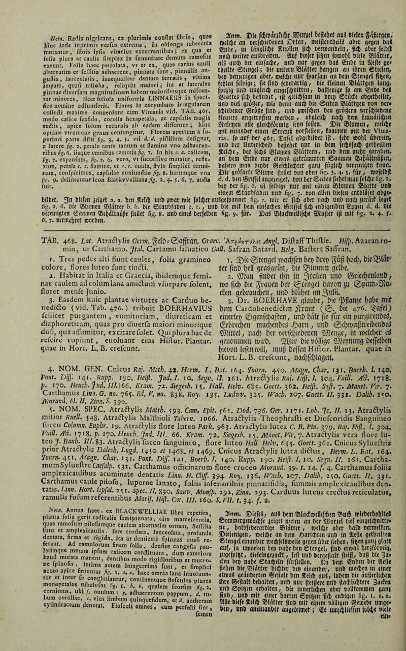 2intn. |)it fötöÄrjfK&f S8Surj<l beRehft au? Dielen §d£ergtn, welche an oerf£t^<D«ncn £)rten, meijlcntheil? aber gegen bai en&e, in länglich« ffnoöcti ftch üern>anJ>cin # fich aber feibft neci) weiter au?breiten. SXuf fciefre fi§en fonwhl Diele SMdttet, als auch Der einfache, mit) nur gegen Da? <£nbe tu Slefle ßt< teilte ©tengei; Die untern Sldtter bangen an ihren ©fielen, bet; Denjenigen aber, welche mir fparfam an Dem ©tengei fiften, fehlen felbige; fie fuiD fcDcrartig/ Die Eieinen SMdttgen fang, jpigfg uuD ungleich eingefshnttten, Dasjenige fo am ©nDe De« Sftiatte? fiep befxntiet, tft gicicpfam in Drei; ©tücU abgethfilet, unb siel grüßet, wie Denn and) Die ©eiten Sßldttgen non »er« febiebener ©roße fmo, unD i«oif4>en Den großem ocTfct>wö?ne Heinere eingetroffen werben , obgleich nach bem üinndu^ctt Nahmen alle gleichförmig fet>n foüen. Die SMumtn, weiche mit eitianDec einen ©trauH ßorflellen, fomtnen mit Der vima- ria, fo auf Der 465. £afel abgebilbet i(l # {ehr wohl überein, unD Der UnterfcheiD befielt nur in Dem fechsfach geteilten Reihe, Der feeb? Blumen flattern, unD Dem mebrrqeraben, an Dem ©ttbe nur etwas getrümmten ©aamen ^ehdltnüfcn, Dal)ero man bepbe ©efhlehtcr gana füglich Bereinigen fann. Die geofnete SMmue jleilet non oben fig. ?. 4> ?. für, wofdbjl d. d. Den (griffe! angejeiget, Don Der ©eiten ftebetmanfelcb« fig. 2. ber? Der fig. 0. tji feibige nur mit einem Slurncn Siatte ünb einem ©taubfaDcn unD fig. 7. oon alien Diefen entblüfet abge* bilbet. 3n Hefen jeiget 3. a. Den Reih unD iwar wfc folcperauägefpannet fig. 7. wie er fuh aber nach unb nach jurücE leget fig. 2. 6. Die Slumen Blatter b. b. Die ©taubfaDen c. c., unb Die mit Dem einfachen ©riffel fiel) enbtgenben 0;geu d. d. Die »«reinigten ©aamen SBe[)dltnüj?« ßellet fig. 8. unD eine? Derjelben fig. 9. für. Da? E5lactweUifch< SKuflet ift mit fig. 2. 4* *• 6.7. oermehret worben. ■Nota. Radix nigricans, ex plurimis conflat fibris, quae hinc inde iriprimis verfus extrema , in oblonga tubercula tnutantur, fitms ipfis vltcrius excurrentibus; ex qua et folia plura et caulis limplex in fu minitate demum ramolus exeunt. Folia haec petiolata, vt et ea, quae rarius Gauli alternatim et fefiilia adhaerent, pinnata funt, pinnulis an- guftis, lanceolatis, inaequaliter dentato icrracis > vltima impari, quali triioba , reliquis maiori; ita et laterales pinnae diuerfam magnitudinem habent maioribusque mifcen- tur minores, licet foliola uniformia LINNAEUS in lpeci- ifico nomine adfumferit. Flores in corymbum irregularem collefli maxime conucniunt cum Vlmaria vid. TAB. 467. modo calice fexfido, corolla hexapetala, ac capfulis magis reflis , apice folum recuruis ab eadem differunt; hinc optime vtrumque genus coniungitur. Florem apertum a fu- periori parte fiftk fig. 3. 4. 5. vti d. d, piftillum deiignat, a latere fig. 2. petalo tanto tantum et flamine vno adhaeren¬ tibus fig. 6. iisque omnibus remotis fig. 7. In his a. a. calicem, fig. 7. expanfum, fig. 2, 6. vero, vt fucceffive mutatur, refle¬ xum, petala c. c. flamine, et e. e. ouula, ftylo limplici termi¬ nata, confpicimus, capfulae coniunflae fig. 8. harumque vna fis. 9. delineamur Icon ßlachvvelliana fig. 2. 4. j, 6. 7. au fla fuit. TAB. 468. Lat. Atradlylis Germ. $cli)?©Clffran. Graec. ’At^ktuXic Angi. DiftafFThiflle. Bifp. Azaranro- min, or Carthamo. Jtal. Cartamo faluatico Gail. Safran Batard. Belg. Baflert SafFran, 1. Tres pedes alti fiunt caules, folia gramineo colore, flores luteo funt tincli. 2. Habitat in Italia et Graecia, ibidemque femi¬ nae caulem adcolumiana amidtum vfurpare folent, floret menfe Junio. 3. Easdem huic plantae virtutes ac Carduo be- nedifto (vid. Tab. 476.) tribuit BOERHAVIUS fcilicet purgantem, vomitoriam, diureticam et diaphoreticam, quas pro diuerfa maiori minorique dofi, quaaflumitur, excitare folet. Qui plura hac de refeire cupiunt , euoluant eius Hiflor. Plantar, quae in Hort. L, B. crefcunt. 1. @tengc! pacfifcn bcp brep bocf), ter fmb t)cH graeguun, bie flumen gelbe. 2. fünbef t!>n t£ Italien unD <33rtecf>en(anb, m ficb bie grauen ber (^fenge! Daron ju ©pmn#3to^ eben gebrauchen, unb blühet impulit. 3. Dr. BÖERHAVE glaubt. Die ^flanje f>abe mit bem Cardobenedictcn dv'raut (©» btC 476. ^afel) einerlei; ©qenfehaften, unb halt jie für ein purgirenbed, ^rbred)en maQenbed .[oarn , unb ©d;meiftreibenbcd SO» ittel, nad) ber rerfd;iebcnen OTtenge, in welcher cd genommen toirb, Qßer bic obdige OOlcpnung bejjelbcn bieoon lefeilroül, mu§ helfen Hiftor. Plantar, quae in Hort. L.b. crefcunt, nad;fd)lagem 4. NOM. GEN. Cnicus Ra]. Msth. 42. Herrn, L. Bat. 164. Toitrn. 4^0. Mägn, Char, 13 r. Boerh. I. 140. Tont. DiJJ'. 141. Rupp, iyc. Heiß. Jnd. I. jo, Segu. 11. x6i. Atractylis Raj. Hiß. 1. 304. Vaill. Ad:. 1718. p. 170, Beuch. Jnd. 7/7.166. Kram. 72. Siegest. 15, Hali. helv. 685. Goclt. 362. Beiß. S^jl* 7» Manet. Vir. 7. Carthamus Um. G. no. 765. Ed, V, no. 838. Roy. 13?. Ludvv, 325. [Vach. 207, Guett. II. 331. Dalib. 250. Morand. El. II, Zinn.S. 390. 5. NOM. SPEC. Aträblylis Matth. S93. Cam. Epit. f6r. Dod. 736. Ger. 1171. Lob. Je. 11. 13, Atra&ylis mitior Ruell., 548. Atradfylis Maltbioli Tabern. io6d. Atradfylis Theophrafli et Diofcoridis Sanguineo fucco Column. Euphr. 19, Atradylis flore luteo Park. 963. Atra&ylis lutea C. B, Pin. 379. Raj. Biß. I. 304. Vaill. Ää. 1718. p. 170. Heuch. Jnd. IlL 66. Kram. 72. Siegesb. 15.^ Manet. Vir, 7. Atradfylis vera flore lu¬ teo J. Bauh.lII.%3. Atradfylis fucco fanguineo, flore luteo Bali Helv. 635. Goett. 362. CnicusSylueftris prior Atractylis Dalech. Lugd. 1450. et 1468. et 1469, Cnicus Atradlylis lutea diblus, Berm. L. Bat. 164. 7ourn. 4^1. Mugn. Char. 131. Pont. DiJJl 141. Boerh. I. »40. Hupp. 190. Beiß. I, ic. Segu. II. i6r. Cartha- mumSyluellre Caefalp. ^32, Carthamus officinarum flore croceo Morand. 39. t. 24. f. 4. Carthamus foliis ampiexicauhous acuminate dentatis Linn. H. Cliff. 394. Roy. 136. TVacb. 207. Dalib. 2^0. Guett. II. 331. Carthamus caule pilofo, luperne lanato, foliis inferioribus pinnatifidis, fummis amplexicaulibus den¬ tatis. Linn. Bort, üpfal. 2^1. spec. II, 830. Sauv. Monfp. 292. Zinn. 292. Carduus luteus eredlusreticulatus, ramulis fufum referentibus Morif. Hiß. Ox. II/. 160. S, VII. t. 34. /. 2. Vota, Annua haec, ex BLACKWELLIAE libro repetita planta folia gerit radicalia femipinnata, cito marcefcentia’ quae ramofum pilofumque caulem alternatim ornant. Sedilia funt et amplexicaulia, fere cordata, lanceolata . profunde, dentata, firma et rigida, ita ut denticuli fpinnas quafi re¬ ferant. Ad ramulorum finem folia , denfius congefla pau- latimque mutata ipfum calicem conflituunt , dum exteriora haud mutata manent, dentibus modo rigidioribus et mucro¬ ne Ipinofis , intima autem integerrima funt, et fimplici acuto apice finiuntur fig. 1. a. *. haec omnia lana inuoluun- tur et inter le conglutiantur, continentque flofculos plurcs monopetalos tubulofos fig. i. h. b. qualem feorfim fig. 2. cernimus, ubi;, ouulum : g, adhaerentem pappum, d. tu¬ bum corollae, c, eius limbum quinquefidum, et d. antheram cylindraceam denotat, Flofculi omnes, cum perfefli fint, femen 2(mn. au? Dem SlacfwcHifdim ^ucb wkDerhohltcJ ©ommergcwdchfc Jdgct unten an Der SBurjel tief emgefcpnitte* tu , balbfeDerarttqe SMdtter, welche aber halb DcrwelHn. SDiejenigeii/ welche an Dem ^arichten unD in SlejU getbciltcit ©tengei etnanber wecpfelgweife gegen über liehen, fifjengani glatt auf, ja umacben bet) nahe Den ©tengei, fmb etwas h«rjfofmig, iitgefpi^t, tiefeingejaeft, feil unb Dergepalt ftetfi, Da§ Die 3a» efen bep nahe Stacheln fiirficllcii. $itt Dem (Silben Der Slefte flehen Die SMotter Dichter beu einanber, unb machen in einet etwa? gednberten ©ejlalt Den Reich au?/ tnbem Die äußerlichen ihre ©eftalt behalten, unb nur (leiffere unb flachlichtere 3acfen unb ©pifjen erhalten, Die innerlichen aber boUfommen ganj finb, unb mit einer harten ©pi^en fnh enbigen fig. 1. a, a. 9lUe Diefe Reich Blatter fmb mit einem ßdUigeii ©ewebe umge» Den / «nb antinflnhtc angeieimet; S? wm|chlidT<n fo(4)« tftcU ein»