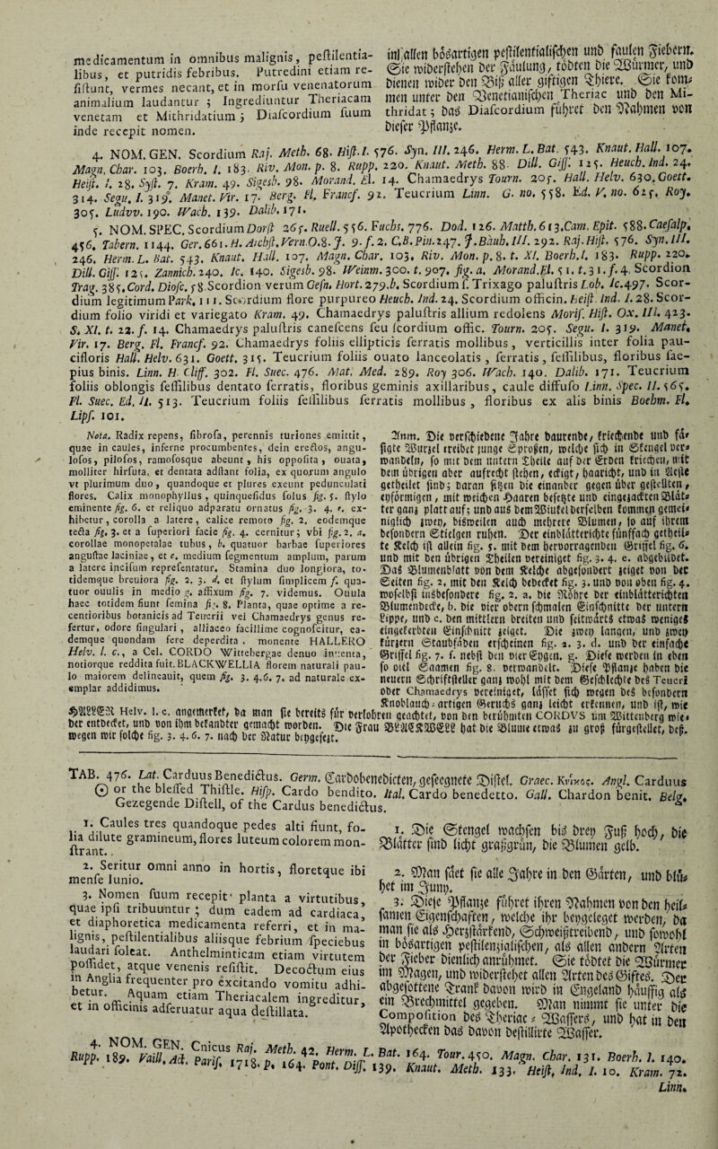 medicamentum in omnibus malignis, peftilentia- Pf.%^ libus et DUtridis febribus. Putredini etiam re- ©te VWberftepen Det $aulung,_ tODrCH pie ^HUttU, UlU fi&t vermes necant, et in morfu venenatorum bienen »iiW Den m tyMt.. ©te föW* an malium kudantm' Ingrediuntur Theriacam men unter Den Q3cneti«l#cn Theriac tmD Den Mi- “nmm et Mlthridatium ; Diafcordium fuum thridat; Dod Diafcordiom *# 9**m« ##» inde recepit nomen. DtejCt 4. NOM. GEN. Scordium Raj. Meth, 68- Hift.l. 57^- sJn- llJ* 246* Herrn. L. Bat. fiKnaut. Hali.107* Magn.Char. 103. Boerh. /. 183, Riv.Mon.p. 8. Rapp. 220 Knaut. Meth. 88- DtU. GtJJ. 115.Beuch, Ind. 24. Heifc /. 28. Syfr 7. /ötfw. 49. Sigesb. 98. A/orW. £l. 14* Chamaedrys fo«r». 2or. fly«. 630. Goett* 314. Segu. I. 319. Manet. Vir. 17. 4 Fratlcf- 91- Teucrium Lia». G. »0. 558. Ed. K no. 61 f. 30*. Ludvv.19c. IVacb. 139. Dalib.iji. e NOM. SPEC. Scordium Dar/? 267. Ruell. 5*6. Fachs. 776. Dod. 126. Matth.613.Cam. Epit. ^SS.Caefalp, 6. Tabem. 1144, Ger.661. H. Aichft.Vern.O.%.J. 9. f.Z.C.B, Pin.ttf.f.Bäub, UI.292. Raj. Hift, S76- Syn.lll. 246. Herrn.L. Bat. 543. Ha//. 107. Maga.Cbar. 103, Äit;. Mon.p.S.t. X!. Boerh.I. 183* R“PP- z}°* Vili. Giß‘. izs. Zannicb. 240, /c. 140. Sigesb. 9%. JVeinm. 300. f. 907, fig. a. Atfonzwd.E/. * 1. £. 3 c/-4 Scordioii Trag. 38*.Cord. Diofc. ;8-Scordion verum Gef«. H0rt.279.bt Scordium f. Trixago paluftris To/>. /c.497. Scor¬ dium legitimum Par/:. 111. Scordium flore purpureo Heucb. Ind. 24. Scordium officin. heiß. Ind. 1.28. Scor¬ dium fodo viridi et variegato Kram. 49, Chamaedrys paluftris allium redolens A/orif. Hift. Ox.lII. 423. 5* j<7, f, 22./. 14. Chamaedrys paluftris candcens feu (cordium offic. 7b«r«. 20*. Sega. /. 319. Manet* Hir. 17. Berg. Fl. Francf. 92. Chamaedrys foliis ellipticis ferratis mollibus, verticillis inter folia pau- cifloris Hali. Helv. 631. Goett. 31*. Teucrium foliis ouato lanceolatis , ferratis, felftlibus, floribus fae- pius binis. Tz»w. W Cliff302. Fl. Suec. 476. /Waf. 7k/cd. 289. Hoy 306. TVach. 140, Dalib. 171. Teucrium foliis oblongis feffilibus dentato ferratis, floribus geminis axillaribus, caule diffufo Ci/iw. S’pec. //.*6** Fl. Suec. Ed. ll. 513. Teucrium foliis feffilibus ferratis mollibus, floribus ex alis binis Boebm. Fl* Lipf. io i. 2fnm. Die DcrffnetKiie ijahre baurenbc/ friccbcnDe unb fd* fig te 2ßttrjcl treibet jung« ©profien, welche fich iit ©tengel»cc* wanDeln, fo mit Dem untern Xheile auf Der vgtDcn fnechem tr.it Dem übrigen aber aufrecht lieben, ccfigt, paaricht, unD tu 2ie|le getheüet finD; Daran ftijeu Die einanber gegenüber gesellten, eiförmigen , mit weichen paaren befe^te unD eingejacftcitSSldts terganj platt auf; unhaiiS DemSßiutelDerfetben foittmen gerneü nigltch jroei), bisweilen auch mehrere Blumen, fo auf ihrem befördern ©ticlgen ruhen. 'Der einbldtterichte fünffach gethctU te Kelch ifl allein fig. y. mit Dem heröorragenben ©riffel fig. <?. unD mit Den übrigen £heücn oereiniget fig. 3. 4. e. abgebilDet. DaS Blumenblatt oon Dem Welche abgefouDert jeiget Don Der Seiten fig. 2. mit Den Kelch bebccfet fig. 3. unD ooit oben fig. 4. töofelbft inSbefonbcre fig. 2. a. Die ^tohre Der einblättcntbten Blumenbeete, b. Die oicr obent fchtnalen Smfchnitte Der untern Hippe, unD c. Den mlttlmi breiten unD feftwärtS etwa» weniges eingeterbteu (ginfehnitt idget. Die atmet) langen, unD «tuet) fürjern ©taubfdDen erfchctncn fig. 2. 3- d. unD Der einfache Nota. Radix repens, fibrofa, perennis turiones emittit, quae in caules, inferne procumbentes, dein ereftos, angu- lofos, pilofos, ramofosque abeunt Y his oppofita , ouata, molliter hirfuta, et dentata aditant folia, ex quorum angulo vt plurimum duo, quandoque et plures exeunt pcdunculati flores. Calix monophyllus, quinquefidus folus fig. 5. fiylo eminente fig. 6. et reliquo adparatu ornatus fig. 3. 4. t. ex¬ hibetur, corolla a latere, calice remoro fig. 2. eodemque tefta fig, 3. et a fuperiori facie fig. 4. cernitur; vbi fig. 2. a. corollae monopetalae tubus, b. quatuor barbae fuperiores anguftae laciniae , et c. medium fegmentum amplum, parum a latere incifum reprefentatur. Stamina duo longiora, to. tidemque breuiora fig. 2. 3. d. et Itylum fimplicem f. qua¬ tuor ouulis in medio g. affixum fig. 7. videmus. Ouula haec totidem fiunt femina fi’. 8. Planta, quae optime 3 re- centioribus botanicis ad Teucrii vei Chamaedrys geuus re¬ fertur, odore lingulari, alliaceo facillime cognofcitur, ea- demque quondam fere deperdita . monente HALLERO Helv. I. ca Cei. CORDO Wittebergae denuo inuenca, ©rifftl fig. 7. f. IKbft Dfh''oierghgVtl. g. Dift« WÜ’DCII tbm notiorque reddita fuit.bLACKWELLlA florem naturali pau- fo pj({ 0aaitUll fig. 8. DttWanDdt. 'DftatlJC haben Die lo matorern deltneauit, quem fig. 3, 4.6. 7. ad naturale ex- neuern ©(briftfteller gatlj Wohl mit Dem ©cfcMechte t>e§ Teucri «mplar addidimus. 0b(r Chamaedrys üereiniget, laffct fi^) wegen De§ btfonDem ,. . _ t Knoblauch^artigen ©eructa ganj leicht ernennen, unh ifl, wie Helv. 1. c. angnturfef. Da man fie bereit für »erfahren geachtet, »on Den berühmten CORDVS um 2ßittenberg wie* S. JfÄ'iÄ on n,0Jben*. ^ hat Die Blume etwas au gro£ fürgeflcllct, Deß. wegen wir folche fig. 3. 4-ö-7. nach Der Slatur bcpgefejt. ' ^ TAB. 476. Lat. Carduus;Benedi£hi$. Germ. Carbobenehicten, gefeCflHCfe Riffel Graec.Kvmts. Angl. Carduus 0 or the leüed Thiftle. Hifp. Cardo bendito. ltal. Cardo benedetto, Gail. Chardon benit, Belg♦ Gezegende Diftell, of the Cardus benedicius. ^ 1. Caules tres quandoque pedes alti fiunt, fo¬ lia dilute gramineum, flores luteum colorem mon- ftrant.. 2. Seritur omni anno in hortis, floretque ibi menfe Iunio. 3. Nomen fuum recepit* planta a virtutibus, quaeipfi tribuuntur ; dum eadem ad cardiaca et diaphoretica medicamenta referri, et in ma- lignis, peftilentialibus aliisque febrium fpeciebus laudari foleat. Anthelminticam etiam virtutem poflidet, atque venenis refiftit. Decoftum eius betur. Aquam etiam Theriacalem ingreditur et in officinis adferuatur aqua deftillata. ©fengef npacf)fcn big btcp bie Sbfottw fini) fidft gfa^Pun, bie flumen gelb. 2. g)ian fdef ftc alle ^al)ve in ben ©arten, tinb bfi% i)et tm gunt), 3. SDtefe ^'flflnje führet ftjm Nahmen honben bciU famen ©genfcbaften, tveldie tJ>t* bepqeleget werben, ba man fie afa ^erjffdrfcnb, ©cbmei^treibcnb, unb fomobl m bösartigen peffilenpalifcben, als allen embern Strten per lieber bienlid) anrupmet. ©ie tobtet Die ^Burmcc tm Zulagen, unb miberffepet allen Wirten bes ©iftes. ^)ec in Anglia frequenter nm Grifft, 1 • c,'us w 1 bf9«n, unD wtDerjfepct allen Wirten bes ©iftes. Söec »«*«• _ etiL°ffiatmVrr.Ä- ^1*?. «« ein ^redpmittel gegeben. 9)/an nimmt fie unter bie Compofition bes ^periac * ^Gaffers, unb pat in ben 5tpotpecfen bas bapon bejfillirte ^Baffer. Limit